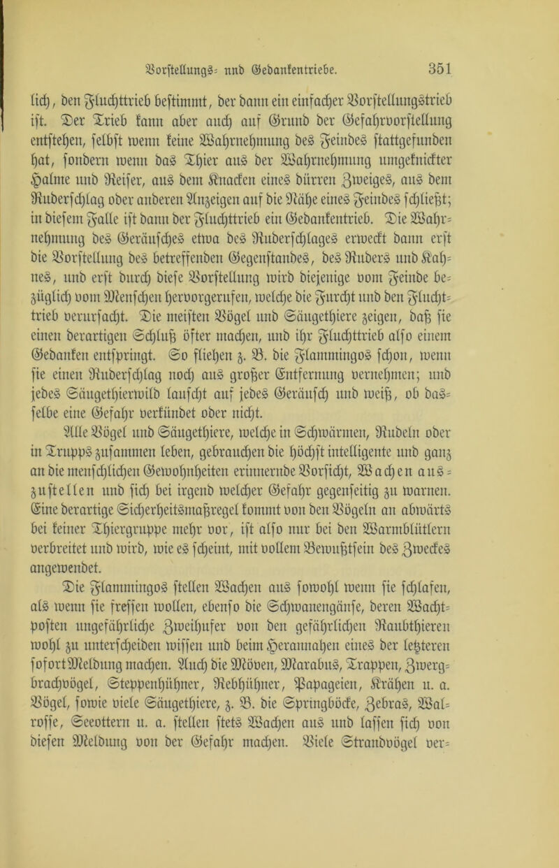 lief), ben gludjttrieb bestimmt, ber bann ein einfacher 33orftel(ungStrieb ift. Ser Srieb fann aber and) auf ©ntitb ber ©efaf)roorftellung entfielen, fetbft tuenn feine 2Baf)rnef)mung beS ^eiitbeS ftattgefunben f)at, fonbern tuenn baS Sfjier aus ber 2öal)rnef)mnng nmgefnicfter «palme nnb ^Reifer, an» bent Gnaden eines bürren ßioeigeS, aus bent 9iuberfd)lag ober anberen 5Cn§eigen auf bie 9täf)e eines $einbeS fdjliegt; in biefent gatle ift bann ber $lud)ttrieb ein ©ebanfeittrieb. Sie 38al)r= nefjmung beS ©eräufd)eS etwa beS 3titberfd)lageS enuedt bann erft bie 3$orftellung beS betreffenben ©egeitftanbeS, beSfRuberS unb&'af)= tteS, nnb erft bnrd) biefe 23orftetlung tuirb biefenige oom ßeinbe be= giigtid) Dom SPienfcfjeit fjeroorgernfen, weldje bie ßitrd)t nnb ben ßdud)t= trieb oernrfadjt. Sie meiften 33ögel nnb (Säugetiere geigen, bap fie einen berartigen ©djlttf) öfter ntadfen, nnb it)r ßlud)ttrieb atfo einem ©ebanfen entfpringt. So fließen §. 33. bie glamntingoS fd)on, tuenn fie einen fftuberfdjlag nod) aus großer ©ntfentitug oernel)men; nnb jebeS ©ängetl)iertuitb laufest auf jebeS ©erättfd) nnb lueif), ob baS= fetbe eine ©efal)r oerfitnbet ober nidjt. Sille 33ögel nnb Säugetiere, tueldfe in Schwärmen, Rubeln ober inSrnppSgnfammen leben, gebrauchen bie f)öd)ft intelligente nnb gan§ anbiemenfd)ticheu©etuof)nf)eiten eriiuternbe 33orfid)t, 3öad)ett aitS = §u ft elfen nnb fid) bei irgenb welcher ©efaf)r gegenfeitig §u tuarnen. ©ine berartige Sid)erl)ettSmaf3regel fommt oon ben 33ögelit an abwärts bei feiner Sfjiergrnppe ntetjr oor, ift atfo nur bei beit 3öarmblütlern oerbreitet uitb tuirb, wie eS fdjeint, mit öollem SSewufttfein beSßtuedeS angetoenbet. Sie glantntingoS ftellen 2öad)ett attS fotuof)! tuenn fie fdjlafett, als meint fie freffen moUen, ebenfo bie Sdpuaitengäitfe, bereit 2ßad)t= poften ungefährliche ßtueil)ufer oott beit gefährlichen 9taubtf)ieren wof)l §tt unterfcheibeit miffen uitb beim t'peraunaben eines ber leptereu fofort Reibung mad)ett. Sind) bie Sftöoen, ÜfRarabttS, Srappeit, ßmerg= brad)Oögel, Steppeitf)ühner, Rebhühner, Papageien, krähen n. a. 33ögel, fomie oiele Säugetiere, 5. 33. bie Sprtngböde, ßebraS, 3Bal= roffe, Seeottent u. a. ftellen ftets SBadfeit aitS nnb laffen fid) oon biefen SOielbttitg oon ber ©efaf)r ntad)en. 33iele Stranbüögel oer=