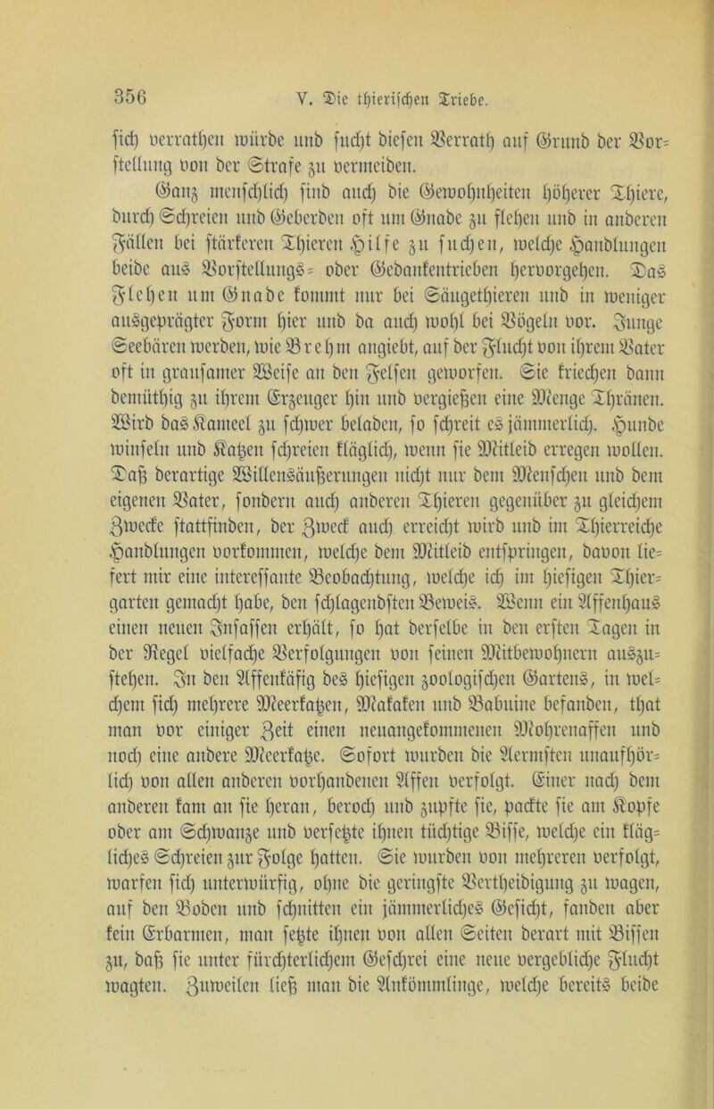 ficf) öerratpeit mürbe unb fitest biefen Verrat!) auf ©runb ber 33or= ftetlung non ber ©träfe 51t üermeiben. ©ang menfcplicp finb and) bie ©emopnpeiten pöperer Spiere, bttrep ©freien unb ©eberben oft um ©nabe 51t fielen unb in anberen fällen bet ftärferen Spieren ,'ptlfe 51t ftief)eit, melcpe §attblungeit betbe auS SBorftellungS = ober ©ebanfentrieben peroorgepen. SaS $fepett tun ©nabe fommt nur bet ©äugetpieren unb in toertiger ausgeprägter £$ornt pier unb ba and) tuof)t bet 33ogeltt oor. Sunge Seebären merbett, tote 33 rep tu angiebt, auf ber $lucpt 001t tprent tßater oft in grattfanter ÜEßeife an beit Reifen gemorfeit. ©te frteepett bann bentütpig 51t tprent (Srgeuger pin ttttb üergiepen eine SO^enge Spränen. 3Sirb baS^attteel §u fepmer beloben, fo fepreit eS jämmertiep. ,<punbe toinfefit unb ^apett fepreiett ftäglicp, toenn fie Sftitleib erregen tuoüeit. Sap berartige SSilfenSäupentngen niept nur beut ÜDienfcpeit ttttb beut eigenen 33ater, fottbent attep anberen Spieren gegenüber 31t gteiepent ßtoeefe ftattfinben, ber ßmeef attep erreiept toirb ttttb int Spierreicpe ^mnblttngen oorfommen, toetepe beut ÜDiitfeib entfpringeu, baoott fie= fert mir eine intereffante 33eobacptititg, toetepe idp int piefigeit Spier* garten gentaept pabe, beit fcplagenbften33emeiS. SBenn ein SlffenpauS einen neuen Snfaffen erpält, fo pat berfelbe in beit erften Sagen in ber Sieget oielfacpe Sßerfofgitngett oon feinen SDätbemopuern auS^u* ftepett. ^n ben Stffenfäfig beS piefigeit gootogifepen ©artenS, in toel= epent fiep nteprere ütteerfapen, ÜDtafafen ttttb SBabuine befanben, tpat man oor einiger $eit einen neuangefommeiten iUcoprenaffeit unb nod) eine aitbere ÜDieerfape. ©ofort tourben bie Slermften unaufpör* tid) oon allen anberen oorpanbeneu SXffeit oerfolgt. (Sitter ltadj beut anberen fant an fie peran, berod) unb jupfte fie, paefte fie am Ä’opfe ober am ©cpmange unb oerfepte iptten tüdpttge 33iffe, toelcpe ein fläg= ficpeS ©epreien §ur $o!ge patten, ©ie mürben oon mepreren oerfolgt, mar feit fiep untermürfig, opite bie geriugfte SSertpeibigung gu tragen, auf ben 33oben unb fdpnitten ein jämmerlidfeS ©efidjt, fanben aber fein Erbarmen, man fepte ipiteit oon allen ©eiten berart mit 23iffen 51t, bap fie unter fürcpterlicpem ©efeprei eine neue oergeblicpe gtudpt magteit. ßumeilett liep mau bie 3lnfötitntlinge, mefrpe bereits beibe