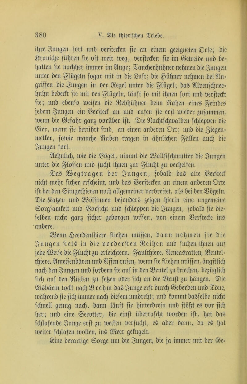 ifjre jungen fort unb oerfteden fie an einem geeigneten Orte; bie Äraitidje fiteren fie oft meit toeg, oerftecfen fie im (betreibe unb be= batten fie itad)t)er immer imStuge; £audjerf)üf)ner neunten bie jungen unter ben $tugeln fogar mit in bie £uft; bie §üf)iter nehmen bei Äm griffen bie Snitgen in ber lieget unter bie ^tilget; ba3 2lfyettf d)ttee= t)itl)u bebedt fie mit ben $tügeln, tauft fo mit if)nen fort unb oerftedt fie; unb ebettfo toeifett bie 3xebf)üf)uer beim -Ralfen eiue§ $einbe§ jebent jungen ein 23erfted au unb rufen fie erft mieber pfamnten, meint bie ©üefaljr gang oorüber ift. ®ie 9tad;tfd)tuatben fdjteppen bie ©ier, menn fie berührt finb, au einen auberen Ort; unb bie giegem ntetfer, fomie ntandje Raben tragen in äljntidfen gälten aud) bie jungen fort. Stetjntid), tote bie 23oget, nimmt bie äSatlfifdjmutter bie jungen unter bie Stoffen unb fud)t iljnen gur $tud)t gu üertjetfeu. ©)a§ 2ö eg trag eit ber jungen, fobatb ba3 alte 23erfted nid)t met)r ftdjer erfdjeint, ttub ba§ Rerfteden an einem auberen Orte ift bei ben @äugett)ieren ttodj allgemeiner oerbreitet, ats bei ben 23ögetn. $>ie Stoßen unb SSötfinnen befonber§ geigen tjierin eine ungemeine ©orgfamfeit unb 23orfid)t unb fdjleipben bie jungen, fobatb fie bie= fetben nidjt gang fid;er geborgen toiffen, 001t einem SSerftede ins aitbere. Stöenu ^peerbentt)iere ftiefjen ntttffen, bann uet)iiten fie bie jungen ft et 3 in bie oorberften eit)en unb fitd)en iljnen auf jebe 2Seife bie $ludjt 31t erleichtern. $aultf)iere, Stenea^ratten, 93eutet= ttjiere, Stmeifenbären unb Stffen rufen, toeitn fie ftiet)en miiffen, ängfttid) nadj ben jungen unb f orbertt fie auf itt ben töeutet 31t friedjeit, begügtid) fid) auf ben Rüden 51t feigen ober fid) au bie 93ruft 31t Rängen. SDie ©iäbärin todt nad) 23ret)nt ba§öungeerft burd) ©eberbenunb Xöite, toä^renb fie fid) immer nad) biefemuntbreljt; unb fommt baöfetbe nid)t fd)nell genug nad), bann täuft fie t)interbrein unb ftöfjt e§ oor fid) t)er; unb eine ©eeotter, bie einft überrafdjt toorbeit ift, t)at ba§ fd)tafenbe ^uitge erft 3U toeden oerfud)t, e§ aber bann, ba e3 t)at toeiter fd)tafeu motten, itt§ SäReer gefugett. ©ine berartige ©orge um bie jungen, bie ja immer mit ber ©e=