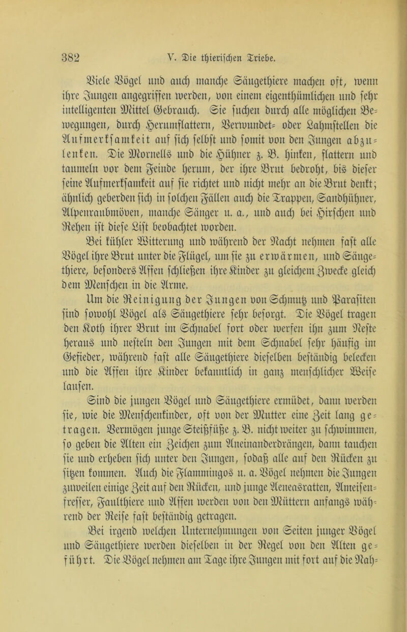 Stiele Stögel unb aucf; manche ©äugetljiere machen oft, iuemt ihre jungen angegriffen tuerbert, oon einem eigentümlichen unb fef)r intelligenten Mittel ©ebraitd). ©ie fudjeit bitrd) alle möglidjen S3e= wegitttgeit, bnrcf) §erumflattern, SterttmnbeU ober ßaljmftellen bie ^Cufnterffamfeit auf fid) felbft unb fomit oon ben jungen 06511 = lenteu. Sie SStoruellS unb bie §üf)ner 5. S3. hinten, flattern unb taumeln oor beut $eittbe herum, ber ihre 23rut 6ebrol)t, bis biefer feine Stufmerffamfeit auf fie ridjtet unb nicht mehr an bie 33ntt beitft; ähnlich geberbeitfid) iitfoldjeu gölten auch bie trappen, @aubl)ühner, Slfyettraubntöben, ntaudje ©änger it. a., unb and) bei £)irfd)en unb Siel)ett ift biefe Sift beobadjtet luorbeu. 33ei fitl)ler SBitterung unb mäf)reub ber 9iad)t nehmen faft alle SSögel ihre 93rut unter bie Flügel, um fie 5U er 10 armen, itub©äitge= tl)iere, befonberS Riffen fdjliefjen iljreÄinber 511 gleichem ßwede gleid) bem SSienfdjen in bie Sinne. Um bie Steinigung ber jungen ooit©d)utuh unb ißarafiteit fiub fowol)l Stögel als ©äugetljiere fel)r beforgt. Sie Stögel tragen ben toth ihrer 33rut im ©djitabel fort ober loerfeu il)n 511m Stefte herauf unb uefteln ben jungen mit bem ©d;nabel fel)r häufig im ©efieber, Währeitb faft alte ©äugett)iere biefelbeit beftäubig beleden unb bie Slffen ihre Äiitber befauntlid) in gan5 meitfd)lid)er Söeife laufen. ©inb bie jungen Stögel unb ©äugetf)iere erntübet, bann luerben fie, loie bie SSienfdjeufiuber, oft oon ber SJhttter eine $eit laug ge = tragen. Vermögen junge©teifjfüfje 5. $3. nid)t weiter 51t fdjwtmmen, fo geben bie Sitten ein ßeidjen 51UU Stneinanberbrängeu, bann tauchen fie itub erheben fid) unter ben jungen, fobajj alle auf beit Siüdeu 51t fi^eit fommen. Sind) bie ^lammiitgoS it. a. Stögel nehmen bie jungen 5inoeileu einige ßeit auf ben Stüdett, unb junge SteueaSratten, Slmeifeu= freffer, gaitlthiere unb Slffen werben oon ben füttern anfangs wäf)'- reub ber Steife faft beftäubig getragen. S3ei irgettb welchen Unternehmungen 001t ©eiten junger Stögel unb ©äugetl)iere werben biefelbeit itt ber Siegel 001t beit Sitten ge = führ t. Sie Stögel nehmen am Sage ihre jungen mit fort auf bie 3iah;