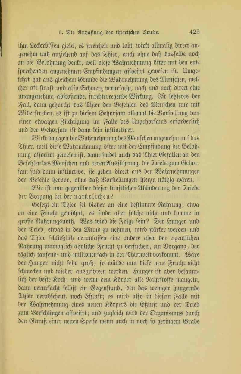 if)nt Sederbiffen giebt, e§ ftteidjelt unb lobt, mirft attmälig birect am genehm unb anjietfenb auf ba» Elfter, and) olfne baff ba^felbe nod) an bic ^Belohnung benft, meil bicfe Wahrnehmung öfter mit ben eitt= fpredfenben angenehmen ©mpfinbnitgen affociirt gemefen ift. Unige- fefjrt f)at au§ gleichem ©rnitbe bie Wahrnehmung be» sDicnfd)ett, mel= d)er oft [traft unb atfo ©dfiiterg ocntrfadft, nad) unb itadf birect eine unangenehme, abftoffenbe, furdfterregenbe Wirhtng. Sft leptereä ber galt, bann gelfordft bas Xlfier ben befehlen be£ Sötotfdfen nur mit Wiberftrebeit, e§ ift 51t biefent ©elforfant allemal bie Sorftellung 001t einer etmaigen ßitdftigung im gälte be§ Ungelforfant§ erforberlidf unb ber ©efforfant ift bann fein inftinctioer. Wirft bagegen bie Wahrnehmung bc3$)tenfd)en angenehm auf ba£ Xlfier, meil biefe Wahrnehmung öfter mit ber ©ntpfinbung ber 93elof)^ nung affociirt gemefen ift, bann finbet and) ba§ Slffier (Gefallen an ben '-Befehlen be§9)i!enfd)eu unb bereu $lu§füfjrung, bie Xriebe junt ©ef)or= fam finb bann iuftiuctioe, fie gelfen birect au§ ben Wahrnehmungen ber S-Befelfle peroor, offne baff Sßorftellungen f)ier§it nöttfig mären. Wie ift nun gegenüber biefer fünftlidfen 2lbänberung ber 'Xriebe ber Vorgang bei ber natürlichen? ©efetü ein Slfier fei bi^ffer an eine beftimmte Dialfrnng, etma an eilte gntclft gemötfnt, e§ finbe aber foldfe nidft unb fomnte in groffe 9iaf)rung§notf). Wa» mirb bie golge fein? ®er junger unb ber ‘Xrieb, etma§ in ben SOcitnb gtt nehmen, mirb ftärfer merben unb ba§ Xhier fdfliefüid) oeraulaffen eine anbere aber ber eigentlidfen 9tafjrung montöglidf älfitlidfe grucfft ju oerfudfen, ein Vorgang, ber tägtidf taitfenb= unb millionenfad) in ber Xlfiermelt oorfommt. Wäre ber .'pttnger nidft fehl* groff, fo mürbe nun biefe neue gntdft nidft fdftneden unb mieber ausgefpieeit merben. junger ift aber befannt= lidf ber befte &odf; unb meint beut Körper alle ütälfrftoffe mangeln, bann oeritrfadft felbft ein ©egenftanb, ben ba§ meitiger Ifungernbe Xtfier oerabfdfeut, itodf ©fünft; e§ mirb atfo in biefem gälte mit ber SEMfrnelfmuitg eine§ neuen Äörper§ bie ©fünft unb ber Xrieb pm 35erfd)lingeu affociirt; unb ungleich mirb ber Crgaitiämus burdf ben @enuf3 einer neuen ©peife menn and) in itodf fo geringem @rabe