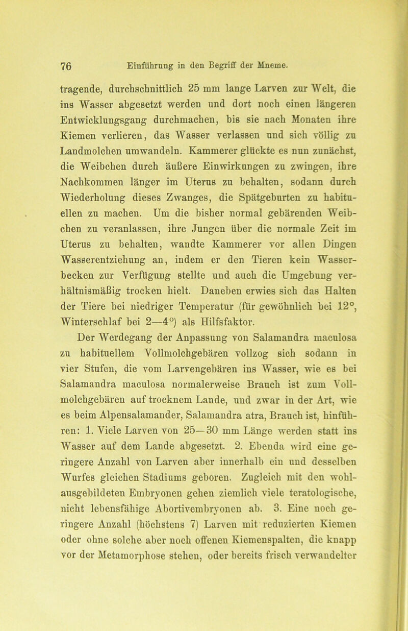 tragende, durchschnittlich 25 mm lange Larven zur Welt, die ins Wasser ahgesetzt werden und dort noch einen längeren Entwicklungsgang durchmachen, bis sie nach Monaten ihre Kiemen verlieren, das Wasser verlassen und sich völlig zu Landmolchen umwandeln. Kämmerer glückte es nun zunächst, die Weibchen durch äußere Einwirkungen zu zwingen, ihre Nachkommen länger im Uterus zu behalten, sodann durch Wiederholung dieses Zwanges, die Spätgeburten zu habitu- ellen zu machen. Um die bisher normal gebärenden Weib- chen zu veranlassen, ihre Jungen über die normale Zeit im Uterus zu behalten, wandte Kämmerer vor allen Dingen Wasserentziehung an, indem er den Tieren kein Wasser- becken zur Verfügung stellte und auch die Umgebung ver- hältnismäßig trocken hielt. Daneben erwies sich das Halten der Tiere bei niedriger Temperatur (für gewöhnlich hei 12°, Winterschlaf bei 2—4°) als Hilfsfaktor. Der Werdegang der Anpassung von Salamandra maculosa zu habituellem Vollmolchgebären vollzog sich sodann in vier Stufen, die vom Larvengebären ins Wasser, wie es bei Salamandra maculosa normalerweise Brauch ist zum Voll- molchgebären auf trocknem Lande, und zwar in der Art, wie es beim Alpensalamander, Salamandra atra, Brauch ist, hinfüh- ren: 1. Viele Larven von 25—30 mm Länge werden statt ins Wasser auf dem Lande abgesetzt. 2. Ebenda wird eine ge- ringere Anzahl von Larven aber innerhalb ein und desselben Wurfes gleichen Stadiums geboren. Zugleich mit den wohl- ausgebildeten Embryonen gehen ziemlich viele teratologische, nicht lebensfähige Abortivembryonen ab. 3. Eine noch ge- ringere Anzahl (höchstens 7) Larven mit reduzierten Kiemen oder ohne solche aber noch offenen Kiemenspalten, die knapp vor der Metamorphose stehen, oder bereits frisch verwandelter