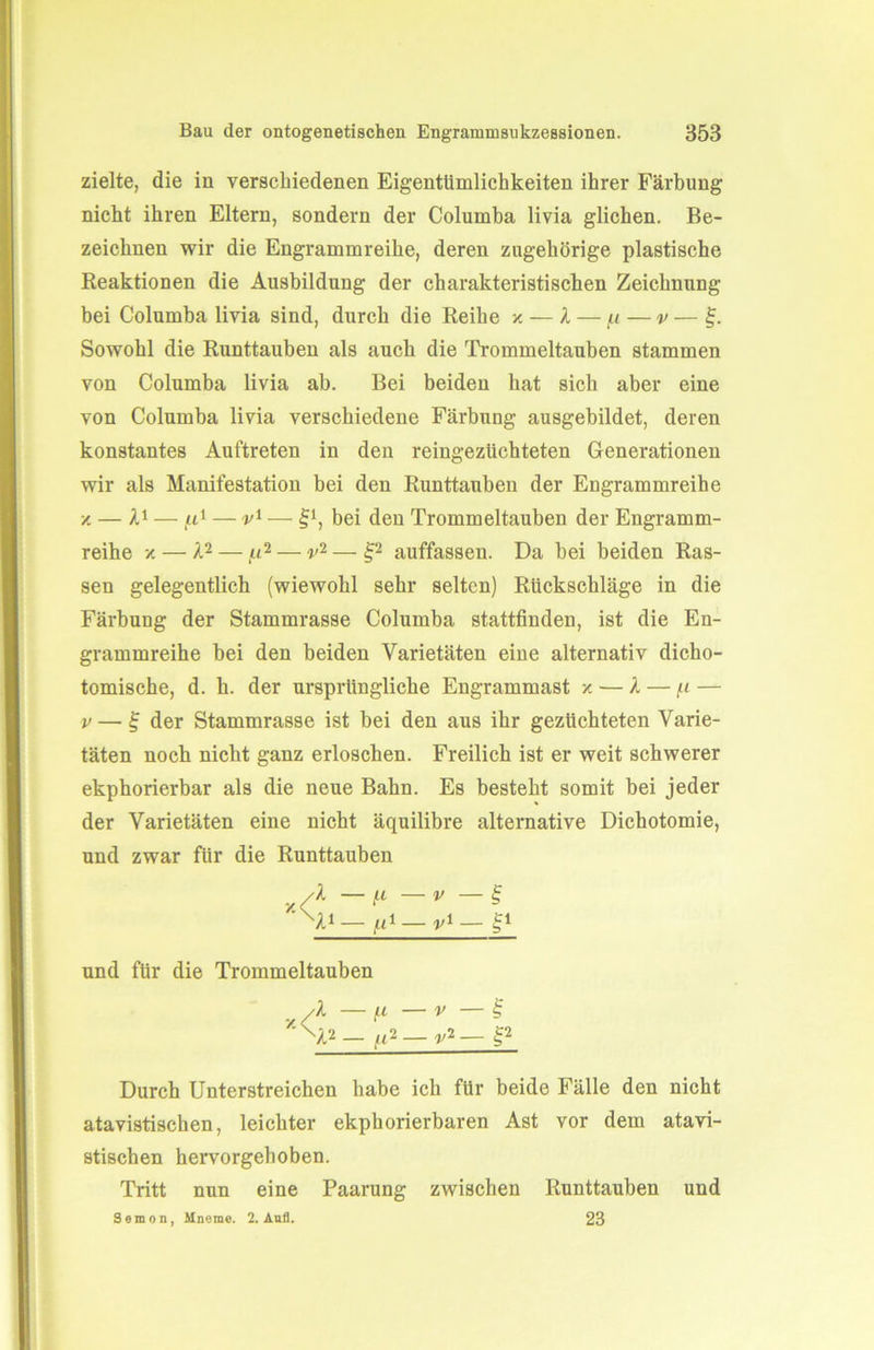 zielte, die in verschiedenen Eigentümlichkeiten ihrer Färbung nicht ihren Eltern, sondern der Columba livia glichen. Be- zeichnen wir die Engrammreihe, deren zugehörige plastische Reaktionen die Ausbildung der charakteristischen Zeichnung bei Columba livia sind, durch die Reihe x — A — (x — v — f. Sowohl die Runttauben als auch die Trommeltauben stammen von Columba livia ab. Bei beiden hat sich aber eine von Columba livia verschiedene Färbung ausgebildet, deren konstantes Auftreten in den reingezüchteten Generationen wir als Manifestation bei den Runttauben der Engrammreihe x — A1 — ^t1 — v1 — §!, bei den Trommeltauben der Engramm- reihe x — A2— u2— v2— £2 auffassen. Da bei beiden Ras- sen gelegentlich (wiewohl sehr selten) Rückschläge in die Färbung der Stammrasse Columba stattfinden, ist die En- grammreihe bei den beiden Varietäten eine alternativ dicho- tomische, d. h. der ursprüngliche Engrammast x — A — /t — v — £ der Stammrasse ist bei den aus ihr gezüchteten Varie- täten noch nicht ganz erloschen. Freilich ist er weit schwerer ekphorierbar als die neue Bahn. Es besteht somit bei jeder der Varietäten eine nicht äquilibre alternative Dichotomie, und zwar für die Runttauben A — H — v — § ''NU — — i/i— gi und für die Trommeltauben ..A —p —v — £ ' Nt2 — (. t2 — v2 — £2 Durch Unterstreichen habe ich für beide Fälle den nicht atavistischen, leichter ekphorierbaren Ast vor dem atavi- stischen hervorgehoben. Tritt nun eine Paarung zwischen Runttauben und Semon, Mneme. 2. Aufl. 23