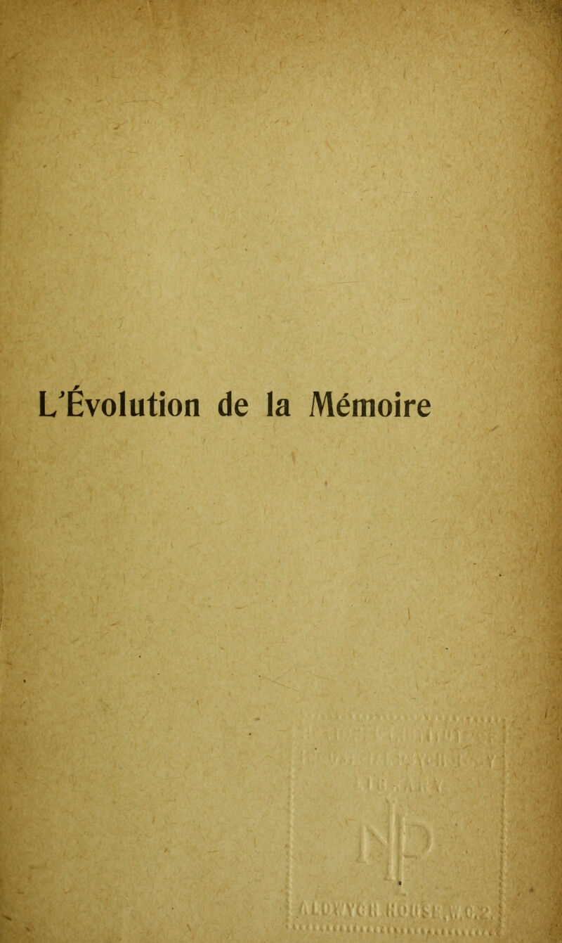 L'Évolution de la Mémoire