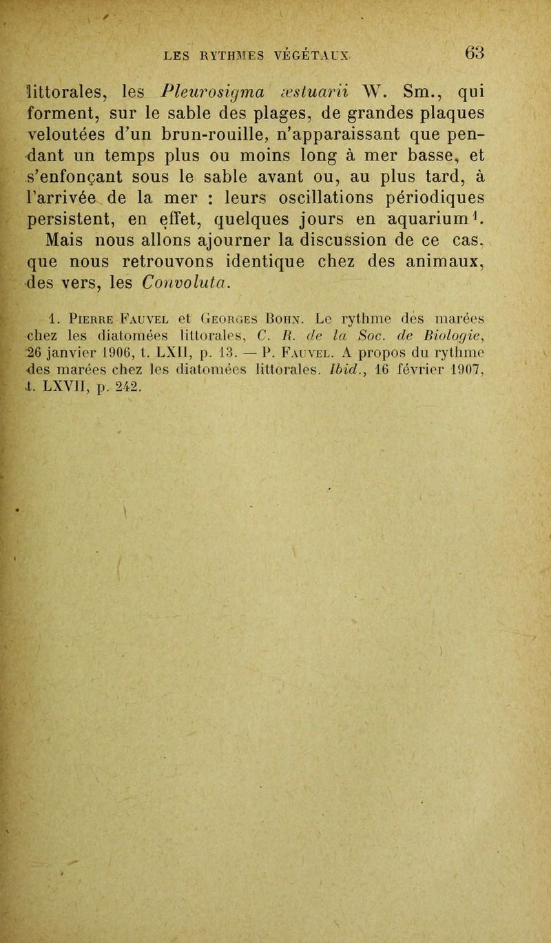 littorales, les Pleurosigma æstuarii W. Sm., qui forment, sur le sable des plages, de grandes plaques veloutées d’un brun-rouille, n’apparaissant que pen- dant un temps plus ou moins long à mer basse, et s’enfonçant sous le sable avant ou, au plus tard, à l’arrivée de la mer : leurs oscillations périodiques persistent, en effet, quelques jours en aquarium1. Mais nous allons ajourner la discussion de ce cas, que nous retrouvons identique chez des animaux, des vers, les Convoluta. 1. Pierre Fauvel et Georges Boiin. Le rythme dès marées chez les diatomées littorales, C. R. de la Soc. de Biologie, 26 janvier 1906, t. LXII, p. 13. — P. Fauvel. A propos du rythme •des marées chez les diatomées littorales. Ibid., 16 février 1907, X. LXVII, p. 242.