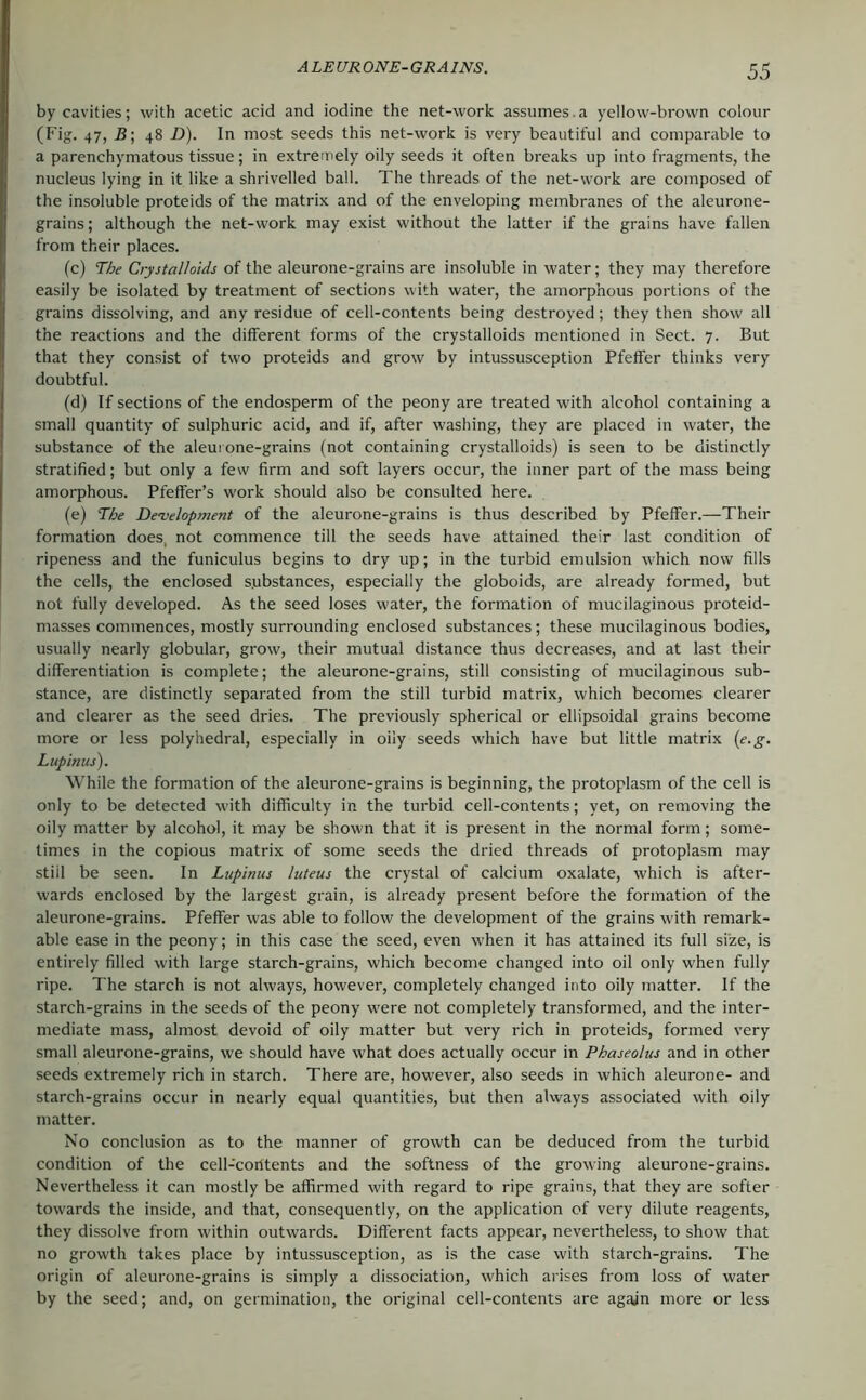 by cavities; with acetic acid and iodine the net-work assumes.a yellow-brown colour (Fig. 47, .ß; 48 D). In most seeds this net-work is very beautiful and comparable to a parenchymatous tissue; in extremely oily seeds it often breaks up into fragments, the nucleus lying in it like a shrivelled ball. The threads of the net-work are composed of the in.soluble proteids of the matrix and of the enveloping membranes of the aleurone- grains; although the net-work may exist without the latter if the grains have fallen from their places. (c) The Crystalloids of the aleurone-grains are in.soluble in water; they may therefore easily be isolated by treatment of sections with water, the amorphous portions of the grains dissolving, and any residue of cell-contents being destroyed; they then show all the reactions and the different forms of the crystalloids mentioned in Sect. 7. But that they consist of two proteids and grow by intussusception Pfeffer thinks very doubtful. (d) If sections of the endosperm of the peony are treated with alcohol containing a small quantity of sulphuric acid, and if, after washing, they are placed in water, the substance of the aleui one-grains (not containing crystalloids) is seen to be distinctly stratified; but only a few firm and soft layers occur, the inner part of the mass being amorphous. Pfeifer’s work should also be consulted here. (e) The Development of the aleurone-grains is thus described by Pfeffer.—Their formation does, not commence till the seeds have attained their last condition of ripeness and the funiculus begins to dry up; in the turbid emulsion which now fills the cells, the enclosed substances, especially the globoids, are already formed, but not fully developed. As the seed loses w’ater, the formation of mucilaginous proteid- masses commences, mostly surrounding enclosed substances; these mucilaginous bodies, usually nearly globular, grow, their mutual distance thus decreases, and at last their differentiation is complete; the aleurone-grains, still consisting of mucilaginous sub- stance, are distinctly separated from the still turbid matrix, which becomes clearer and clearer as the seed dries. The previously spherical or ellipsoidal grains become more or less polyhedral, especially in oily seeds which have but little matrix {e.g. Lupinus). While the formation of the aleurone-grains is beginning, the protoplasm of the cell is only to be detected with difficulty in the turbid cell-contents; yet, on removing the oily matter by alcohol, it may be shown that it is present in the normal form; some- times in the copious matrix of some seeds the dried threads of protoplasm may stiil be seen. In Lupinus luteus the crystal of calcium oxalate, which is after- wards enclosed by the largest grain, is already present before the formation of the aleurone-grains. Pfeffer was able to follow the development of the grains with remark- able ease in the peony; in this case the seed, even when it has attained its full size, is entirely filled with large starch-grains, which become changed into oil only when fully ripe. The starch is not always, however, completely changed into oily matter. If the starch-grains in the seeds of the peony were not completely transformed, and the inter- mediate mass, almost devoid of oily matter but very rich in proteids, formed very small aleurone-grains, we should have what does actually occur in Phaseolus and in other seeds extremely rich in starch. There are, however, also seeds in which aleurone- and starch-grains occur in nearly equal quantities, but then always associated with oily matter. No conclusion as to the manner of growth can be deduced from the turbid condition of the cell-contents and the softness of the growing aleurone-grains. Nevertheless it can mostly be affirmed with regard to ripe grains, that they are softer towards the inside, and that, consequently, on the application of very dilute reagents, they dissolve from within outwards. Different facts appear, nevertheless, to show that no growth takes place by intussusception, as is the case with starch-grains. The origin of aleurone-grains is simply a dissociation, which arises from loss of water by the seed; and, on germination, the original cell-contents are again more or less