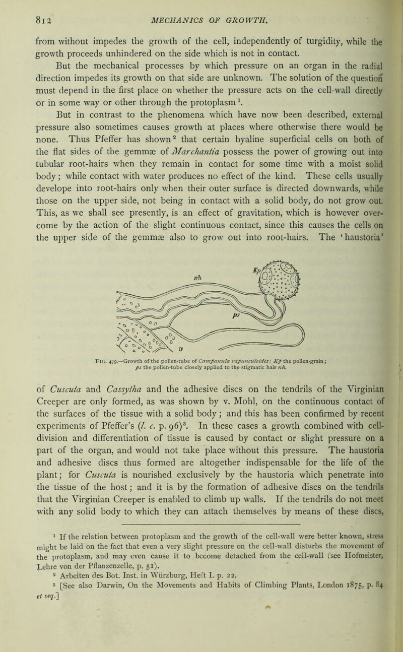 from without impedes the growth of the cell, independently of turgidity, while the growth proceeds unhindered on the side which is not in contact. But the mechanical processes by which pressure on an organ in the radial direction impedes its growth on that side are unknown. The solution of the question must depend in the first place on whether the pressure acts on the cell-wall directly or in some way or other through the protoplasm h But in contrast to the phenomena which have now been described, external pressure also sometimes causes growth at places where otherwise there would be none. Thus Pfeffer has shown that certain hyaline superficial cells on both of the flat sides of the gemmae of Marchaniia possess the power of growing out into tubular root-hairs when they remain in contact for some time with a moist solid body; while contact with water produces no effect of the kind. These cells usually develope into root-hairs only when their outer surface is directed downwards, while those on the upper side, not being in contact with a solid body, do not grow out. This, as we shall see presently, is an effect of gravitation, which is however over- come by the action of the slight continuous contact, since this causes the cells on the upper side of the gemmae also to grow out into root-hairs. The ‘haustoria’ Fig, 479.—Growth of the pol!en-tube of Coinpauuta rapunculoides: Kp the poUen-grain; ps the polIen*tube closely applied to the stigmatic hair nh. of Cuscuia and Cassylha and the adhesive discs on the tendrils of the Virginian Creeper are only formed, as was shown by v. Mohl, on the continuous contact of the surfaces of the tissue with a solid body; and this has been confirmed by recent experiments of Pfeifer’s (/. c. p. 96)®. In these cases a growth combined with cell- division and differentiation of tissue is caused by contact or slight pressure on a part of the organ, and would not take place without this pressure. The haustoria and adhesive discs thus formed are altogether indispensable for the life of the plant; for Cuscuia is nourished exclusively by the haustoria which penetrate into the tissue of the host; and it is by the formation of adhesive discs on the tendrils that the Virginian Creeper is enabled to climb up walls. If the tendrils do not meet with any solid body to which they can attach themselves by means of these discs, * If the relation between protoplasm and the growth of the cell-wall were better known, stress might be laid on the fact that even a very slight pressure on the cell-wall disturbs the movement of the protoplasm, and may even cause it to become detached from the cell-wall fsee Hofmeister, Lehre von der Pflanzenzelle, p. 51). Arbeiten des Bot. Inst, in Würzburg, Heft I. p. 22. ^ [See also Darwin, On the Movements and Habits of Climbing Plants, London 1875, p. 84 el se?.]