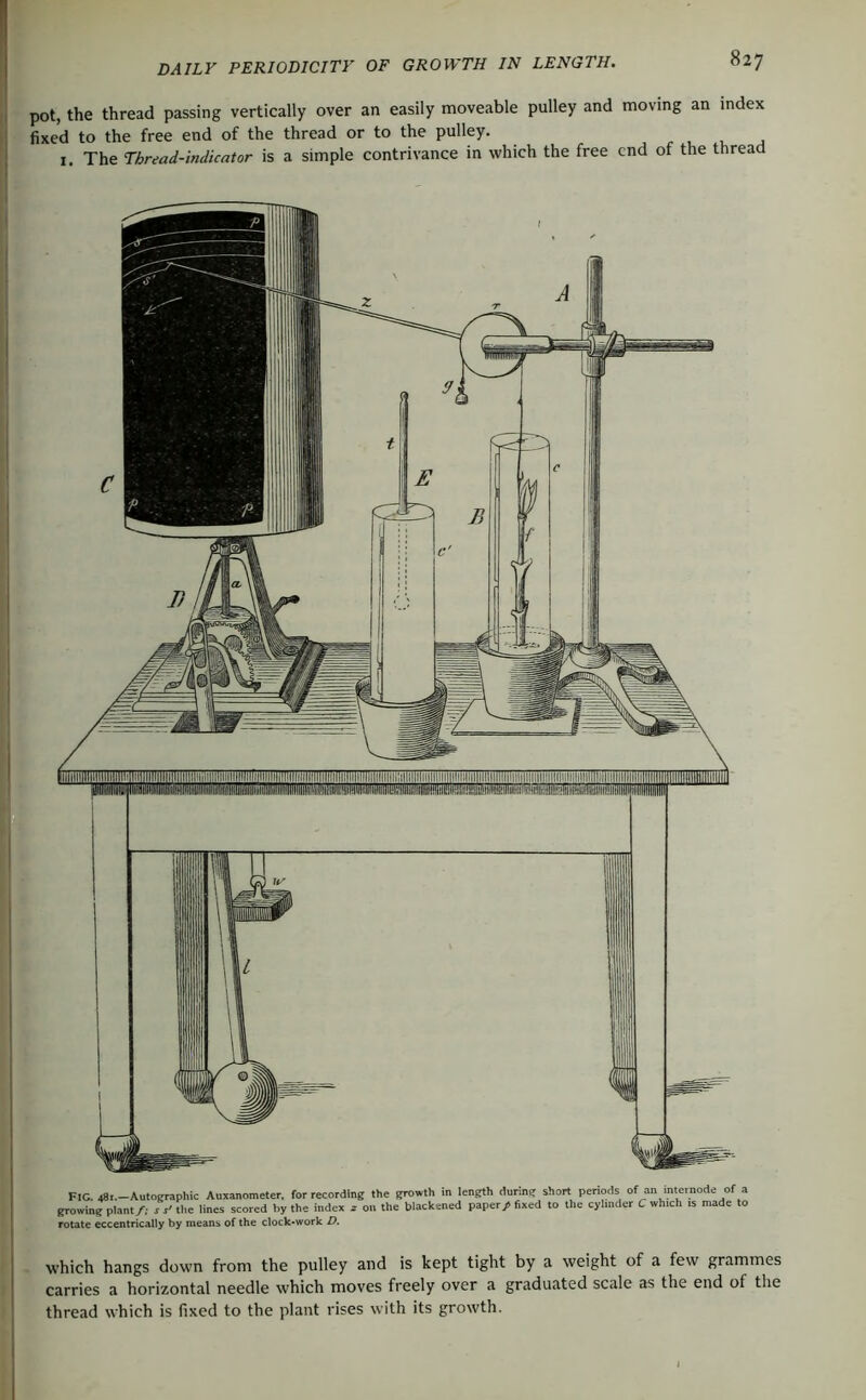 pot, the thread passing vertically over an easily moveable pulley and moving an index fixed to the free end of the thread or to the pulley. I. The Thread-indicator is a simple contrivance in which the free end of the thread FIG. 481.-Autographic Auxanometer, for recording the gro»th in length during short periods of an internode of a rowing plant/; r r' tlie lines scored by the index i on the blackened paper/ fixed to the cylinder C which is made to )tate eccentrically by means of the clock-work D. which hangs down from the pulley and is kept tight by a weight of a few grammes carries a horizontal needle which moves freely over a graduated scale as the end of the thread which is fixed to the plant rises with its growth.