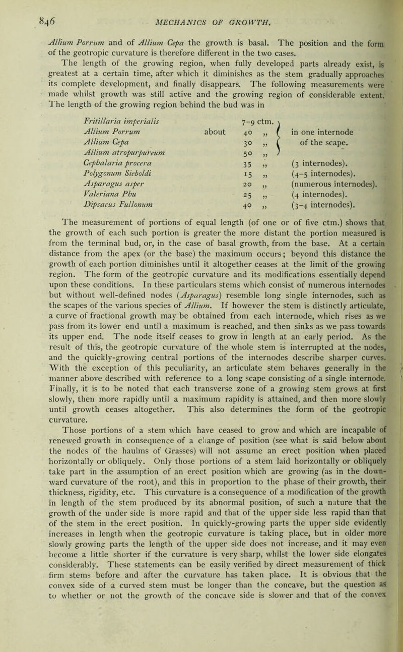 Allium Porriim and of Allium Cepa the growth is basal. The position and the form of the geotropic curvature is tlierefore different in the two cases. The length of the growing region, when fully developed parts already exist, is greatest at a certain time, after which it diminishes as the stem gradually approaches its complete development, and finally disappears. The following measurements were made whilst growth was still active and the growing region of considerable extent. The length of the growing region behind the bud was in Fritillaria imperialis 7-9 ctm. \ Allium Porrum about 40 in one internode Allium Cepa 30 \ of the scape. Allium atropurpureum 50 Cephalaria procera 35 (3 internodes). Pelygenum Sieboldi 15 (4-5 internodes). Asparagus asper 20 (numerous internodes). Valeriana Phu 25 >> (4 internodes). Dipsacus Fullonum 40 >> (3-4 internodes). The measurement of portions of equal length (of one or of five ctm.) shows that the growth of each such portion is greater the more distant the portion measured is from the terminal bud, or, in the case of basal growth, from the base. At a certain distance from the apex (or the base) the maximum occurs; beyond this distance the growth of each portion diminishes until it altogether ceases at the limit of the growing region. The form of the geotropic curvature and its modifications essentially depend upon these conditions. In these particulars stems which consist of numerous internodes but without well-defined nodes {Asparagus) resemble long single internodes, such as the scapes of the various species of Allium. If however the stem is distinctly articulate, a curve of fractional growth may be obtained from each internode, which rises as wc pass from its lower end until a maximum is reached, and then sinks as we pass towards its upper end. The node itself ceases to grow in length at an early period. As the result of this, the geotropic curvature of the whole stem is interrupted at the nodes, and the quickly-growing central portions of the internodes describe sharper curves. With the exception of this peculiarity, an articulate stem behaves generally in the manner above described with reference to a long scape consisting of a single internode. Finally, it is to be noted that each transverse zone of a growing stem grows at first slowly, then more rapidly until a maximum rapidity is attained, and then more slowly until growth ceases altogether. This also determines the form of the geotropic curvature. Those portions of a stem which have ceased to grow and which are incapable of renewed growth in consequence of a change of position (see what is said below about the nodes of the haulms of Grasses) will not assume an erect position when placed horizontally or obliquely. Only those portions of a stem laid horizontally or obliquely take part in the assumption of an erect position which are growing (as in the down- ward curvature of the root), and this in proportion to the phase of their growth, their thickness, rigidity, etc. This curvature is a consequence of a modification of the growth in length of the stem produced by its abnormal position, of such a nature that the growth of the under side is more rapid and that of the upper side less rapid than that of the stem in the erect position. In quickly-growing parts the upper side evidently increases in length when the geotropic curvature is taking place, but in older more slowly growing parts the length of the upper side does not increase, and it may even becotne a little shorter if the curvature is very sharp, whilst the lower side elongates considerably. These statements can be easily verified by direct measurement of thick firm stems before and after the curvature has taken place. It is obvious that the convex side of a curved stem must be longer than the concave, but the question as to whether or not the growth of the concave side is slower and that of the convex