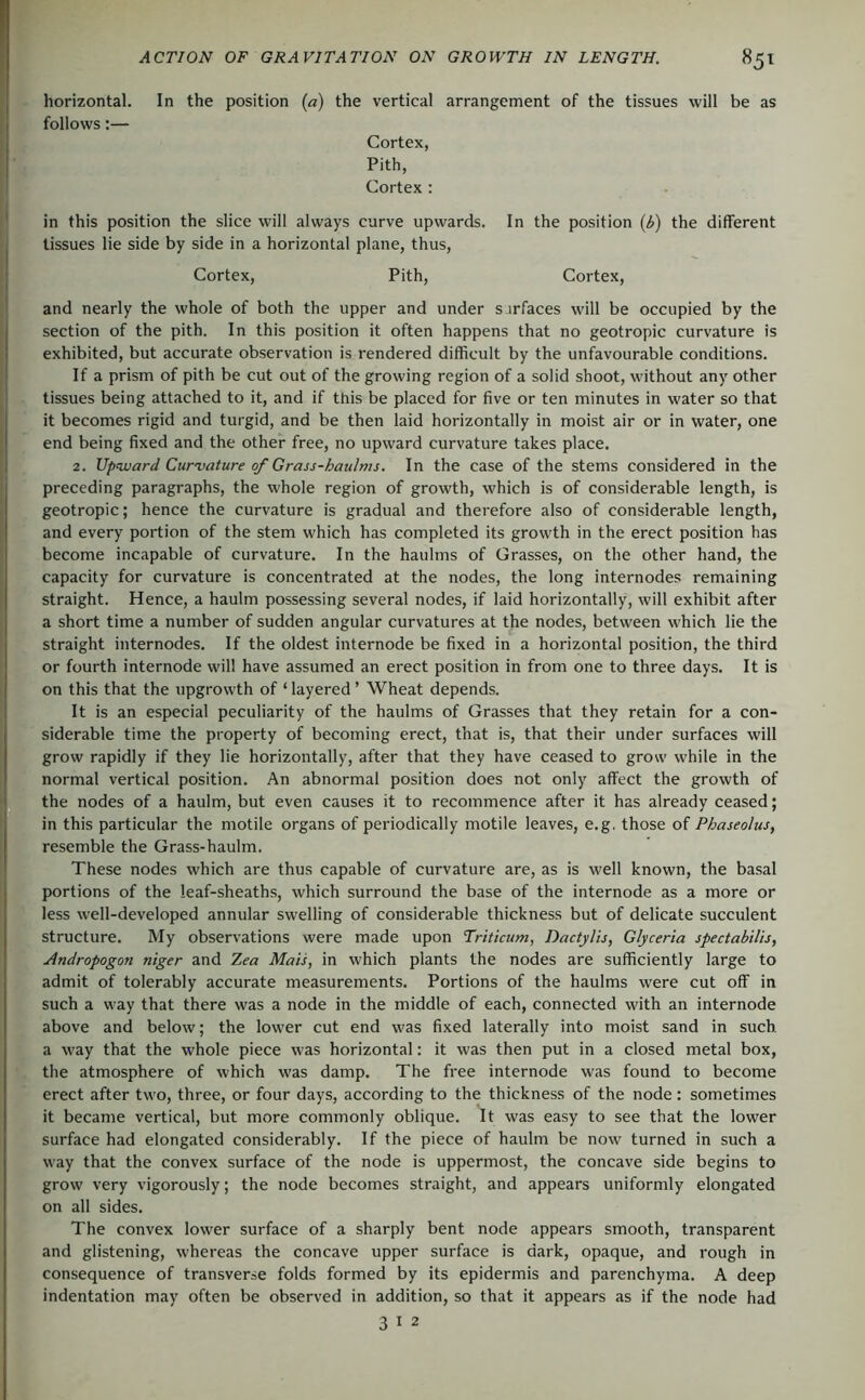 -r <r, i  e % ACTION OF GRAVITATION ON GROWTH IN LENGTH. 851 horizontal. In the position (a) the vertical arrangement of the tissues will be as follows:— Cortex, Pith, Cortex : in this position the slice will always curve upwards. In the position (i) the different tissues lie side by side in a horizontal plane, thus. Cortex, Pith, Cortex, and nearly the whole of both the upper and under s urfaces will be occupied by the section of the pith. In this position it often happens that no geotropic curvature is exhibited, but accurate observation is rendered difficult by the unfavourable conditions. If a prism of pith be cut out of the growing region of a solid shoot, without any other tissues being attached to it, and if this be placed for five or ten minutes in water so that it becomes rigid and turgid, and be then laid horizontally in moist air or in water, one end being fixed and the other free, no upward curvature takes place. 2. Upward Curvature of Grass-haulms. In the case of the stems considered in the preceding paragraphs, the whole region of growth, which is of considerable length, is geotropic; hence the curvature is gradual and therefore also of considerable length, and every portion of the stem which has completed its growth in the erect position has become incapable of curvature. In the haulms of Grasses, on the other hand, the capacity for curvature is concentrated at the nodes, the long internodes remaining straight. Hence, a haulm possessing several nodes, if laid horizontally, will exhibit after a short time a number of sudden angular curvatures at the nodes, between which lie the straight internodes. If the oldest internode be fixed in a horizontal position, the third or fourth internode will have assumed an erect position in from one to three days. It is on this that the upgrowth of ‘ layered ’ Wheat depends. It is an especial peculiarity of the haulms of Grasses that they retain for a con- siderable time the property of becoming erect, that is, that their under surfaces will grow rapidly if they lie horizontally, after that they have ceased to grow while in the normal vertical position. An abnormal position does not only affect the growth of the nodes of a haulm, but even causes it to recommence after it has already ceased; in this particular the motile organs of periodically motile leaves, e.g. those of Phaseolus, resemble the Grass-haulm. These nodes which are thus capable of curvature are, as is well known, the basal portions of the leaf-sheaths, which surround the base of the internode as a more or less well-developed annular swelling of considerable thickness but of delicate succulent structure. My observations were made upon Triticum, Dactylis, Glyceria spectabilis, Andropogon niger and Zea Mats, in which plants the nodes are sufficiently large to admit of tolerably accurate measurements. Portions of the haulms were cut off in such a way that there was a node in the middle of each, connected with an internode above and below; the lower cut end was fixed laterally into moist sand in such a way that the whole piece was horizontal: it was then put in a closed metal box, the atmosphere of which was damp. The free internode was found to become erect after two, three, or four days, according to the thickness of the node : sometimes it became vertical, but more commonly oblique. It was easy to see that the lower surface had elongated considerably. If the piece of haulm be now turned in such a way that the convex surface of the node is uppermost, the concave side begins to grow very vigorously; the node becomes straight, and appears uniformly elongated on all sides. The convex lower surface of a sharply bent node appears smooth, transparent and glistening, whereas the concave upper surface is dark, opaque, and rough in consequence of transverse folds formed by its epidermis and parenchyma. A deep indentation may often be observed in addition, so that it appears as if the node had
