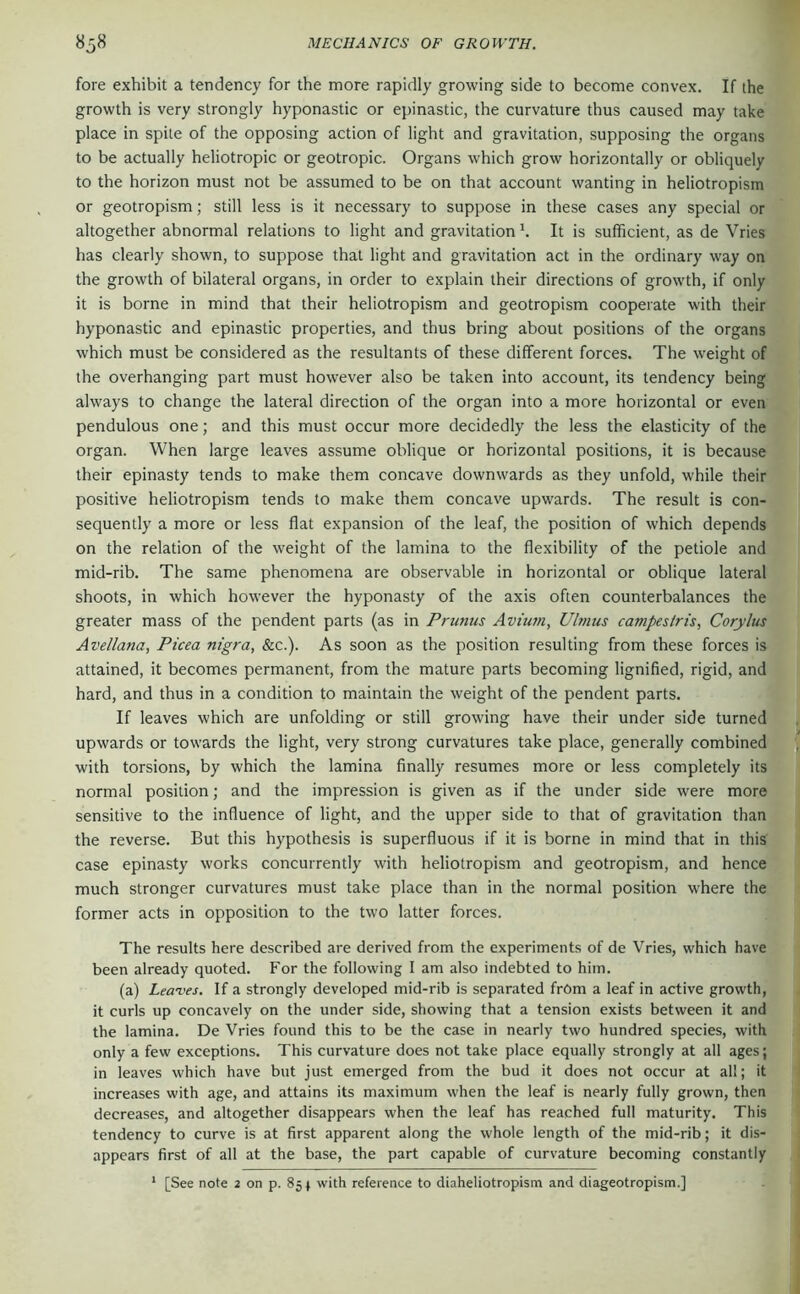 fore exhibit a tendency for the more rapidly growing side to become convex. If the tfl growth is very strongly hyponastic or epinastic, the curvature thus caused may take^BK place in spite of the opposing action of light and gravitation, supposing the organs to be actually heliotropic or geotropic. Organs which grow horizontally or obliquely to the horizon must not be assumed to be on that account wanting in heliotropismÄ[' or geotropism; still less is it necessary to suppose in these cases any special or jB' altogether abnormal relations to light and gravitation h It is sufficient, as de Vries E has clearly shown, to suppose that light and gravitation act in the ordinary way on ■ the growth of bilateral organs, in order to explain their directions of growth, if only it is borne in mind that their heliotropism and geotropism cooperate with their hyponastic and epinastic properties, and thus bring about positions of the organs^-* which must be considered as the resultants of these different forces. The weight of£*'j| the overhanging part must however also be taken into account, its tendency beingT* w always to change the lateral direction of the organ into a more horizontal or even|^I pendulous one; and this must occur more decidedly the less the elasticity of thefi^aj organ. When large leaves assume oblique or horizontal positions, it is becauseV^' their epinasty tends to make them concave downwards as they unfold, while theirljj positive heliotropism tends to make them concave upwards. The result is con-TjJ sequently a more or less flat expansion of the leaf, the position of which depends on the relation of the weight of the lamina to the flexibility of the petiole andljl mid-rib. The same phenomena are observable in horizontal or oblique lateral | shoots, in which however the hyponasty of the axis often counterbalances the ’} greater mass of the pendent parts (as in Primus Avium, Ulmus campeslris, Corylus. i Avellana, Picea nigra, &c.). As soon as the position resulting from these forces is ! \ attained, it becomes permanent, from the mature parts becoming lignified, rigid, and t hard, and thus in a condition to maintain the weight of the pendent parts. i t If leaves which are unfolding or still growing have their under side turned ! a upwards or towards the light, very strong curvatures take place, generally combined jj with torsions, by which the lamina finally resumes more or less completely its i normal position; and the impression is given as if the under side were more ] sensitive to the influence of light, and the upper side to that of gravitation than| the reverse. But this hypothesis is superfluous if it is borne in mind that in this® i' case epinasty works concurrently with heliotropism and geotropism, and henceB much stronger curvatures must take place than in the normal position where the» former acts in opposition to the two latter forces. ',f. The results here described are derived from the experiments of de Vries, which have J- ■ been already quoted. For the following I am also indebted to him. *5 I (a) Leaves. If a strongly developed mid-rib is separated from a leaf in active growth, i jj it curls up concavely on the under side, showing that a tension exists between it and^ the lamina. De Vries found this to be the case in nearly two hundred species, with^ ij only a few exceptions. This curvature does not take place equally strongly at all ages;' j in leaves which have but just emerged from the bud it does not occur at all; it increases with age, and attains its maximum when the leaf is nearly fully grown, then decreases, and altogether disappears when the leaf has reached full maturity. This | tendency to curve is at first apparent along the whole length of the mid-rib; it dis- ■ appears first of all at the base, the part capable of curvature becoming constantly ; * [See note 2 on p. 85 j with reference to diaheliotropism and diageotropism.]
