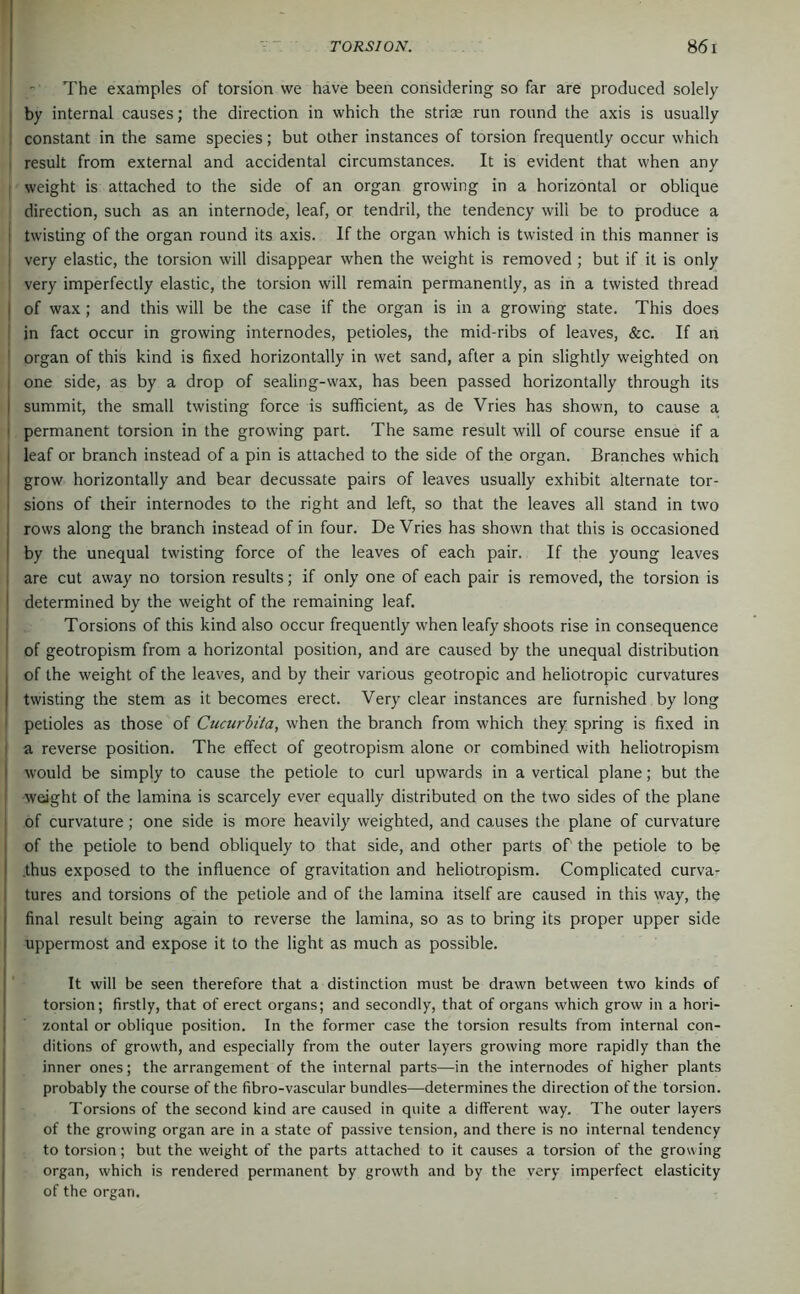 The examples of torsion we have been considering so far are produced solely by internal causes; the direction in which the striae run round the axis is usually constant in the same species; but other instances of torsion frequently occur which result from external and accidental circumstances. It is evident that when any weight is attached to the side of an organ growing in a horizontal or oblique direction, such as an internode, leaf, or tendril, the tendency will be to produce a twisting of the organ round its axis. If the organ which is twisted in this manner is very elastic, the torsion will disappear when the weight is removed ; but if it is only very imperfectly elastic, the torsion will remain permanently, as in a twisted thread of wax; and this will be the case if the organ is in a growing state. This does in fact occur in growing internodes, petioles, the mid-ribs of leaves, &c. If an organ of this kind is fixed horizontally in wet sand, after a pin slightly weighted on one side, as by a drop of sealing-wax, has been passed horizontally through its summit, the small twisting force is sufficient, as de Vries has shown, to cause a permanent torsion in the growing part. The same result will of course ensue if a leaf or branch instead of a pin is attached to the side of the organ. Branches which grow horizontally and bear decussate pairs of leaves usually exhibit alternate tor- sions of their internodes to the right and left, so that the leaves all stand in two rows along the branch instead of in four. DeVries has shown that this is occasioned by the unequal twisting force of the leaves of each pair. If the young leaves are cut away no torsion results; if only one of each pair is removed, the torsion is determined by the weight of the remaining leaf. Torsions of this kind also occur frequently when leafy shoots rise in consequence of geotropism from a horizontal position, and are caused by the unequal distribution of the weight of the leaves, and by their various geotropic and heliotropic curvatures twisting the stem as it becomes erect. Very clear instances are furnished by long petioles as those of Cucurbita, when the branch from which they spring is fixed in a reverse position. The effect of geotropism alone or combined with heliotropism would be simply to cause the petiole to curl upwards in a vertical plane; but the weight of the lamina is scarcely ever equally distributed on the two sides of the plane of curvature; one side is more heavily weighted, and causes the plane of curvature of the petiole to bend obliquely to that side, and other parts of the petiole to be .thus exposed to the influence of gravitation and heliotropism. Complicated curva- tures and torsions of the petiole and of the lamina itself are caused in this way, the final result being again to reverse the lamina, so as to bring its proper upper side uppermost and expose it to the light as much as possible. It will be seen therefore that a distinction must be drawn between two kinds of torsion; firstly, that of erect organs; and secondly, that of organs which grow in a hori- zontal or oblique position. In the former case the torsion results from internal con- ditions of growth, and especially from the outer layers growing more rapidly than the inner ones; the arrangement of the internal parts—in the internodes of higher plants probably the course of the fibro-vascular bundles—determines the direction of the torsion. Torsions of the second kind are caused in quite a different way. The outer layers of the growing organ are in a state of passive tension, and there is no internal tendency to torsion; but the weight of the parts attached to it causes a torsion of the growing organ, which is rendered permanent by growth and by the very imperfect elasticity of the organ.