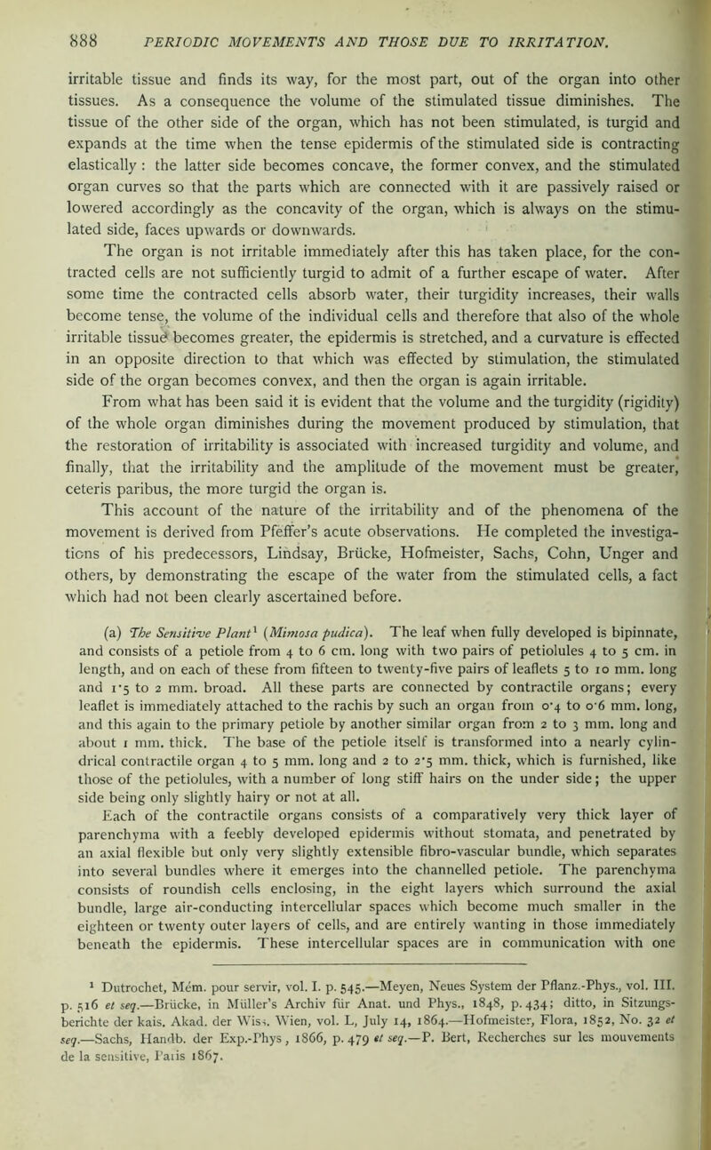irritable tissue and finds its way, for the most part, out of the organ into other tissues. As a consequence the volume of the stimulated tissue diminishes. The tissue of the other side of the organ, which has not been stimulated, is turgid and expands at the time when the tense epidermis of the stimulated side is contracting elastically : the latter side becomes concave, the former convex, and the stimulated organ curves so that the parts which are connected w'ith it are passively raised or lowered accordingly as the concavity of the organ, which is always on the stimu- lated side, faces upwards or downwards. The organ is not irritable immediately after this has taken place, for the con- tracted cells are not sufficiently turgid to admit of a further escape of water. After some time the contracted cells absorb water, their turgidity increases, their walls become tense, the volume of the individual cells and therefore that also of the whole irritable tissud becomes greater, the epidermis is stretched, and a curvature is effected in an opposite direction to that which was effected by stimulation, the stimulated side of the organ becomes convex, and then the organ is again irritable. From what has been said it is evident that the volume and the turgidity (rigidity) of the whole organ diminishes during the movement produced by stimulation, that the restoration of irritability is associated with increased turgidity and volume, and finally, that the irritability and the amplitude of the movement must be greater, ceteris paribus, the more turgid the organ is. This account of the nature of the irritability and of the phenomena of the movement is derived from Pfeifer’s acute observations. He completed the investiga- tions of his predecessors, Lindsay, Brücke, Hofmeister, Sachs, Cohn, Unger and others, by demonstrating the escape of the water from the stimulated cells, a fact which had not been clearly ascertained before. (a) The Sensitive Plant^ {Mimosa pudica). The leaf when fully developed is bipinnate, and consists of a petiole from 4 to 6 cm. long with two pairs of petiolules 4 to 5 cm. in length, and on each of these from fifteen to twenty-five pairs of leaflets 5 to 10 mm. long and I'5 to 2 mm. broad. All these parts are connected by contractile organs; every leaflet is immediately attached to the rachis by such an organ from o’4 to o'6 mm. long, and this again to the primary petiole by another similar organ from 2 to 3 mm. long and about I mm. thick. The base of the petiole itself is transformed into a nearly cylin- drical contractile organ 4 to 5 mm. long and 2 to 2'5 mm. thick, which is furnished, like those of the petiolules, with a number of long stiff hairs on the under side; the upper side being only slightly hairy or not at all. Each of the contractile organs consists of a comparatively very thick layer of parenchyma with a feebly developed epidermis without stomata, and penetrated by an axial flexible but only very slightly extensible fibro-vascular bundle, which separates into several bundles where it emerges into the channelled petiole. The parenchyma consists of roundish cells enclosing, in the eight layers which surround the axial bundle, large air-conducting intercellular spaces which become much smaller in the eighteen or twenty outer layers of cells, and are entirely wanting in those immediately beneath the epidermis. These intercellular spaces are in communication with one ' Dutrochet, Mem. pour servir, vol. I. p. 545.—Meyen, Neues System der Pflanz.-Phys., vol. III. p. 516 et seq.—Brücke, in Miiller’s Archiv fur Anat. und Phys., 1848, p. 434; ditto, in Sitzungs- berichte der kais. Akad. der Wiss. Wien, vol. L, July 14, 1864.—Hofmeister, Flora, 1852, No. 32 et seq.—Sachs, Handb. der Exp.-Phys , 1866, p. 479 sey.—P. Bert, Recherches sur les mouvements de la sensitive. Pans 1867.