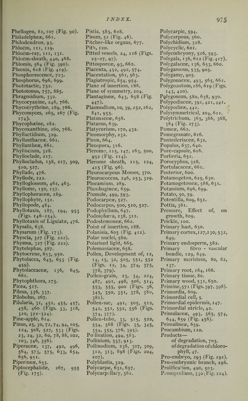 Phellogen, 82, 107 (Fig. 90). Philadelpheae, 661. Philodendron, 93. Phloem, III, 119. Phloem-ray, iii, 131. Phloem-sheath, 440, 468. Phiomis, 564 (Fig. 390). Phoenix, 618 (Fig. 419). Phosphorescence, 723. Phosphorus, 696, 699. Phototactic, 752. Phototonus, 757, 885. Phragmidium, 332. Phycocyanine, 246, 766. Phycoerythrine, 289, 766. Phycomyces, 265, 267 (Fig. 174)- Phycophaeine, 282. Phycoxanthine, 260, 766. Phyllactidium, 329. Phyllanthaceae, 661. Phyllantheae, 661. Phylliscium, 328. Phylloclade, 217. Phyllocladus, 158, 217, 509, 510, 527, Phyllade, 476. Phyllode, 222. Phylloglossum, 462, 463. Phyllome, 150, 157. Phyllophoraceae, 289. Phyllophyte, 151. Phyllopode, 484. Phyllotaxis, 187, 194, 953 (Figs. 146-154). Phyllotaxis of Ligulatae, 476. Physalis, 638. Physarum (Fig. 173). Physcia, 327 (Fig. 222). Physma, 327 (Fig. 222). Phytelephas, 587. Phytocrene, 653, 950. Phytolacca, 645, 653 (Fig. 459)- Phytolaccaceae, 136, 645, 661. Phytophthora, 275. Picea, 517. Pileus, 336, 337. Pilobolus, 267. Pilularia, 31, 451, 455, 457, 458, 460 (Figs. 33, 318, 320, 322-324). Pine-apple, 614. Pinus, 25, 30, 72,74, 94, 105, 124, 508, 527, 533 (Figs. 23, 24, 32, 60, 78, 88, 102, 103, 346, 356). Piperaceae, 137, 492, 496, 564, 573, 575, 633, 654, 656, 951. Piperineae, 655. Piptocephalidae, 267, 955 (Fis- 175)- Pistia, 585, 628. Pisum, 52 (Fig. 46). Pitcher-like organs, 677. Pith, 120. Pitted vessels, 24, 116 (Figs, 25-27, 97)- Pittosporeae, 93, 660. Placenta, 452, 492, 574. Placentation, 561, 563. Plagiotropic, 854, 954. Plane of insertion, 188. Plane of symmetry, 204. Plantagineae, 643, 658 (Fig. 447)- Plasmodium, 10, 39, 252,262, 841, 955. Platanaceae, 656. Platanus, 639. Platycerium, 170,432. Pleomorphy, 232. Pleon, 664. Pleo.spora, 316. Plerome, 115, 147, 163, 500, 952 (Fig. 114). Plerome sheath, 115, 124, 415 (Fig. 96). Pleurocarpous Mosses, 370. Pleurococcus, 246, 253, 329. Plocamium, 289. Plumbagineae, 659. Plumule, 499, 593. Podocarpeae, 527. Podocarpus, 500, 510, 527. Podophyllum, 647. Podosphaera, 238, 312. Podostemoneae, 662. Point of insertion, 188. Polanisia, 605 (Fig. 412). Polar nuclei, 580. Polarised light, 665. Polemoniaceae, 658. Pollen, Development of, 12, 14, 15, 32, 5°5, 551, 552 (Figs. 12, 34, 374, 375, 378, 379)- Pollen-grain, 23, 34, 224, 487, 491, 498, 506, 514, 553, 555, 900 (Figs. 36, 345, 350, 351, 378, 380, 381). Pollen-sac, 491, 505, 512, 542, 551, 552, 556 (Figs. 374, 377). Pollen-tube, 33, 515, 522, 554, 568 (P'igs. 35, 345, 354, 355, 376, 395). Po'lination, 494, 583. Pollinium, 557, 913. Pollinodium, 236, 307, 309, 312, 313, 898 (Figs. 204, 207). Polyblastia, 329. Polycarpae, 631, 657. Polycarpdlary, 561. Polycarpic, 594. Polycarpous, 560. Polychidium, 328. Polycyclic, 601. Polyembryony, 526, 593. Polygala, 136, 612 (Fig.4i7). Polygalaceae, 136, 653, 660. Polygamous, 535, 905. Polygamy, 905. Polygonaceae, 493, 565, 662. Polygonatum, 186, 619 (Figs. 143, 420). Pjtlygonum, 580, 638, 930. Polypodiaceae, 391, 421, 441. Polypodies, 441. ' Polysymmetrical, 204, 6ii. •' Polytrichum, 365, 366, 368, 384 (Fig. 273). Pomeae, 662. Pomegranate, 616. Pontederiaceae, 632. Populus, 637, 640. Pore-capsule, 616. Porlieria, 651. Porocyphus, 328. Portulacaceae, 661. Posterior, 600. Potamogeton, 625, 630. Potamogetoneae, 586, 631. Potassium, 696, 699. Potato, 50, 59. Potentilla, 609, 651. Pottia, 361. Pressure, Effect of, on growth, 809. Prickle, 100. Primary bast, 650. Primary cortex, 127,130, 532, 649- Primary endosperm, 582. Primary fibro - vascular bundle, 129, 649. Primary meristem, 80, 82, 137- Primary root, 164, 166. Primary tissue, 80. Primary wood, 531, 650. Primine,57i (Figs. 397, 398). Primordia, 609. Primordial cell, 5. Primordial epidermis, 147. Primordial utricle, 42. Primulaceae, 493, 565, 574, 644, 659 (Fig. 456). Primulineae, 659. Procambium, 110. Products— of degradation, 705. of degradation of chloro- phyll, 47. Pro-embryo, 293 (Fig. 191). Pro-embryonic branch, 296. Prolification, 490, 503. Promycelium, 33o;^Fig. 224).