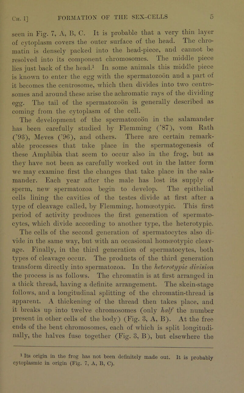 seen in Fig. 7, A, B, C. It is probcable that a very thin layer of cytoplasm covers the outer surface of the head. The chro- matin is densely packed into the head-piece, and cannot be resolved into its component chromosomes. The middle piece lies just back of the head.^ In some animals this middle piece is known to enter the egg with the spermatozoon and a part of it becomes the centrosome, which then divides into two centro- somes and around these arise the achromatic rays of the dividing egg. The tail of the spermatozoon is generally described as coming from the C3doplasni of the cell. The development of the spermatozoon in the salamander has been carefully studied by Flemming (’87), vom Eath (’93), Meves (’96), and others. There are certain remark- able processes that take place in the spermatogenesis of these Amphibia that seem to occur also in the frog, but as they have not been as carefully Avorked out in the latter form Ave may examine first the changes that take place in the sala- mander. Each year after the male has lost its supply of sperm, neAV spermatozoa begin to develop. The epithelial cells lining the cavities of the testes divide at first after a t}'-pe of cleavage called, by Flemming, homoeotypic. This first period of activity produces the first generation of spermato- cytes, Avhich divide according to another type, the heterotypic. The cells of the second generation of spermatocytes also di- vide in the same Avay, but Avith an occasional homoeotypic cleav- age. Finally, in the third generation of spermatocytes, both types of cleavage occur. The products of the third generation transform directly into spermatozoa. In the heterotypic division the process is as follows. The chromatin is at first arranged in a thick thread, having a definite arrangement. The skein-stage follows, and a longitudinal splitting of the chromatin-thread is apparent. A thickening of the thread then takes place, and it breaks up into tAvelve chromosomes (only half the number present in other cells of the body) (Fig. 3, A, B). At the free ends of the bent chromosomes, each of Avhich is split longitudi- nally, the halves fuse together (Fig. 3, B), but elseAvhere the 1 Ite origin in the frog has not been definitely made out. It is probably