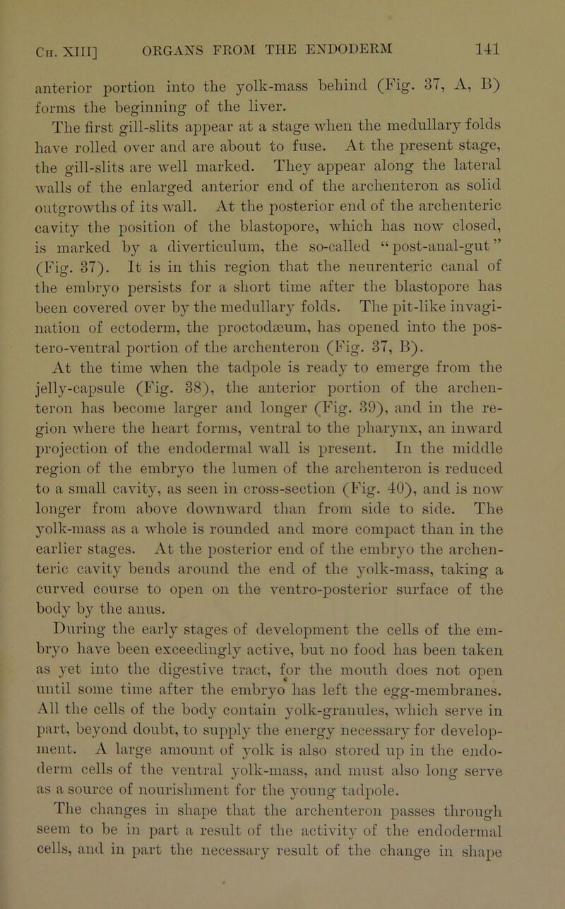 anterior portion into the yolk-inass behind (Fig. 37, A, B) forms the beginning of the liver. The first gill-slits appear at a stage when the medullary folds have rolled over and are about to fuse. At the present stage, the gill-slits are well marked. They appear along the lateral Avails of the enlarged anterior end of the archenteron as solid outgroAvths of its Avail. At the posterior end of the archenteric cavity the j)osition of the blastopore, which has noAv closed, is marked by a diverticulum, the so-called “ post-anal-gut ” (Fig. 37). It is in this region that the neurenteric canal of the embryo persists for a short time after the blastopore has been covered over by the medullary folds. The pit-like invagi- nation of ectoderm, the proctodseum, has opened into the pos- tero-ventral portion of the archenteron (Fig. 37, B). At the time when the tadpole is ready to emerge from the jelly-capsule (Fig. 38), the anterior portion of the archen- teron has become larger and longer (Fig. 39), and in the re- gion AA^iere the heart forms, ventral to the pharynx, an iiiAvard projection of the endodermal Avail is present. In the middle region of the embryo the lumen of the archenteron is reduced to a small cavity, as seen in cross-section (Fig. 40), and is noAV longer from aboA^e dowiiAvard than from side to side. The yolk-mass as a Avhole is rounded and more comj)act than in the earlier stages. At the posterior end of the embryo the archen- teric cavity bends around the end of the yolk-mass, taking a curved course to open on the ventro-posterior surface of the body by the anus. During the early stages of development the cells of the em- bryo have been exceedingly active, but no food has been taken as yet into the digestiA^e tract, for the mouth does not open until some time after the embryo has left the egg-membranes. All the cells of the body contain yolk-granules, Avhich serve in part, beyond doubt, to supply the energy necessary for deA^elop- ment. A large amount of yolk is also stored up in the endo- derm cells of the A'^entral yolk-mass, and must also long serve as a source of nourishment for the young tadpole. The changes in shape that the archenteron passes through seem to be in part a result of the activity of the endodermal cells, and in part the necessary result of the change in shape