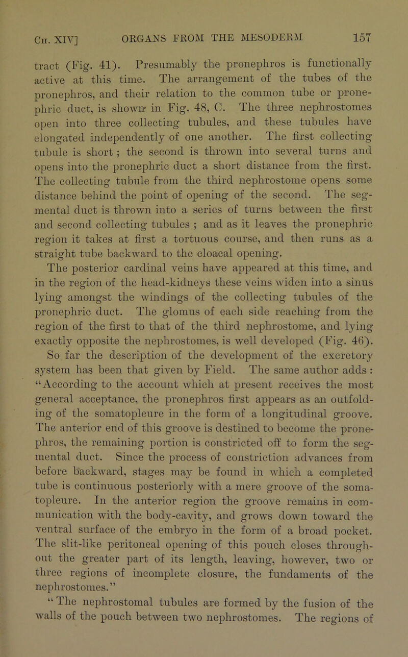 tract (Fig. 41). Presumably the pronephros is functionally active at this time. The arrangement of the tubes of the pronephros, and their relation to the common tube or prone- phric duct, is shown* in Fig. 48, C. The three nephrostomes open into three collecting tubules, and these tubules have elongated independently of one another. The first collecting tubule is short; the second is thrown into several turns and opens into the pronephric duct a short distance from the first. The collecting tubule from the third nephrostome opens some distance behind the point of opening of the second. The seg- mental duct is thrown into a series of turns between the first and second collecting tubules ; and as it leaves the pronephric region it takes at first a tortuous course, and then runs as a straight tube backward to the cloacal opening. The posterior cardinal veins have appeared at this time, and in the region of the head-kidneys these veins widen into a sinus lying amongst the windings of the collecting tubules of the pronephric duct. The glomus of each side reaching from the region of the first to that of the third nephrostome, and lying exactly opposite the nephrostomes, is well developed (Fig. 46). So far the description of the development of the excretory system has been that given by Field. The same author adds : “According to the account which at present receives the most general acceptance, the pronephros first appears as an outfold- ing of the somatopleure in the form of a longitudinal groove. The anterior end of this groove is destined to become the prone- phros, the remaining portion is constricted off to form the seg- mental duct. Since the process of constriction advances from before backward, stages may be found in which a completed tube is continuous posteriorly with a mere groove of the soina- topleure. In the anterior region the groove remains in com- munication with the body-cavity, and grows down toward the ventral surface of the embryo in the form of a broad pocket. The slit-like peritoneal opening of this pouch closes through- out the greater part of its length, leaving, however, two or three regions of incomplete closure, the fundaments of the nephrostomes.” “ The nephrostomal tubules are formed by the fusion of the walls of the pouch between two nephrostomes. The regions of