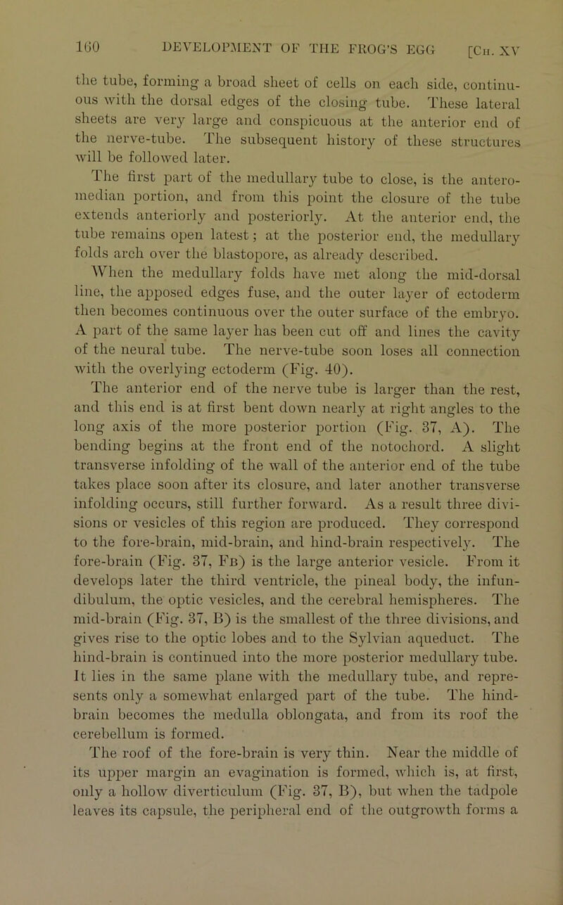 the tube, forming a broad sheet of cells on each side, continu- ous with the dorsal edges of the closing tube. These lateral sheets are very large and conspicuous at the anterior end of the nerve-tube. The subsequent history of these structures will be followed later. The fii'st part of the medullary tube to close, is the antero- median portion, and from this point the closure of the tube extends anteriorly and posteriorly. At the anterior end, the tube remains open latest; at the posterior end, the medullary folds arch over the blastopore, as already described. When the medullary folds have met along the mid-dorsal line, the apposed edges fuse, and the outer layer of ectoderm then becomes continuous over the outer surface of the embryo. A part of the same layer has been cut off and lines the cavity of the neural tube. The nerve-tube soon loses all connection with the overlying ectoderm (Fig. 40). The anterior end of the nerve tube is larger than the rest, and this end is at first bent down nearly at right angles to the long axis of the more posterior portion (Fig. 37, A). The bending begins at the front end of the notochord. A slight transverse infolding of the wall of the anterior end of the tube takes place soon after its closure, and later another transverse infolding occurs, still further forward. As a result three divi- sions or vesicles of this region are produced. They correspond to the fore-brain, mid-brain, and hind-brain respectively. The fore-brain (Fig. 37, Fb) is the large anterior vesicle. From it develops later the third ventricle, the pineal body, the infun- dibulum, the optic vesicles, and the cerebral hemispheres. The mid-brain (Fig. 37, B) is the smallest of the three divisions, and gives rise to the optic lobes and to the Sylvian aqueduct. The hind-brain is continued into the more posterior medullary tube. Jt lies in the same plane with the medullary tube, and repre- sents only a somewhat enlarged part of the tube. The hind- brain becomes the medulla oblongata, and from its roof the cerebellum is formed. The roof of the fore-brain is very thin. Near the middle of its upper margin an evagination is formed, Avhich is, at first, only a hollow diverticulum (Fig. 37, B), but when the tadpole leaves its capsule, the peripheral end of the outgrowth forms a