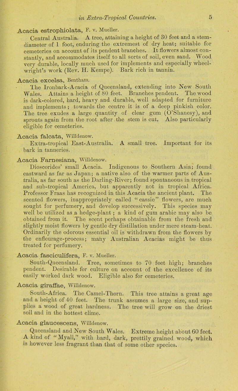 Acacia estrophiolata, F. v. Mueller. Central Australia. A tree, attaining a height of 30 feet and a stem- diameter of 1 foot, enduring the extremest of dry heat; suitable for cemeteries on account of its pendent branches. It flowers almost con- stantly, and accommodates itself to all sorts of soil, even sand. Wood very durable, locally much used for implements and especially wheel- wright’s work (Rev. H. Kempe). Bark rich in tannin. Acacia excelsa, Bentham. The Ironbark-Acacia of Queensland, extending into New South Wales. Attains a height of 80 feet. Branches pendent. The wood is dark-colored, hard, heavy and durable, well adapted for furniture and implements; towards the centre it is of a deep pinkish color. The tree exudes a large quantity of clear gum (O’Shanesy), and sprouts again from the root after the stem is cut. Also particularly eligible for cemeteries. Acacia falcata, Willdenow. Extra-tropical East-Australia. A small tree. Important for its bark in tanneries. Acacia Farnesiana, Willdenow. Dioscorides’ small Acacia. Indigenous to Southern Asia; found eastward as far as Japan; a native also of the warmer parts of Aus- tralia, as far south as the Darling-River; found spontaneous in tropical and sub-tropical America, but apparently not in tropical Africa. Professor Fraas has recognized in this Acacia the ancient plant. The scented flowers, inappropriately called “cassie” flowers, are much sought for perfumery, and develop successively. This species may well be utilized as a hedge-plant; a kind of gum arabic may also be obtained from it. The scent perhaps obtainable from the fresh and slightly moist flowers by gentle dry distillation under mere steam-heat. Ordinarily the odorous essential oil is withdrawn from the flowers by the enfleurage-process; many Australian Acacias might be thus treated for perfumery. Acacia fasciculifera, F. v. Mueller. South-Queensland. Tree, sometimes to 70 feet high; branches pendent. Desirable for culture on account of the excellence of its easily worked dark wood. Eligible also for cemeteries. Acacia giraffae, Willdenow. South-Africa. The Camel-Thorn. This tree attains a great age and a height of 40 feet. The trunk assumes a large size, and sup- plies a wood of great hardness. The tree will grow on the driest soil and in the hottest clime. Acacia glaucescens, Willdenow. Queensland and New South Wales. Extreme height about 60 feet. A kind of “Myall,” with hard, dark, prettily grained wood, which is however less fragrant than that of some other species.