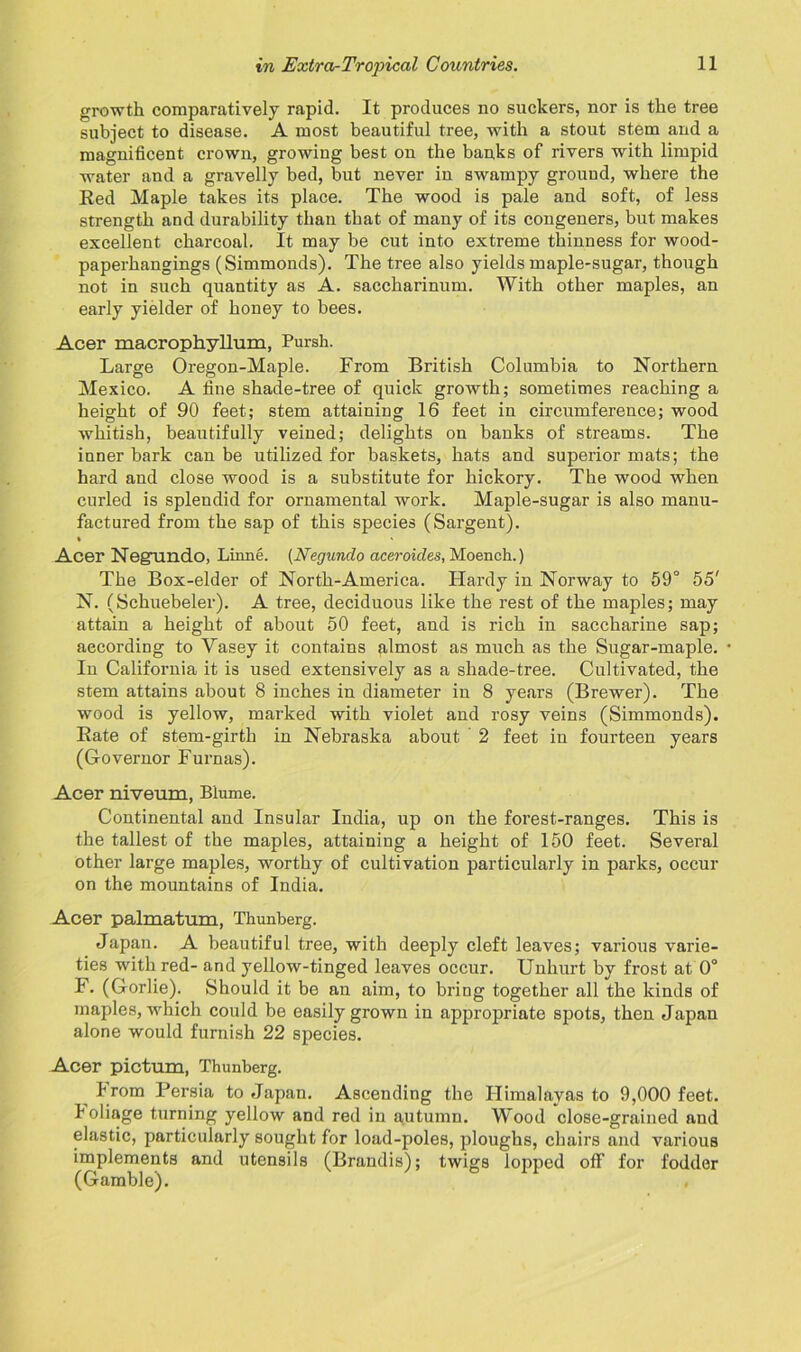 growth comparatively rapid. It produces no suckers, nor is the tree subject to disease. A most beautiful tree, with a stout stem and a magnificent crown, growing best on the banks of rivers with limpid water and a gravelly bed, but never in swampy ground, where the Red Maple takes its place. The wood is pale and soft, of less strength and durability than that of many of its congeners, but makes excellent charcoal. It may be cut into extreme thinness for wood- paperhangings (Simmonds). The tree also yields maple-sugar, though not in such quantity as A. saccharinum. With other maples, an early yielder of honey to bees. Acer macrophyllum, Pursh. Large Oregon-Maple. From British Columbia to Northern Mexico. A fine shade-tree of quick growth; sometimes reaching a height of 90 feet; stem attaining 16 feet in circumference; wood whitish, beautifully veined; delights on banks of streams. The inner bark can be utilized for baskets, hats and superior mats; the hard and close wood is a substitute for hickory. The wood when curled is splendid for ornamental work. Maple-sugar is also manu- factured from the sap of this species (Sargent). • Acer Negfundo, Linne. (Negundo aceroides, Moench.) The Box-elder of North-America. Hardy in Norway to 59° 55' N. (Schuebeler). A tree, deciduous like the rest of the maples; may attain a height of about 50 feet, and is rich in saccharine sap; according to Yasey it contains almost as much as the Sugar-maple. In California it is used extensively as a shade-tree. Cultivated, the stem attains about 8 inches in diameter in 8 years (Brewer). The wood is yellow, marked with violet and rosy veins (Simmonds). Rate of stem-girth in Nebraska about 2 feet in fourteen years (Governor Furnas). Acer nivflnm, Biume. Continental and Insular India, up on the forest-ranges. This is the tallest of the maples, attaining a height of 150 feet. Several other large maples, worthy of cultivation particularly in parks, occur on the mountains of India. Acer palmatum, Thunberg. Japan. A beautiful tree, with deeply cleft leaves; various varie- ties with red- and yellow-tinged leaves occur. Unhurt by frost at 0° F. (Gorlie). Should it be an aim, to bring together all the kinds of maples, which could be easily grown in appropriate spots, then Japan alone would furnish 22 species. Acer picturn, Thunberg. Irom Persia to Japan. Ascending the Himalayas to 9,000 feet. I oliage turning yellow and red in autumn. Wood close-grained and elastic, particularly sought for load-poles, ploughs, chairs and various implements and utensils (Brandis); twigs lopped off for fodder (Gamble).