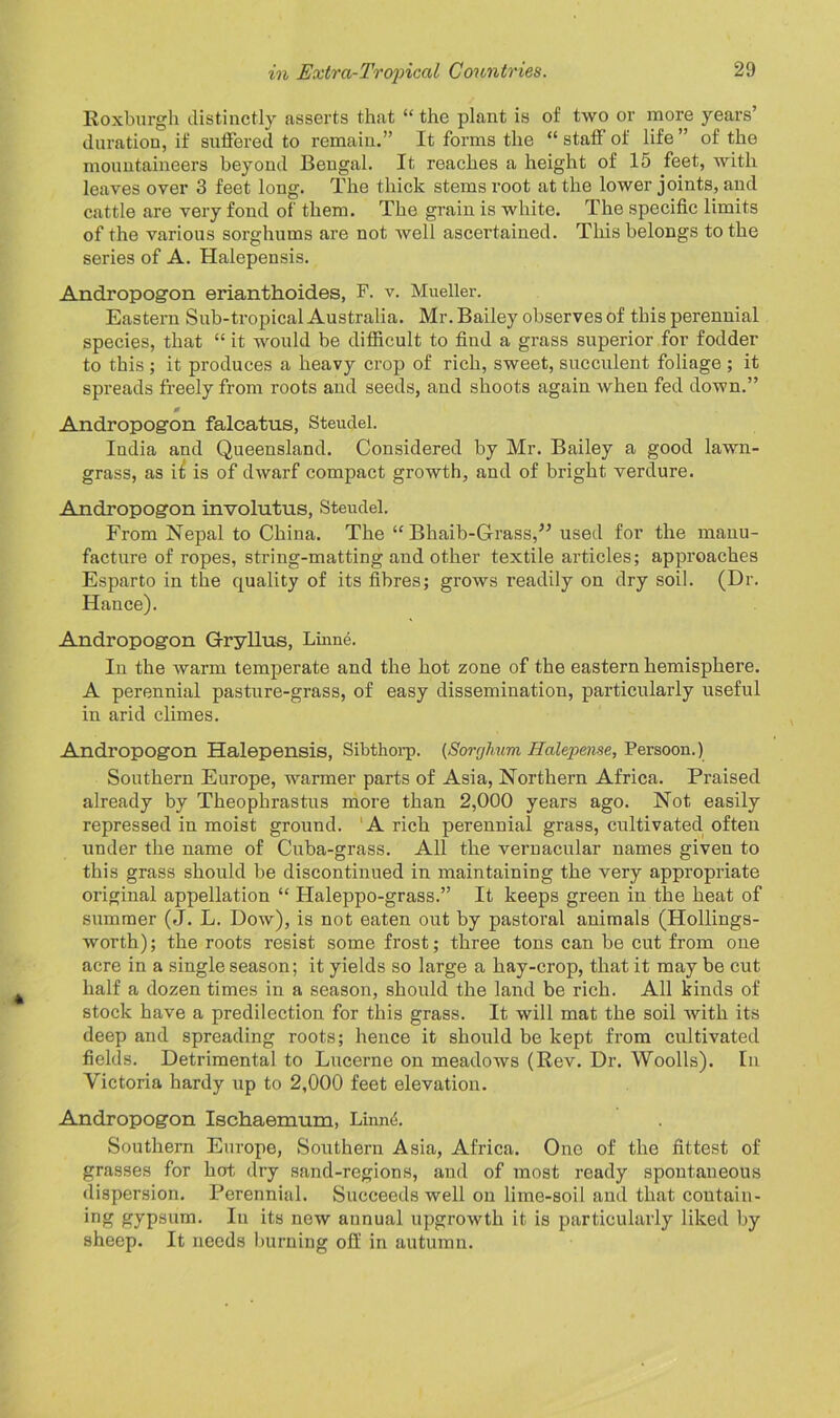 Roxburgh distinctly asserts that “ the plant is of two or more years’ duration, if suffered to remain.” It forms the “ staff of life ” of the mountaineers beyond Bengal. It reaches a height of 15 feet, with leaves over 3 feet long. The thick stems root at the lower joints, and cattle are very fond of them. The grain is white. The specific limits of the various sorghums are not well ascertained. This belongs to the series of A. Halepensis. Andropogon erianthoides, F. v. Mueller. Eastern Sub-tropical Australia. Mr. Bailey observes of this perennial species, that “ it would be difficult to find a grass superior for fodder to this ; it produces a heavy crop of rich, sweet, succulent foliage ; it spreads freely from roots and seeds, and shoots again when fed down.” 0 Andropogon falcatus, Steudel. India and Queensland. Considered by Mr. Bailey a good lawn- grass, as it is of dwarf compact growth, and of bright verdure. Andropogon involutus, Steudel. From Nepal to China. The “ Bhaib-Grass,” used for the manu- facture of ropes, string-matting and other textile articles; approaches Esparto in the quality of its fibres; grows readily on dry soil. (Dr. Hance). Andropogon G-ryllus, Linne. In the warm temperate and the hot zone of the eastern hemisphere. A perennial pasture-grass, of easy dissemination, particularly useful in arid climes. Andropogon Halepensis, Sibthorp. (Sorghum Halepense, Persoon.) Southern Europe, warmer parts of Asia, Northern Africa. Praised already by Theophrastus more than 2,000 years ago. Not easily repressed in moist ground. A rich perennial grass, cultivated often under the name of Cuba-grass. All the vernacular names given to this grass should be discontinued in maintaining the very appropriate original appellation “ Haleppo-grass.” It keeps green in the heat of summer (J. L. Dow), is not eaten out by pastoral animals (Hollings- worth) ; the roots resist some frost; three tons can be cut from one acre in a single season; it yields so large a hay-crop, that it may be cut half a dozen times in a season, should the land be rich. All kinds of stock have a predilection for this grass. It will mat the soil with its deep and spreading roots; hence it should be kept from cultivated fields. Detrimental to Lucerne on meadows (Rev. Dr. Woolls). In Victoria hardy up to 2,000 feet elevation. Andropogon Ischaemum, Linne. Southern Europe, Southern Asia, Africa. One of the fittest of grasses for hot dry sand-regions, and of most ready spontaneous dispersion. Perennial. Succeeds well on lime-soil and that contain- ing gypsum. In its new annual upgrowth it is particularly liked by sheep. It needs burning off in autumn.