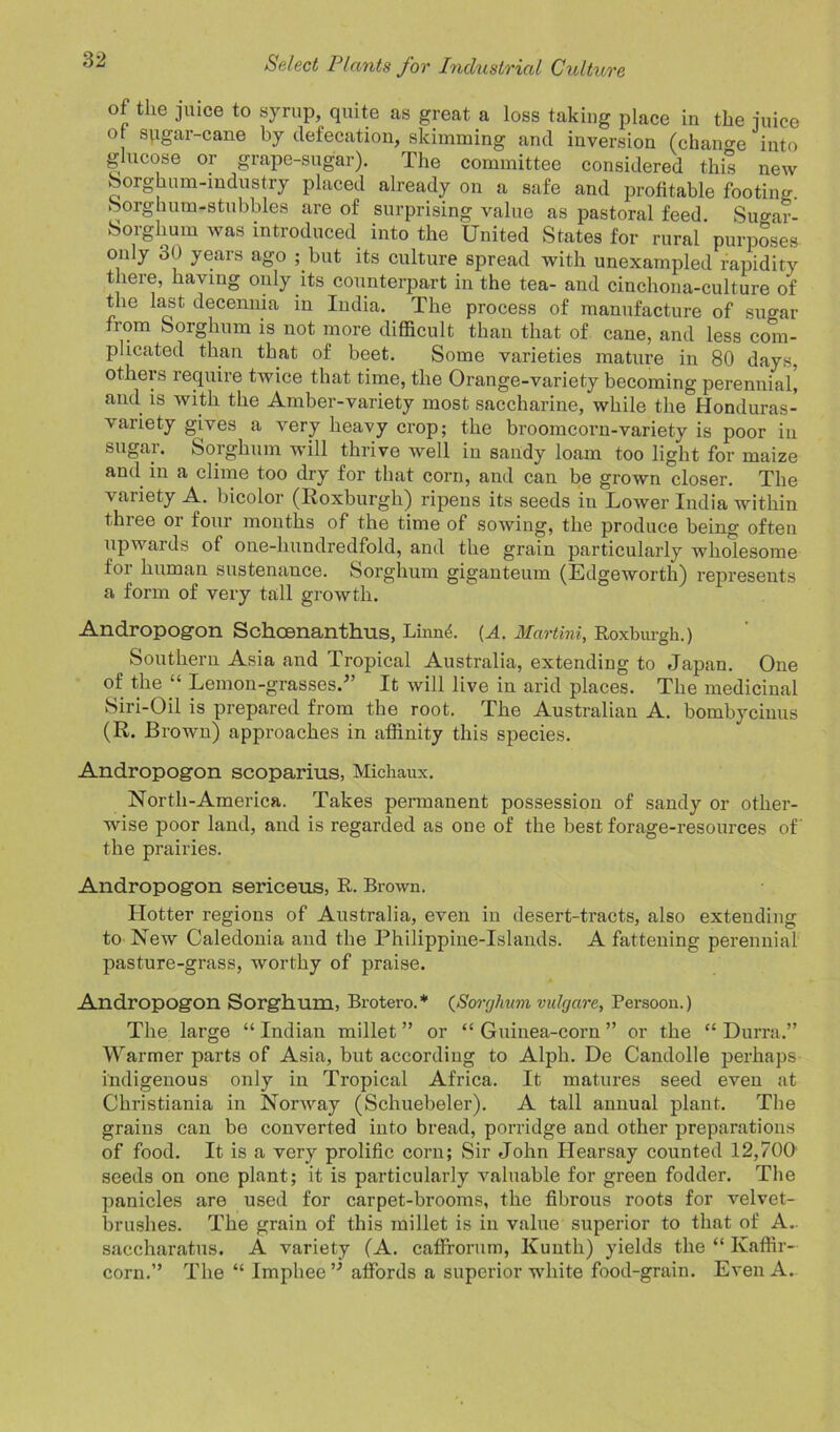 of the juice to syrup, quite as great a loss taking place in the juice o sugar-cane by defecation, skimming and inversion (change into glucose or grape-sugar). The committee considered this new Sorghum-industry placed already on a safe and profitable footing Sorghum-stubbles are of surprising value as pastoral feed. Siumr- Sorghum was introduced into the United States for rural purposes only 30 years ago ; but its culture spread with unexampled rapidity there, having only its counterpart in the tea- and cinchona-culture of the last decenma in India. The process of manufacture of sugar from Sorghum is not more difficult than that of cane, and less com- plicated than that of beet. Some varieties mature in 80 days, others require twice that time, the Orange-variety becoming perennial, and is with the Amber-variety most saccharine, while the Honduras- variety gives a very heavy crop; the broomcorn-variety is poor in sugar. Sorghum will thrive well iu sandy loam too light for maize and in a clime too dry for that corn, and can be grown closer. The variety A. bicolor (Roxburgh) ripens its seeds in Lower India within three oi four months of the time of sowing, the produce being often upwards of one-hundredfold, and the grain particularly wholesome for human sustenance. Sorghum giganteum (Edgeworth) represents a form of very tall growth. Andropogon Schcenanthus, Linn<$. (A. Martini, Roxburgh.) Southern Asia and Tropical Australia, extending to Japan. One of the “ Lemon-grasses.” It will live in arid places. The medicinal Siri-Oil is prepared from the root. The Australian A. bombycinus (R. Brown) approaches in affinity this species. Andropogon scoparius, Michaux. Nortli-America. Takes permanent possession of sandy or other- wise poor land, and is regarded as one of the best forage-resources of the prairies. Andropogon sericeus, R. Brown. Hotter regions of Australia, even in desert-tracts, also extending to New Caledonia and the Philippine-Islands. A fattening perennial pasture-grass, worthy of praise. Andropogon Sorghum, Brotero.* (Sorghum vulgare, Persoon.) The large “ Indian millet ” or “ Guinea-corn ” or the “ Durra.” Warmer parts of Asia, but according to Alph. De Candolle perhaps indigenous only in Tropical Africa. It matures seed even at Christiania in Norway (Schuebeler). A tall annual plant. The grains can be converted into bread, porridge and other preparations of food. It is a very prolific corn; Sir John Hearsay counted 12,700 seeds on one plant; it is particularly valuable for green fodder. The panicles are used for carpet-brooms, the fibrous roots for velvet- brushes. The grain of this millet is in value superior to that of A. saccharatus. A variety (A. caffrorum, Kuuth) yields the “ Kaffir- corn.” The “ Imphee” affords a superior white food-grain. Even A.