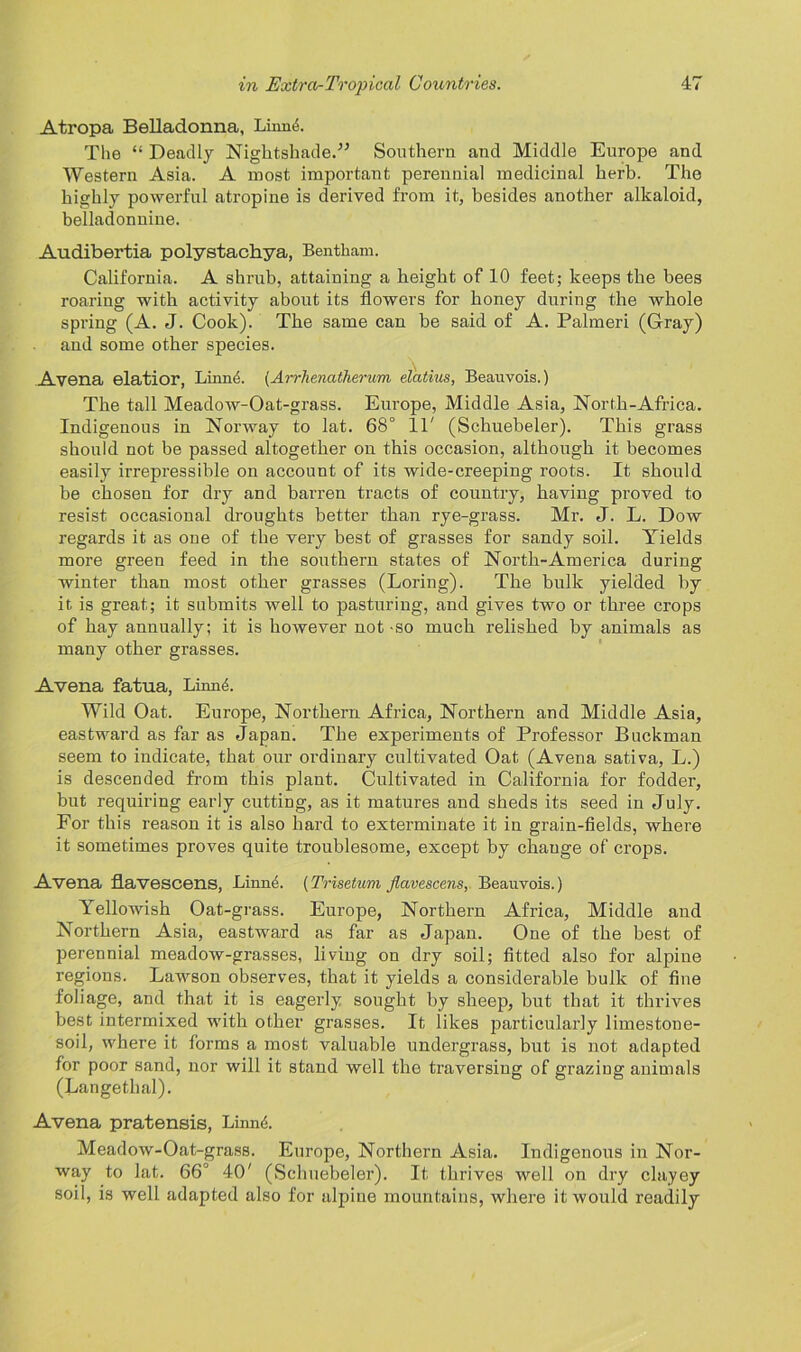 Atropa Belladonna, Limnh The “ Deadly Nightshade.” Southern and Middle Europe and Western Asia. A most important perennial medicinal herb. The highly powerful atropine is derived from it, besides another alkaloid, belladonnine. Audibertia polystachya, Bentkam. California. A shrub, attaining a height of 10 feet; keeps the bees roaring with activity about its flowers for honey during the whole spring (A. J. Cook). The same can be said of A. Palmeri (Gray) and some other species. Avena elatior, Linn4. (Arrhenatherum el'atius, Beauvois.) The tall Meadow-Oat-grass. Europe, Middle Asia, North-Africa. Indigenous in Norway to lat. 68° IT (Schuebeler). This grass should not be passed altogether on this occasion, although it becomes easily irrepressible on account of its wide-creeping roots. It should be chosen for dry and barren tracts of country, having proved to resist occasional droughts better than rye-grass. Mr. J. L. Dow regards it as one of the very best of grasses for sandy soil. Yields more green feed in the southern states of North-America during winter than most other grasses (Loring). The bulk yielded by it is great; it submits well to pasturing, and gives two or three crops of hay annually; it is however not so much relished by animals as many other grasses. Avena fatua, Linni. Wild Oat. Europe, Northern Africa, Northern and Middle Asia, eastward as far as Japan. The experiments of Professor Buckman seem to indicate, that our ordinary cultivated Oat (Avena sativa, L.) is descended from this plant. Cultivated in California for fodder, but requiring early cutting, as it matures and sheds its seed in July. For this reason it is also hard to exterminate it in grain-fields, where it sometimes proves quite troublesome, except by change of crops. Avena flavescens, Linne. (Trisetum flavescens, Beauvois.) Yellowish Oat-grass. Europe, Northern Africa, Middle and Northern Asia, eastward as far as Japan. One of the best of perennial meadow-grasses, living on dry soil; fitted also for alpine regions. Lawson observes, that it yields a considerable bulk of fine foliage, and that it is eagerly sought by sheep, but that it thrives best intermixed with other grasses. It likes particularly limestone- soil, where it forms a most valuable undergrass, but is not adapted for poor sand, nor will it stand well the traversing of grazing animals (Langetlial). Avena pratensis, Linn<5. Meadow-Oat-grass. Europe, Northern Asia. Indigenous in Nor- way to lat. 66° 40' (Schuebeler). It thrives well on dry clayey soil, is well adapted also for alpine mountains, where it would readily