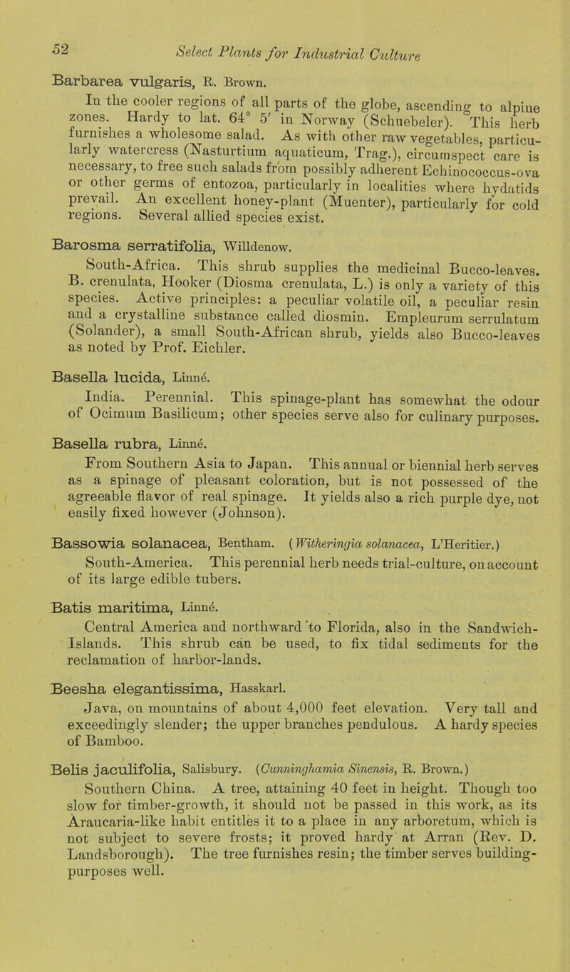 Barbarea vulgaris, R. Brown. In the cooler regions of all parts of the globe, ascending to alpine zones. Hardy to lat. 64° 5' in Norway (Schuebeler). This herb furnishes a wholesome salad. As with other raw vegetables, particu- larly watercress (Nasturtium aquaticum, Trag.), circumspect care is necessary, to free such salads from possibly adherent Echinococcus-ova or other germs of entozoa, particularly in localities where hydatids prevail. An excellent honey-plant (Muenter), particularly for cold regions. Several allied species exist. Barosma serratifolia, Willdenow. South-Africa. I his shrub supplies the medicinal Bucco-leaves. B. crenulata, Hooker (Diosma crenulata, L.) is only a variety of this species. Active principles: a peculiar volatile oil, a peculiar resin and a crystalline substance called diosmiu. Empleurum serrulatum (Solander), a small South-African shrub, yields also Bucco-leaves as noted by Prof. Eichler. Basella lucida, Linn4. India. Perennial. This spinage-plant has somewhat the odour of Ocimum Basilicum; other species serve also for culinary purposes. Basella rubra, Liitne. From Southern Asia to Japan. This annual or biennial herb serves as a spinage of pleasant coloration, but is not possessed of the agreeable flavor of real spinage. It yields also a rich purple dye, not easily fixed however (Johnson). Bassowia solanacea, Bentham. [Witheringia solanacea, L’Heritier.) South-America. This perennial herb needs trial-culture, on account of its large edible tubers. Batis maritima, Linn6. Central America and northward to Florida, also in the Sandwich- Islands. This shrub can be used, to fix tidal sediments for the reclamation of harbor-lands. Beesba elegantissima, Hasskarl. Java, on mountains of about 4,000 feet elevation. Very tall and exceedingly slender; the upper branches pendulous. A hardy species of Bamboo. Belis jaculifolia, Salisbury. (Cunninghamia Sinensis, R. Brown.) Southern China. A tree, attaining 40 feet in height. Though too slow for timber-growth, it should not be passed in this work, as its Araucaria-like habit entitles it to a place in any arboretum, which is not subject to severe frosts; it proved hardy at Arran (Rev. D. Landsborougli). The tree furnishes resin; the timber serves building- purposes well.