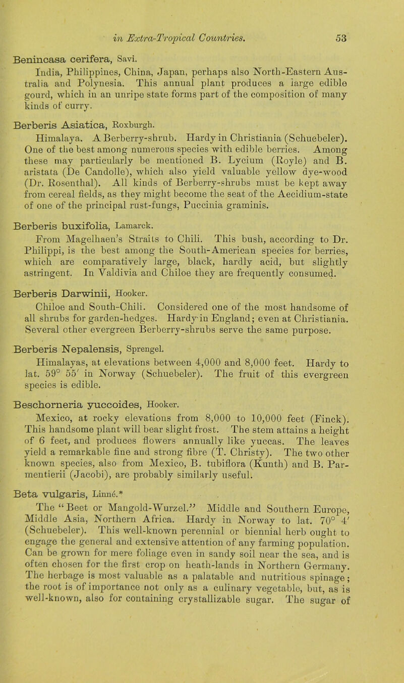 Benincasa cerifera, Savi. India, Philippines, China, Japan, perhaps also North-Eastern Aus- tralia and Polynesia. This annual plant produces a large edible gourd, which in an unripe state forms part of the composition of many kinds of curry. Berberis Asiatica, Roxburgh. Himalaya. A Berberry-shrub. Hardy in Christiania (Schuebeler). One of the best among numerous species with edible berries. Among these may particularly be mentioned B. Lycium (Royle) and B. aristata (De Candolle), which also yield valuable yellow dye-wood (Dr. Rosenthal). All kinds of Berberry-shrubs must be kept away from cereal fields, as they might become the seat of the Aecidium-state of one of the principal rust-fungs, Puccinia graminis. Berberis buxifolia, Lamarck. From Magelhaen’s Straits to Chili. This bush, according to Dr. Philippi, is the best among the South-American species for berries, which are comparatively large, black, hardly acid, but slightly astringent. In Valdivia and Chiloe they are frequently consumed. Berberis Darwinii, Hooker. Chiloe and South-Chili. Considered one of the most handsome of all shrubs for garden-hedges. Hardy in England; even at Christiania. Several other evergreen Berberry-shrubs serve the same purpose. Berberis Nepalensis, Sprengel. Himalayas, at elevations between 4,000 and 8,000 feet. Hardy to lat. 59° 55' in Norway (Schuebeler). The fruit of this evergreen species is edible. Beschorneria yuccoides, Hooker. Mexico, at rocky elevations from 8,000 to 10,000 feet (Finck). This handsome plant will bear slight frost. The stem attains a height of 6 feet, and produces flowers annually like yuccas. The leaves yield a remarkable fine and strong fibre (T. Christy). The two other known species, also from Mexico, B. tubiflora (Kunth) and B. Par- mentierii (Jacobi), are probably similarly useful. Beta vulgaris, Linn<§.* The “Beet or Mangold-Wurzel.” Middle and Southern Europe, Middle Asia, Northern Africa. Hardy in Norway to lat. 70° 4' (Schuebeler). This well-kuown perennial or biennial herb ought to engage the general and extensive attention of any farmiug population. Can be grown for mere foliage even in sandy soil near the sea, and is often chosen for the first crop on heath-lands in Northern Germany. The herbage is most valuable as a palatable and nutritious spinage; the root is of importance not only as a culinary vegetable, but, as is well-known, also for containing crystallizable sugar. The sugar of