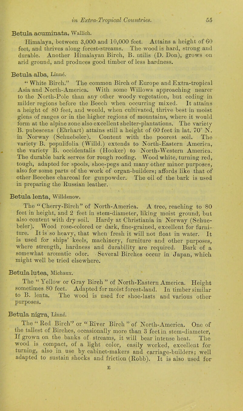 Betula acuminata, Wallich. Himalaya, between 3,000 and 10,000 feet. Attains a height of 60 feet, and thrives along forest-streams. The wood is hard, strong and durable. Another Himalayan Birch, B. utilis (D. Don), grows on arid ground, and produces good timber of less hardness. Betula alba, Liime. “ White Birch.” The common Birch of Europe and Extra-tropical Asia and North-America. With, some Willows approaching nearer to the North-Pole than any other woody vegetation, but ceding in milder regions before the Beech when occurring mixed. It attains a height of 80 feet, and would, when cultivated, thrive best in moist glens of ranges or in the higher regions of mountains, where it would form at the alpine zone also excellent shelter-plantations. The variety B. pubescens (Ehrhart) attains still a height of 60 feet in lat. 70° N. in Norway (Schuebeler). Content with the poorest soil. The variety B. populifolia (WTilld.) extends to North-Eastern America, the variety B. occidentalis (Hooker) to North-Western America. The durable bark serves for rough roofing. Wood white, turning red, tough, adapted for spools, shoe-pegs and many other minor purposes, also for some parts of the work of organ-builders; affords like that of other Beeches charcoal for gunpowder. The oil of the bark is used in preparing the Russian leather. Betula lenta, Willdenow. The “ Cherry-Birch” of North-America. A tree, reaching to 80 feet in height, and 2 feet in stem-diameter, liking moist ground, but also content with dry soil. Hardy at Christiania in Norway (Schue- beler). Wood rose-colored or dark, fine-grained, excellent for furni- ture. It is so heavy, that when fresh it will not float in water. It is used for ships’ keels, machinery, furniture and other purposes, where strength, hardness and durability are required. Bark of a somewhat aromatic odor. Several Birches occur in Japan, which might well be tried elsewhere. Betula lutea, Michaux. The “Yellow or Gray Birch” of North-Eastern America. Height sometimes 80 feet. Adapted for moist forest-land. In timber similar to B. lenta. The wood is used for shoe-lasts and various other purposes. Betula nigra, Linn<k The “ Red Birch” or “ River Birch ” of North-America. One of the tallest of Birches, occasionally more than 3 feet in stem-diameter, If grown on the banks of streams, it will bear intense heat. The wood is compact, of a light color, easily worked, excellent for turning, also in use by cabinet-makers and carriage-builders; well adapted to sustain shocks and friction (Robb). It is also used for E