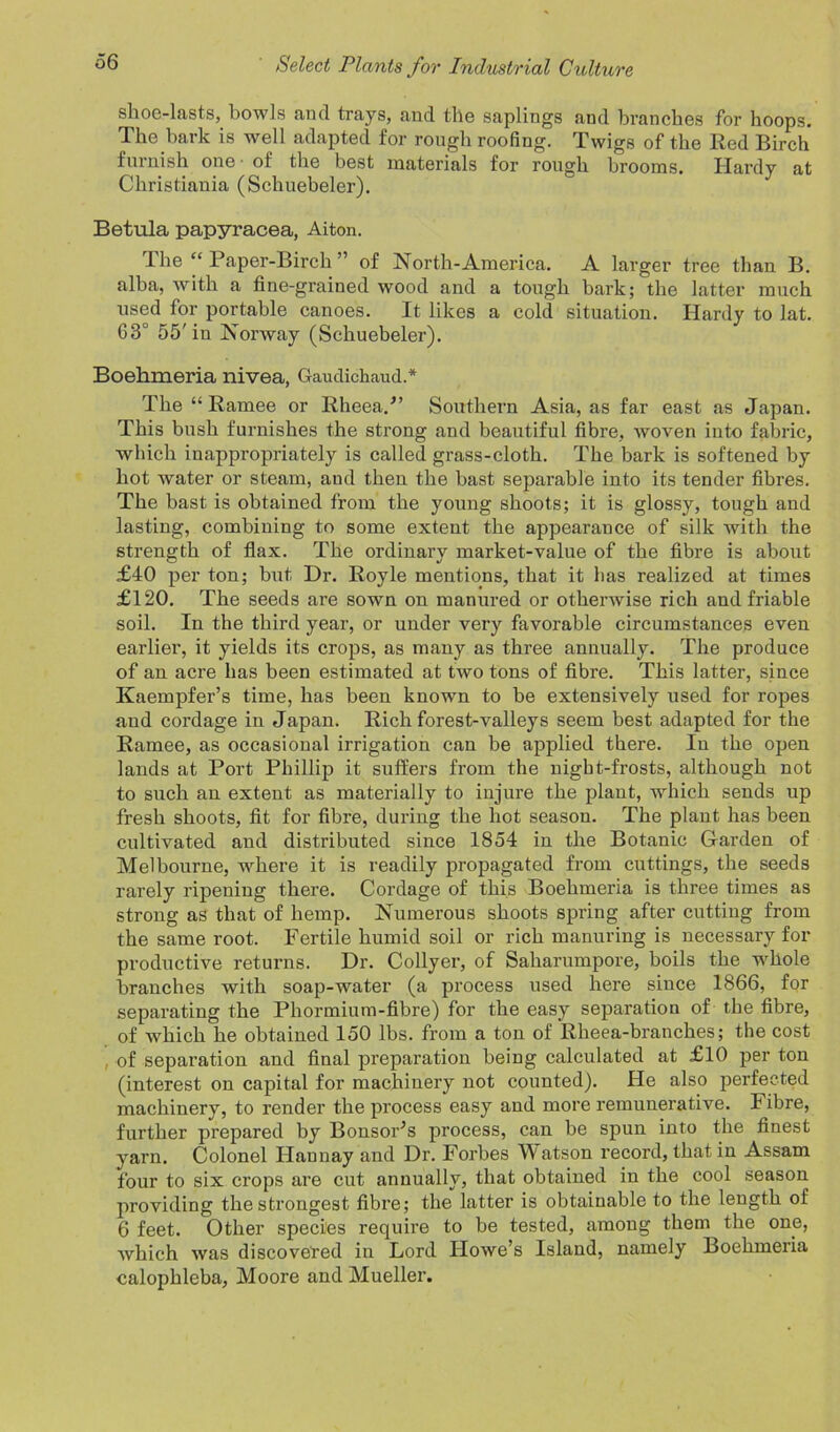 shoe-lasts, bowls and trays, and the saplings and branches for hoops. The bark is well adapted for rough roofing. Twigs of the Red Birch furnish one of the best materials for rough brooms. Hardy at Christiania (Schuebeler). Betula papyracea, Aiton. The “ Paper-Birch ” of North-America. A larger tree than B. alba, with a fine-grained wood and a tough bark; the latter much used for portable canoes. It likes a cold situation. Hardy to lat. G3° 55'in Norway (Schuebeler). Boehmeria nivea, Gaudichaud.* The “ Ramee or RheeaP’ Southern Asia, as far east as Japan. This bush furnishes the strong and beautiful fibre, woven into fabric, which inappropriately is called grass-cloth. The bark is softened by hot water or steam, and then the bast separable into its tender fibres. The bast is obtained from the young shoots; it is glossy, tough and lasting, combining to some extent the appearance of silk with the strength of flax. The ordinary market-value of the fibre is about £40 per ton; but Dr. Royle mentions, that it has realized at times £120. The seeds are sown on manured or otherwise rich and friable soil. In the third year, or under very favorable circumstances even earlier, it yields its crops, as many as three annually. The produce of an acre has been estimated at two tons of fibre. This latter, since Kaempfer’s time, has been known to be extensively used for ropes and cordage in Japan. Rich forest-valleys seem best adapted for the Ramee, as occasional irrigation can be applied there. In the open lands at Port Phillip it suffers from the night-frosts, although not to such an extent as materially to injure the plant, which sends up fresh shoots, fit for fibre, during the hot season. The plant has been cultivated and distributed since 1854 in the Botanic Garden of Melbourne, where it is readily propagated from cuttings, the seeds rarely ripening there. Cordage of this Boehmeria is three times as strong as that of hemp. Numerous shoots spring after cutting from the same root. Fertile humid soil or rich manuring is necessary for productive returns. Dr. Collyer, of Saharumpore, boils the ■whole branches with soap-water (a process used here since 1866, for separating the Phormium-fibre) for the easy separation of the fibre, of which he obtained 150 lbs. from a ton of Rheea-branches; the cost , of separation and final preparation being calculated at £10 per ton (interest on capital for machinery not counted). He also perfected machinery, to render the process easy and more remunerative. Fibre, further prepared by BonsoPs process, can be spun into the finest yarn. Colonel Haunay and Dr. Forbes Matson record, that in Assam four to six crops are cut annually, that obtained in the cool season providing the strongest fibre; the latter is obtainable to the length of 6 feet. Other species require to be tested, among them the one, which was discovered in Lord Howe’s Island, namely Boehmeria calophleba, Moore and Mueller.