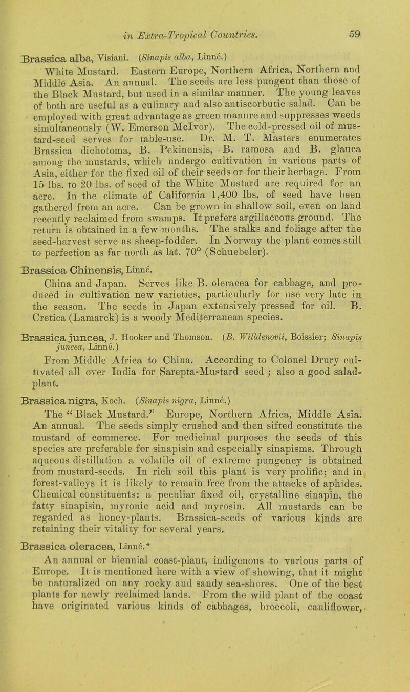 Brassica alba, Visiani. (Sinapis alba, Linne.) White Mustard. Eastern Europe, Northern Africa, Northern and Middle Asia. An annual. The seeds are less pungent than those of the Black Mustard, but used in a similar manner. The young leaves of both are useful as a culinary and also antiscorbutic salad. Can be employed with great advantage as green manure and suppresses weeds simultaneously (W. Emerson Mclvor). The cold-pressed oil of mus- tard-seed serves for table-use. Dr. M. T. Masters enumerates Brassica dichotoma, B. Pekinensis, B. ramosa and B. glauca among the mustards, which undergo cultivation in various parts of Asia, either for the fixed oil of their seeds or for their herbage. From 15 lbs. to 20 lbs. of seed of the White Mustard are required for an acre. In the climate of California 1,400 lbs. of seed have been gathered from an acre. Can be grown in shallow soil, even on land recently reclaimed from swamps. It prefers argillaceous ground. The return is obtained in a few months. The stalks and foliage after the seed-harvest serve as sheep-fodder. In Norway the plant comes still to perfection as far north as lat. 70° (Schuebeler). Brassica Chinensis, Linne. China and Japan. Serves like B. oleracea for cabbage, and pro- duced in cultivation new varieties, particularly for use very late in the season. The seeds in Japan extensively pressed for oil. B. Cretica (Lamarck) is a woody Mediterranean species. Brassica juncea, j. Hooker and Thomson. (B. Willdenovii, Boissier; Sinapis juncea, Linne.) From Middle Africa to China. According to Colonel Drury cul- tivated all over India for Sarepta-Mustard seed ; also a good salad- plant. Brassica nigra, Koch. (Sinapis nigra, Linne.) The “ Black Mustard/’ Europe, Northern Africa, Middle Asia. An annual. The seeds simply crushed and then sifted constitute the mustard of commerce. For medicinal purposes the seeds of this species are preferable for sinapisin and especially sinapisms. Through aqueous distillation a volatile oil of extreme pungency is obtained from mustard-seeds. In rich soil this plant is very prolific; and in forest-valleys it is likely to remain free from the attacks of aphides. Chemical constituents: a peculiar fixed oil, crystalline sinapin, the fatty sinapisin, myronic acid and myrosin. All mustards can be regarded as honey-plants. Brassica-seeds of various kinds are retaining their vitality for several years. Brassica oleracea, Linne.* An annual or biennial coast-plant, indigenous to various parts of Europe. It is mentioned here with a view of showing, that it might be naturalized on any rocky and sandy sea-shores. One of the best plants for newly reclaimed lands. From the wild plant of the coast have originated various kinds of cabbages, broccoli, cauliflower,.