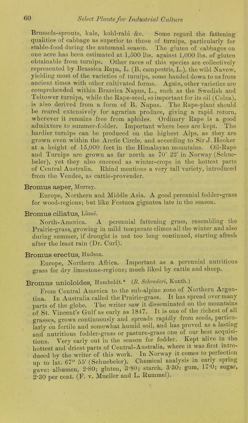 Bnissels-sprouts, kale, kokl-rabi &c. Some regard the fattening qualities of cabbage as superior to those of turnips, particularly for stable-food during the autumnal season. The gluten of cabbages on one acre has been estimated at 1,500 lbs. against 1,000 lbs. of gluten obtainable from turnips. Other races of this species are collectively represented by Brassica Rapa, L. (B. campestris, L.), the wild Navew, yielding most of the varieties of turnips, some handed down to us from ancient times with other cultivated forms. Again, other varieties are comprehended within Brassica Napus, L., such as the Swedish and Teltower turnips, while the Rape-seed, so important for its oil (Colza), is also derived from a form of B. Napus. The Rape-plant should be reared extensively for agrarian produce, giving a rapid return, wherever it remains free from aphides. Ordinary Rape is a good admixture to summer-fodder. Important where bees are kept. The hardier turnips can be produced on the highest Alps, as they are grown even within the Arctic Circle, and according to Sir J. Hooker at a height of 15,000 feet in the Himalayan mountains. Oil-Rape and Turnips are grown as far north as 70° 22'in Norway (Scliue- beler), yet they also succeed as winter-crops in the hottest parts of Central Australia. Rhind mentions a very tall variety, introduced from the Vendee, as cattle-provender. Bromus asper, Murray. Europe, Northern and Middle Asia. A good perennial fodder-grass for wood-regions; but like Festuca gigantea late in the season. Bromus ciliatus, Lhme. North-America. A perennial fattening grass, resembling the Prairie-grass, growing in mild temperate climes all the winter and also during summer, if drought is not too long continued, starting afresh after the least rain (Dr. Curl). Bromus erectus, Hudson. Europe, Northern Africa. Important as a perennial nutritious grass for dry limestone-regions; much liked by cattle and sheep. Bromus umoloid.es, Humboldt.* (B. Schraderi, Kunth.) From Central America to the sub-alpine zone of Northern Argen- tina. In Australia called the Prairie-grass. It has spread over marny parts of the globe. The writer saw it disseminated on the mountains of St. Vincent’s Gulf as early as 1847. It is one of the richest of all grasses, grows continuously and spreads rapidly from seeds, particu- larly on fertile and somewhat humid soil, and has proved as a lasting and nutritious fodder-grass or pasture-grass one of our best acquisi- tions. Very early out in the season for fodder. Kept alive in the hottest and driest parts of Central-Australia, where it was first intro- duced by the writer of this work. In Norway it comes to perfection up to lat. 67° 55' (Schuebeler). Chemical analysis in early spring gave: albumen, 2-80; gluten, 3-80; starch, 3'30; gnm, IrO; sugar, 2-30 per cent. (F. v. Mueller and L. Rummel).