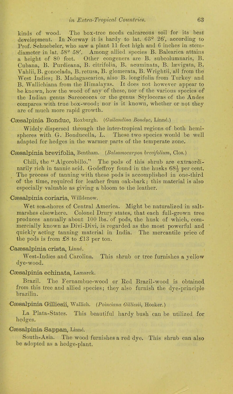 kinds of wood. The box-tree needs calcareous soil for its best development. In Norway it is hardy to lat. 63° 26', according to Prof. Schnebeler, who saw a plant 11 feet high and 6 inches in stem- diameter in lat. 58° 58'. Among allied species B. Balearica attains a height of 80 feet. Other congeners are B. subcolumnaris, B. Cubana, B. Purdieana, B. citrifolia, B. acuminata, B. lmvigata, B. Vahlii, B. gonoclada, B. retusa, B. glomerata, B. Wrightii, ail from the West Indies; B. Madagascarica, also B. longifolia from Turkey and B. Wallichiana from the Himalayas. It does not however appear to be known, how the wood of any of these, nor of the various species of the Indian genns Sarcococca or the genus Styloceras of the Andes compares with true box-wood; nor is it known, whether or not they are of much more rapid growth. Csesalpinia Bonduc, Koxburgh. (Guilandina Bonduc, Linnd.) Widely dispersed through the inter-tropical regions of both hemi- spheres with G-. Bonducella, L. These two species would be well adapted for hedges in the warmer parts of the temperate zone. Csesalpinia brevifolia, Bentham. (Balsamocarpon brevifolmm, Clos.) Chili, the “ Algorobillo.” The pods of this shrub are extraordi- narily rich in tannic acid. Godeffroy found in the husks 68^ per cent. The process of tanning with these pods is accomplished in one-third of the time, required for leather from oak-bark; this material is also especially valuable as giving a bloom to the leather. Csesalpinia coriaria, Willdenow. Wet sea-shores of Central America. Might be naturalized in salt- marshes elsewhere. Colonel Drury states, that each full-grown tree produces annually about 100 lbs. of pods, the husk of which, com- mercially known as Divi-Divi, is regarded as the most powerful and quickly acting tanning material in India. The mercantile price of the pods is from £8 to £13 per ton. Casesalpinia crista, Limnh West-Indies and Caroliua. This shrub or tree furnishes a yellow dye-wood. Csesalpinia echinata, Lamarck. Brazil. The Fernambuc-wood or Bed Brazil-wood is obtained from this tree and allied species; they also furnish the dye-principle brazilin. Csesalpinia Gilliesii, Wallich. (Poinciana Gilliesii, Hooker.) La Plata-States. This beautiful hardy bush can be utilized for hedges. Csesalpinia Sappan, Linn4. South-Asia. The wood furnishes a red dye. This shrub can also be adopted as a hedge-plant.