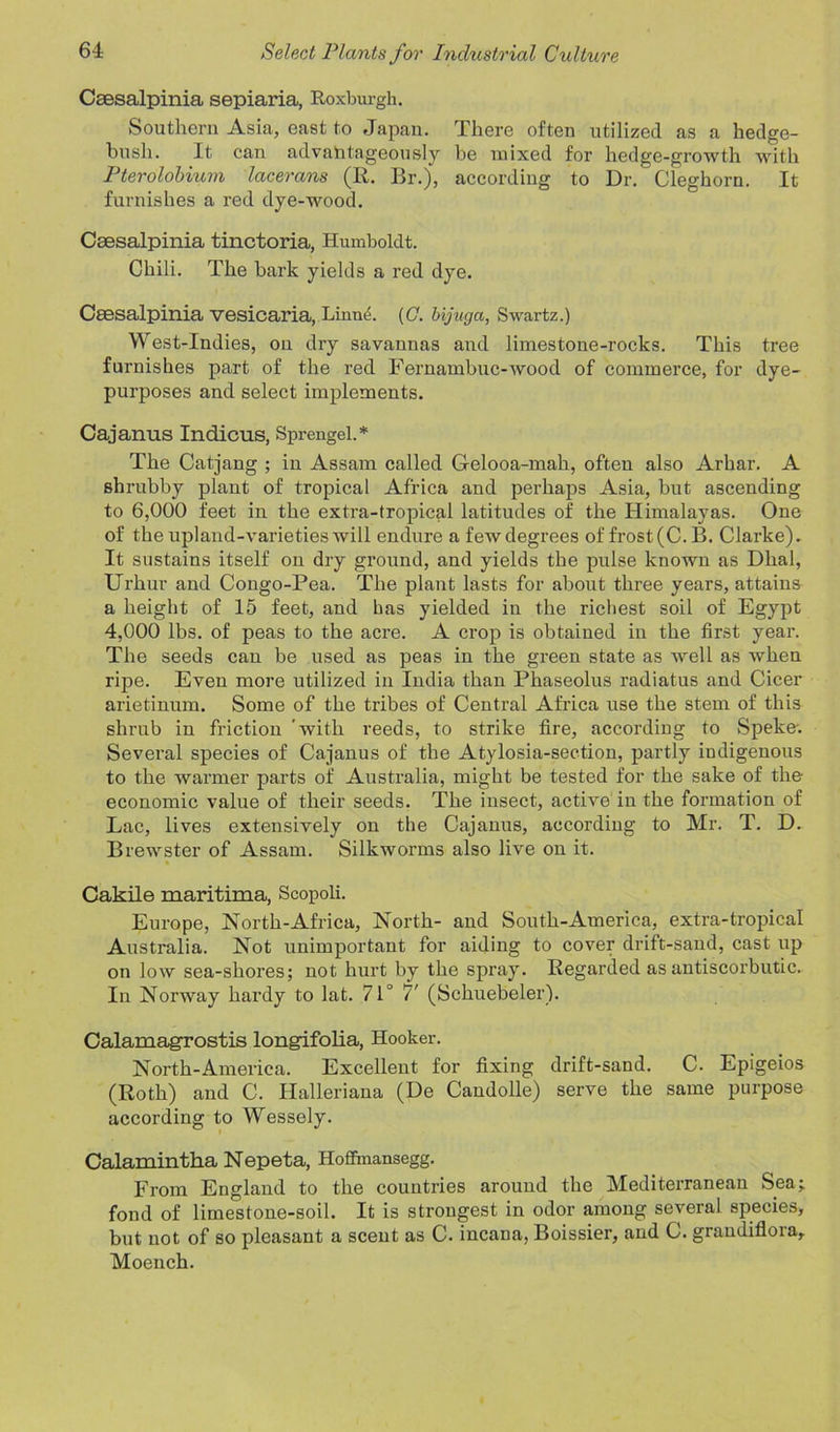 Csesalpinia sepiaria, Roxburgh. Southern Asia, east to Japan. There often utilized as a hedge- hush. It can advantageously be mixed for hedge-growth with Pterolobium lacerans (R. Br.), according to Dr. Cleghorn. It furnishes a red dye-wood. Csesalpinia tinctoria, Humboldt. Chili. The bark yields a red dye. Csesalpinia vesicaria, Liuue. (C. bijuga, Swartz.) West-Indies, on dry savannas and limestone-rocks. This tree furnishes part of the red Fernambuc-wood of commerce, for dye- purposes and select implements. Cajanus Indicus, Sprengel.* The Catjang ; in Assam called Gelooa-mah, often also Arhar. A shrubby plant of tropical Africa and perhaps Asia, but ascending to 6,000 feet in the extra-tropical latitudes of the Himalayas. One of the upland-varieties will endure a few degrees of frost(C. B. Clarke). It sustains itself on dry ground, and yields the pulse known as Dhal, Urhur and Congo-Pea. The plant lasts for about three years, attains a height of 15 feet, and has yielded in the richest soil of Egypt 4,000 lbs. of peas to the acre. A crop is obtained in the first year. The seeds can be used as peas in the green state as well as when ripe. Even more utilized in India than Phaseolus radiatus and Cicer arietinum. Some of the tribes of Central Africa use the stem of this shrub in friction 'with reeds, to strike fire, according to Speke: Several species of Cajanus of the Atylosia-section, partly indigenous to the warmer parts of Australia, might be tested for the sake of the economic value of their seeds. The insect, active in the formation of Lac, lives extensively on the Cajanus, according to Mr. T. D. Brewster of Assam. Silkworms also live on it. Cakile maritima, Scopoli. Europe, North-Africa, North- and South-America, extra-tropical Australia. Not unimportant for aiding to cover drift-sand, cast up on low sea-shores; not hurt by the spray. Regarded as antiscorbutic. In Norway hardy to lat. 71° 7' (Schuebeler). Calamagrostis longifolia, Hooker. North-America. Excellent for fixing drift-sand. C. Epigeios (Roth) and C. Halleriana (De Candolle) serve the same purpose according to Wessely. Calamintha Nepeta, Hoffinansegg. From England to the countries around the Mediterranean Sea; fond of limestone-soil. It is strongest in odor among several species, but not of so pleasant a scent as C. incana, Boissiei’, and C. graudiflora, Moench.