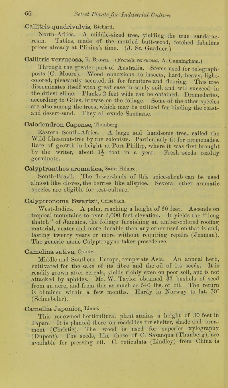 Callitris quadrivalvis, Richard. North-Africa. A middle-sized tree, yielding the true sandarac- lesin. 1 aides, made of the mottled butt-wood, fetched fabulous prices already at Plinius’s time. (J. St. Gardner.) Callitris verrucosa, R. Brown. (Frenela vermcosa, A. Cunningham.) Through the greater part of Australia. Stems used for telegraph- posts (C. Moore). Wood obnoxious to insects, hard, heavy, light- colored, pleasantly scented, fit for furniture and flooring. This tree disseminates itself with great ease in sandy soil, and will succeed in the driest clime. Planks 2 feet wide can be obtained. Dromedaries, according to Giles, browse on the foliage. Some of the other species are also among the trees, which may be utilized for binding the coast- and desert-sand. They all exude Sandarac. Calodendron Capense, Thunberg. Eastern South-Africa. A large and handsome tree, called the Wild Chestnut-tree by the colonists. Particularly fit for promenades. Rate of growth in height at Port Phillip, where it was first brought by the writer, about 1-|- foot in a year. Fresh seeds readily germinate. Calyptranthes aromatica, Saint Hilaire. South-Brazil. The flower-buds of this spice-shrub can be used almost like cloves, the berries like allspice. Several other aromatic species are eligible for test-culture. Calyptronoma Swartzii, Grisebach. West-Indies. A palm, reaching a height of 60 feet. Ascends on tropical mountains to over 3,000 feet elevation. It yields the “ long thatch” of Jamaica, the foliage furnishing an amber-colored roofing material, neater and more durable than any other used on that island, lasting twenty years or more without requiring repairs (Jenman). The generic name Calyptrogyne takes precedence. Camelina sativa, Crantz. Middle and Southern Europe, temperate Asia. An annual herb, cultivated for the sake of its fibre and the oil of its seeds. It is readily grown after cereals, yields richly even on poor soil, and is not attacked by aphides. Mr. W. Taylor obtained 32 bushels of seed from an acre, and from this as much as 540 lbs. of oil. The return is obtained within a few months. Hardy in Norway to lat. 703 (Schuebeler). Camellia Japonica, Lhuie. This renowned horticultural plant attains a height of 30 feet in Japan. It is planted there on roadsides for shelter, shade and orna- ment (Christie). The wood is used for superior xylography (Dupont). The seeds, like those of C. Sasanqua (Thunberg), are available for pressing oil. C. reticulata (Lindley) from China is