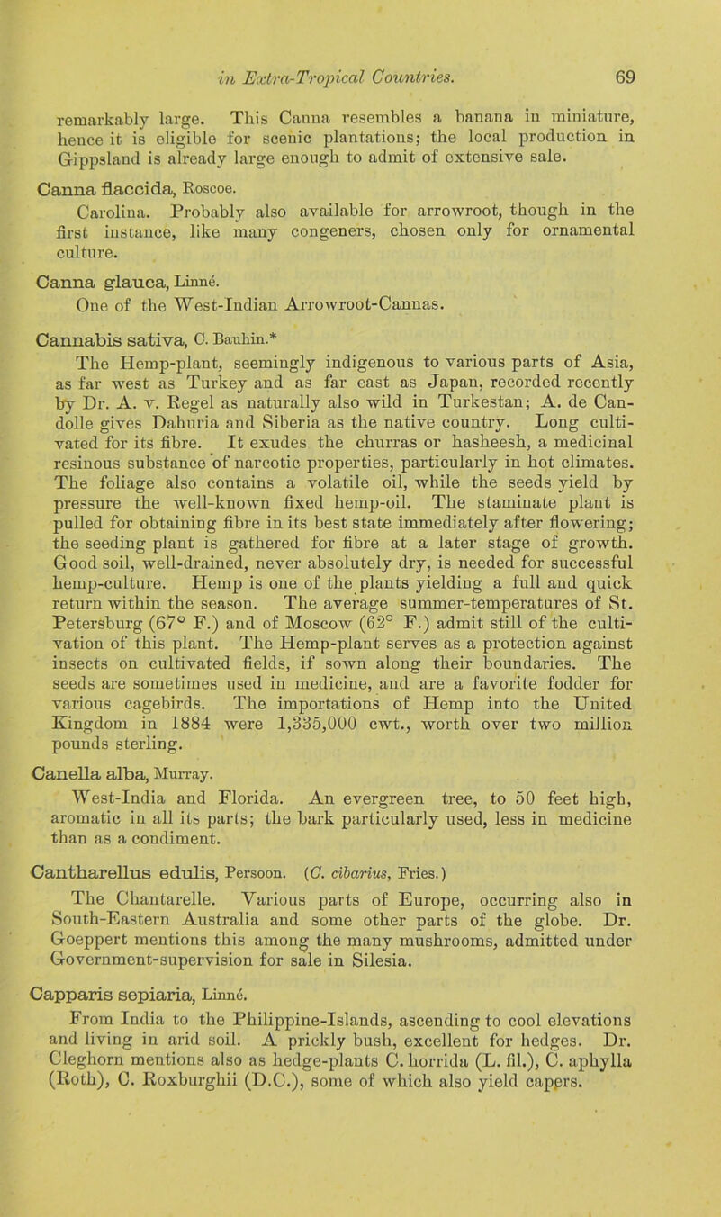 remarkably large. This Canna resembles a banana in miniature, hence it is eligible for scenic plantations; the local production in Grippsland is already large enough to admit of extensive sale. Canna flaccida, Roscoe. Carolina. Probably also available for arrowroot, though in the first instance, like many congeners, chosen only for ornamental culture. Canna glauca, Linn4. One of the West-Indian Arrowroot-Cannas. Cannabis sativa, C. Bauhin.* The Hemp-plant, seemingly indigenous to various parts of Asia, as far -west as Turkey and as far east as Japan, recorded recently by Dr. A. v. Hegel as naturally also wild in Turkestan; A. de Can- dolle gives Dahuria and Siberia as the native country. Long culti- vated for its fibre. It exudes the churras or hasheesh, a medicinal resinous substance of narcotic properties, particularly in hot climates. The foliage also contains a volatile oil, while the seeds yield by pressure the well-known fixed hemp-oil. The staminate plant is pulled for obtaining fibre in its best state immediately after flowering; the seeding plant is gathered for fibre at a later stage of growth. Good soil, well-drained, never absolutely dry, is needed for successful hemp-culture. Hemp is one of the plants yielding a full and quick return within the season. The average summer-temperatures of St. Petersburg (67° F.) and of Moscow (62° F.) admit still of the culti- vation of this plant. The Hemp-plant serves as a protection against insects on cultivated fields, if sown along their boundaries. The seeds are sometimes used in medicine, and are a favorite fodder for various cagebirds. The importations of Hemp into the United Kingdom in 1884 were 1,335,000 cwt., worth over two million pounds sterling. Canella alba, Murray. West-India and Florida. An evergreen tree, to 50 feet high, aromatic in all its parts; the bark particularly used, less in medicine than as a condiment. Cantharellus edulis, Persoon. (C. cibarius, Fries.) The Chantarelle. Various parts of Europe, occurring also in South-Eastern Australia and some other parts of the globe. Dr. Goeppert mentions this among the many mushrooms, admitted under Government-supervision for sale in Silesia. Capparis sepiaria, Linn4. From India to the Philippine-Islands, ascending to cool elevations and living in arid soil. A prickly bush, excellent for hedges. Dr. Cleghorn mentions also as hedge-plants C. horrida (L. fil.), C. aphylla (lioth), G. Roxburghii (D.C.), some of which also yield capprs.