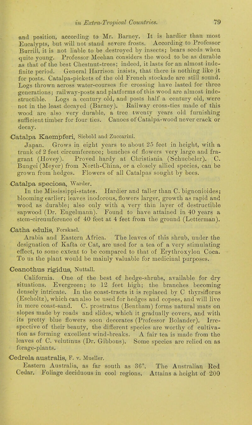 find position, according to Mr. Barney. It is hardier than most Encalypts, but will not stand severe frosts. According to Professor Burrill, it is not liable to be destroyed by insects; bears seeds when -quite young. Professor Meehan considers the wood to be as durable as that of the best Chestnut-trees; indeed, it lasts for an almost inde- finite period. General Harrison insists, that there is nothing like it for posts. Catalpa-pickets of the old French stockade are still sound. Logs thrown across water-courses for crossing have lasted for three generations; railway-posts and platforms of this wood are almost inde- structible. Logs a century old, and posts half a century old, were not in the least decayed (Barney). Bailway cross-ties made of this wood are also very durable, a tree twenty years old furnishing sufficient timber for four ties. Canoes of Catalpa-wood never crack or decay. Catalpa Kaempferi, Siebold and Zuccarini. Japan. Grows in eight years to about 25 feet in height, with a trunk of 2 feet circumference; bunches of flowers very large and fra- grant (Hovey). Proved hai'dy at Christiania (Schuebeler). C. Bungei (Meyer) from North-China, or a closely allied species, can be grown from hedges. Flowers of all Catalpas sought by bees. Catalpa speciosa, Warder. In the Mississippi-states. Hardier and taller than C. bignonioides; blooming earlier; leaves inodorous, flowers larger, growth as rapid and wood as durable; also only with a very thin layer of destructible sapwood (Dr. Eugelmann). Found to have attained in 40 years a stem-circumference of 40 feet at 4 feet from the ground (Letterman). Catha edulis, Forskael. Arabia and Eastern Africa. The leaves of this shrub, under the designation of Kafta or Cat, are used for a tea of a very stimulating effect, to some extent to be compared to that of Erythroxylon Coca. To us the plant would be mainly valuable for medicinal purposes. Ceanothus rigidus, Nuttall. California. One of the best of hedge-shrubs, available for dry situations. Evergreen; to 12 feet high; the branches becoming densely intricate. In the coast-tracts it is replaced by C thyrsiflorus (Escholtz), which can also be used for hedges and copses, and will live in mere coast-sand. C. prostratus (Bentham) forms natural mats on slopes made by roads and slides, which it gradually covers, and with its pretty blue flowers soon decorates (Professor Bolander). Irre- spective of their beauty, the different species are worthy of cultiva- tion as forming excellent wind-breaks. A fair tea is made from the leaves of C. velutinus (Dr. Gibbons). Some species are relied on as forage-plants. Cedrela australis, F. v. Mueller. Eastern Australia, as far south as 3G°. The Australian Bed Cedar. Foliage deciduous in cool regions. Attains a height of 200