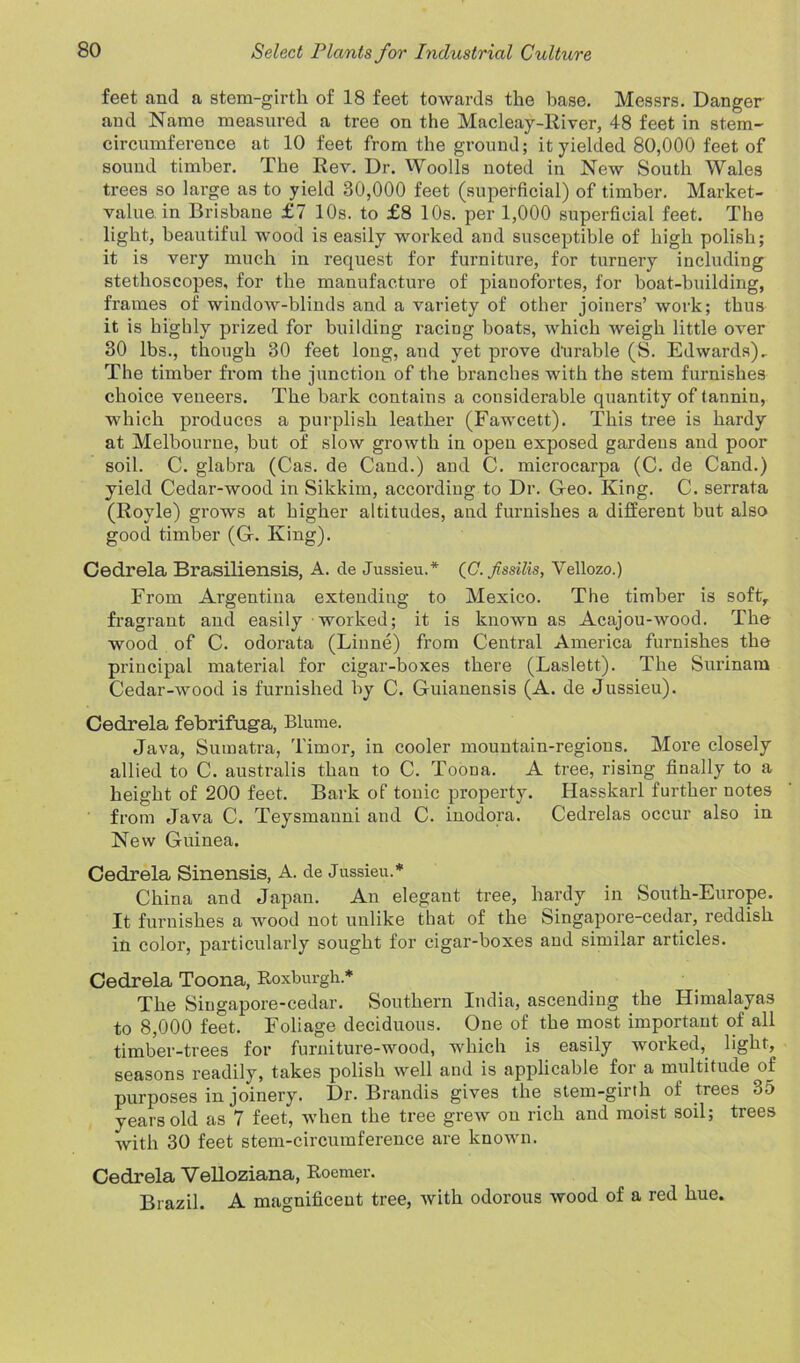 feet and a stem-girtli of 18 feet towards the base. Messrs. Danger and Name measured a tree on the Macleay-River, 48 feet in stem- circumference at 10 feet from the ground; it yielded 80,000 feet of sound timber. The Rev. Dr. Woolls noted in New South Wales trees so large as to yield 30,000 feet (superficial) of timber. Market- value, in Brisbane £7 10s. to £8 10s. per 1,000 superficial feet. The light, beautiful wood is easily worked and susceptible of high polish; it is very much in request for furniture, for turnery including stethoscopes, for the manufacture of piauofortes, for boat-building, frames of window-blinds and a variety of other joiners’ work; thus it is highly prized for building racing boats, which weigh little over 30 lbs., though 30 feet long, and yet prove durable (S. Edwards), The timber from the junction of the branches with the stem furnishes choice veneers. The bark contains a considerable quantity of tannin, which produces a purplish leather (Fawcett). This tree is hardy at Melbourne, but of slow growth in open exposed gardens and poor soil. C. glabra (Cas. de Cand.) and C. microcarpa (C. de Cand.) yield Cedar-wood in Sikkim, according to Dr. Geo. King. C. serrata (Royle) grows at higher altitudes, and furnishes a different but also good timber (G. King). Cedrela Brasiliensis, A. de Jussieu.* (C.fssilis, Vellozo.) From Argentina extending to Mexico. The timber is soft, fragrant and easily worked; it is known as Acajou-wood. The wood of C. odorata (Linne) from Central America furnishes the principal material for cigar-boxes there (Laslett). The Surinam Cedar-wood is furnished by C. Guianensis (A. de Jussieu). Cedrela febrifuga, Blume. Java, Sumatra, Timor, in cooler mountain-regions. More closely allied to C. australis than to C. Toona. A tree, rising finally to a height of 200 feet. Bark of tonic property. Hasskarl further notes from Java C. Teysmanni and C. inodora. Cedrelas occur also in New Guinea. Cedrela Sinensis, A. de Jussieu.* China and Japan. An elegant tree, hardy in South-Europe. It furnishes a wood not unlike that of the Singapore-cedar, reddish in color, particularly sought for cigar-boxes and similar articles. Cedrela Toona, Roxburgh.* The Singapore-cedar. Southern India, ascending the Himalayas to 8,000 feet. Foliage deciduous. One of the most important of all timber-trees for furniture-wood, which is easily worked, light, seasons readily, takes polish well and is applicable for a multitude of purposes in joinery. Dr. Brandis gives the stem-girth of trees 35 years old as 7 feet, when the tree grew on rich and moist soil; trees with 30 feet stem-circumference are known. Cedrela Velloziana, Roemer. Brazil. A magnificent tree, with odorous wood of a red hue.