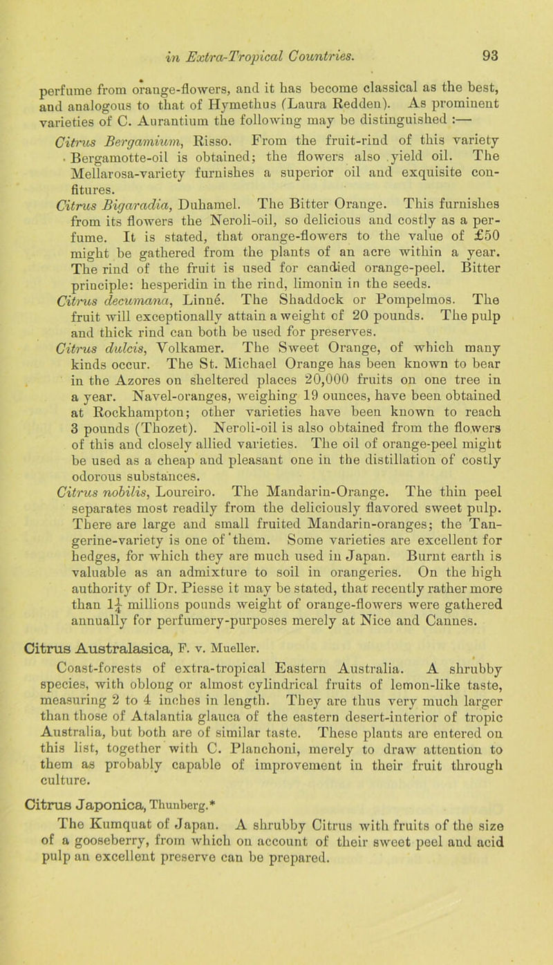 perfume from orange-flowers, and it lias become classical as the best, and analogous to that of Hymethus (Laura Redden). As prominent varieties of C. Aurantium the following may be distinguished :— Citrus Bergamium, Risso. From the fruit-rind of this variety • Bergamotte-oil is obtained; the flowers also yield oil. The Mellarosa-variety furnishes a superior oil and exquisite con- fitures. Citrus Bigaradia, Duhamel. The Bitter Orange. This furnishes from its flowers the Neroli-oil, so delicious and costly as a per- fume. It is stated, that orange-flowers to the value of £50 might be gathered from the plants of an acre within a year. The rind of the fruit is used for candied orange-peel. Bitter principle: hesperidin in the rind, limonin in the seeds. Citrus decumana, Linne. The Shaddock or Pompelmos. The fruit will exceptionally attain a weight of 20 pounds. The pulp and thick rind can both be used for preserves. Citrus dulcis, Volkamer. The Sweet Orange, of which many kinds occur. The St. Michael Orange has been known to bear in the Azores on sheltered places 20,000 fruits on one tree in a year. Navel-oranges, weighing 19 ounces, have been obtained at Rockhampton; other varieties have been known to reach 3 pounds (Thozet). Neroli-oil is also obtained from the flowers of this and closely allied varieties. The oil of orange-peel might be used as a cheap and pleasant one in the distillation of costly odorous substances. Citrus nobilis, Loureiro. The Mandarin-Orange. The thin peel separates most readily from the deliciously flavored sweet pulp. There are large and small fruited Mandarin-oranges; the Tan- gerine-variety is one of‘them. Some varieties are excellent for hedges, for which they are much used in Japan. Burnt earth is valuable as an admixture to soil in orangeries. On the high authority of Dr. Piesse it may be stated, that recently rather more than millions pounds weight of orange-flowers were gathered annually for perfumery-purposes merely at Nice and Cannes. Citrus Australasica, F. v. Mueller. Coast-forests of extra-tropical Eastern Australia. A shrubby species, with oblong or almost cylindrical fruits of lemon-like taste, measuring 2 to 4 inches in length. They are thus very much larger than those of Atalantia glauca of the eastern desert-interior of tropic Australia, but both are of similar taste. These plants are entered on this list, together with C. Planchoni, merely to draw attention to them as probably capable of improvement in their fruit through culture. Citrus Japonica, Thunberg.* The Kumquat of Japan. A shrubby Citrus with fruits of the size of a gooseberry, from which on account of their sweet peel and acid pulp an excellent preserve can be prepared.