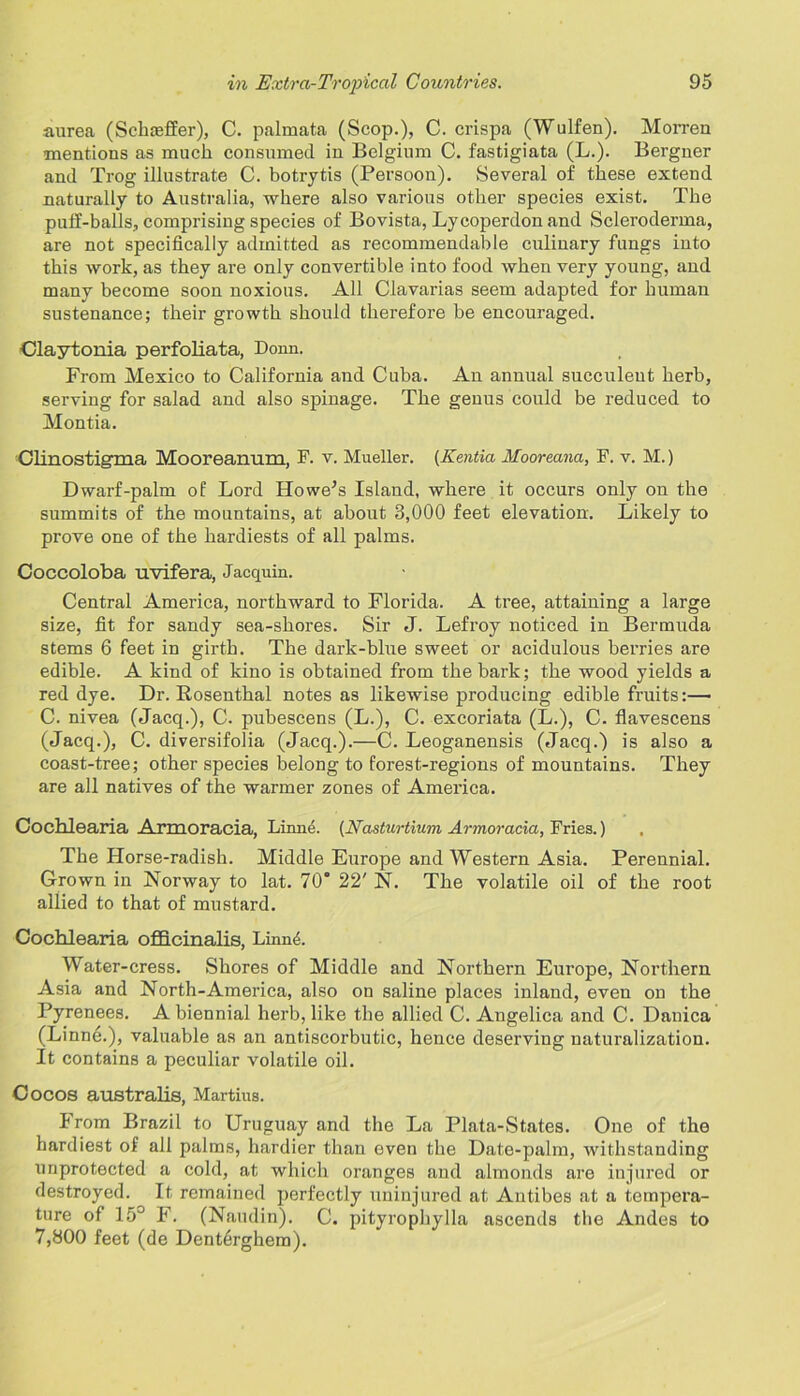 aurea (Schmffer), C. palmata (Scop.), C. crispa (Wulfen). Morren mentions as much consumed in Belgium C. fastigiata (L.). Bergner and Trog illustrate C. botrytis (Persoon). Several of these extend naturally to Australia, where also various other species exist. The puff-balls, comprising species of Bovista, Lycoperdon and Scleroderma, are not specifically admitted as recommendable culinary fungs into this work, as they are only convertible into food when very young, and many become soon noxious. All Clavarias seem adapted for human sustenance; their growth should therefore be encouraged. Claytonia perfoliata, Donn. From Mexico to California and Cuba. An annual succulent herb, serving for salad and also spinage. The genus could be reduced to Montia. Clinostig'ma Mooreanum, F. v. Mueller. (Kentia Mooreana, F. v. M.) Dwarf-palm of Lord Howe^s Island, where it occurs only on the summits of the mountains, at about 3,000 feet elevation. Likely to prove one of the hardiests of all palms. Coccoloba uvifera, Jacquin. Central America, northward to Florida. A tree, attaining a large size, fit for sandy sea-shores. Sir J. Lefroy noticed in Bermuda stems 6 feet in girth. The dark-blue sweet or acidulous berries are edible. A kind of kino is obtained from the bark; the wood yields a red dye. Dr. Rosenthal notes as likewise producing edible fruits:— C. nivea (Jacq.), C. pubescens (L.), C. excoriata (L.), C. flavescens (Jacq.), C. diversifolia (Jacq.).—C. Leoganensis (Jacq.) is also a coast-tree; other species belong to forest-regions of mountains. They are all natives of the warmer zones of America. Cochlearia Armoracia, Linn4. [Nasturtium Armoracia, Fries.) The Horse-radish. Middle Europe and Western Asia. Perennial. Grown in Norway to lat. 70* 22' N. The volatile oil of the root allied to that of mustard. Cochlearia officinalis, Linn4. Water-cress. Shores of Middle and Northern Europe, Northern Asia and North-America, also on saline places inland, even on the Pyrenees. A biennial herb, like the allied C. Angelica and C. Danica (Linne.), valuable as an antiscorbutic, hence deserving naturalization. It contains a peculiar volatile oil. Cocos australis, Martius. From Brazil to Uruguay and the La Plata-States. One of the hardiest of all palms, hardier than even the Date-palm, withstanding unprotected a cold, at which oranges and almonds are injured or destroyed. It remained perfectly uninjured at Antibes at a tempera- ture of 15° F. (Naudin). C. pityrophylla ascends the Andes to 7,800 feet (de Dent6rghem).