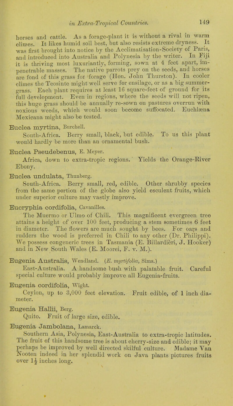 horses and cattle. As a forage-plant it is without a rival in warm climes. It likes humid soil best, but also resists extreme dryness. It was first brought into notice by the Acclimatisation-Society of Paris, and introduced into Australia and Polynesia by the writer. In Fiji it is thriving most luxuriantly, forming, sown at 4 feet apart, im- penetrable masses. The native parrots prey on the seeds, and horses are fond of this grass for forage (Hon. John Thurston). In cooler climes the Teosinte might well serve for ensilage, or as a big summer- grass. Each plant requires at least 16 square-feet of ground for its full development. Even in regions, where the seeds will not ripen, this huge grass should be annually re-sown on pastures overrun with noxious weeds, which would soon become suffocated. Euchlasna Mexicana might also be tested. Euclea myrtina, Burchell. South-Africa. Berry small, black, but edible. To us this plant would hardly be more than an ornamental bush. Euclea Pseudebenus, E. Meyer. Africa, down to extra-tropic regions. Yields the Orange-River Ebony. Euclea undulata, Tlnmberg. South-Africa. Berry small, red, edible. Other shrubby species from the same portion of the globe also yield esculent fruits, which under superior culture may vastly improve. Eucryphia cordifolia, Cavanilles. The Muermo or Ulmo of Chili. This magnificent evergreen tree attains a height of over 100 feet, producing a stem sometimes 6 feet in diameter. The flowers are much sought by bees. For oars and rudders the wood is preferred in Chili to any other (Dr. Philippi). We possess congeneric trees in Tasmania (E. Billardieri, J. Hooker) and in New South Wales (E. Moorei, F. v. M.). Eugenia Australis, Wendland. {E. myrtifolia, Sims.) East-Australia. A handsome bush with palatable fruit. Careful special culture would probably improve all Eugenia-fruits. Eugenia cordifolia, Wight. Ceylon, up to 3,000 feet elevation. Fruit edible, of 1 inch dia- meter. Eugenia Hallii, Berg. Quito. Fruit of large size, edible. Eugenia Jambolana, Lamarck. Southern Asia, Polynesia, East-Australia to extra-tropic latitudes. The fruit of this handsome tree is about cherry-size and edible; it may perhaps be improved by well directed skilful culture. Madame Van Nooten indeed in her splendid work on Java plants pictures fruits over 1-4 inches long.
