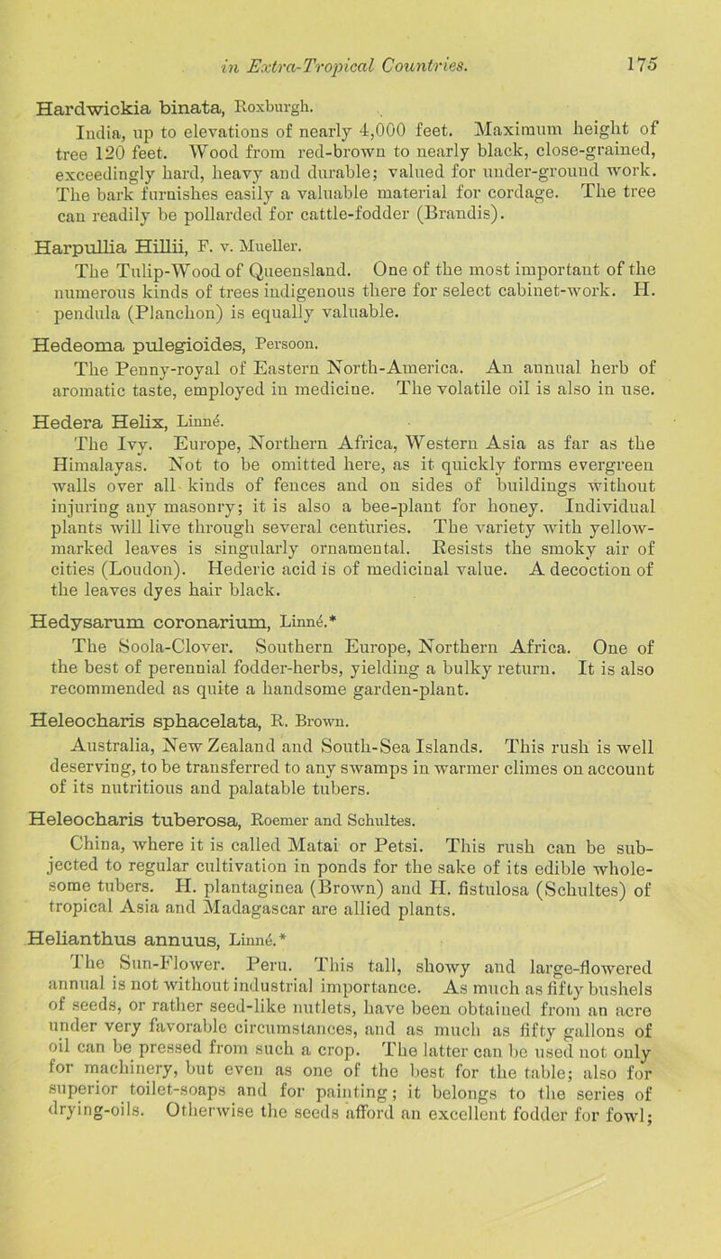 Hardwickia binata, Roxburgh. India, up to elevations of nearly 4,000 feet. Maximum height of tree 120 feet. Wood from red-brown to nearly black, close-grained, exceedingly hard, heavy and durable; valued for under-ground work. The bark furnishes easily a valuable material for cordage. The tree can readily be pollarded for cattle-fodder (Brandis). Harpullia Hillii, F. v. Mueller. The Tulip-Wood of Queensland. One of the most important of the numerous kinds of trees indigenous there for select cabinet-work. H. pendula (Planchon) is equally valuable. Hedeoma pulegioid.es, Persoon. The Penny-royal of Eastern North-America. An annual herb of aromatic taste, employed in medicine. The volatile oil is also in use. Hedera Helix, Linntb The Ivy. Europe, Northern Africa, Western Asia as far as the Himalayas. Not to be omitted here, as it quickly forms evergreen walls over all kinds of fences and on sides of buildings without injuring any masonry; it is also a bee-plant for honey. Individual plants will live through several centuries. The variety with yellow- marked leaves is singularly ornamental. Resists the smoky air of cities (Loudon). Hederic acid is of medicinal value. A decoction of the leaves dyes hair black. Hedysarum coronarium, Linntb* The Soola-Clover. Southern Europe, Northern Africa. One of the best of perennial fodder-herbs, yielding a bulky return. It is also recommended as quite a handsome garden-plant. Heleocharis sphacelata, R. Brown. Australia, New Zealand and South-Sea Islands. This rush is well deserving, to be transferred to any swamps in warmer climes on account of its nutritious and palatable tubers. Heleocharis tuberosa, Roemer and Schultes. China, where it is called Matai or Petsi. This rush can be sub- jected to regular cultivation in ponds for the sake of its edible whole- some tubers. H. plantaginea (Brown) and PI. fistulosa (Schultes) of tropical Asia and Madagascar are allied plants. Helianthus annuus, Linne.* I he Sun-Flower. Peru. This tall, showy and large-flowered annual is not without industrial importance. As much as fifty bushels of seeds, or rather seed-like nutlets, have been obtained from an acre under very favorable circumstances, and as much as fifty gallons of oil can be pressed from such a crop. The latter can Be used not only for machinery, but even as one of the best for the table; also for superior toilet-soaps and for painting; it belongs to the series of drying-oils. Otherwise the seeds afford an excellent fodder for fowl;
