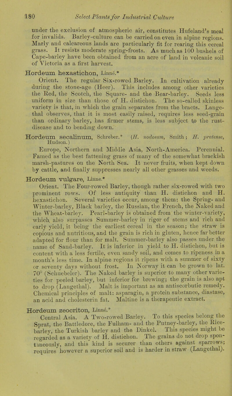 under the exclusion of atmospheric air, constitutes Hufeland’s meal for invalids. Barley-culture can be carried on even in alpine regions. Marly and calcareous lands are particularly fit for rearing this cereal grass. It resists moderate spring-frosts. As much as ICO bushels of Cape-barley have been obtained from an acre of land in volcanic soil of Victoria as a first harvest. Hordeum hexastichon, Linnu.* Orient. The regular Six-rowed Barley. In cultivation already during the stone-age (Heer). This includes among other varieties the Red, the Scotch, the Square- and the Bear-barley. Seeds less uniform in size than those of H. distichon. The so-called skinless variety is that, in which the grain separates from the bracts. Lange- tlial observes, that it is most easily raised, requires less seed-grain than ordinary barley, has firmer stems, is less subject to the rust- disease and to bending down. Hordeum secalinum, Schreber.* (//. nodosum, Smith; H. prateme, Hudson.) Europe, Northern and Middle Asia, North-America. Perennial. Famed as the best fattening grass of many of the somewhat brackish marsh-pastures on the North Sea. It never fruits, when kept down by cattle, and finally suppresses nearly all other grasses and weeds. Hordeum vulgare, Linne.* Orient. The Four-rowed Barley, though rather six-rowed with two prominent rows. Of less antiquity than H. distichon and H. hexastichon. Several varieties occur, among them: the Spring- and Winter-barley, Black barley, the Russian, the French, the Naked and the Wheat-barley. Pearl-barley is obtained from the winter-variety, which also surpasses Summer-barley in rigor of stems and rich and early yield, it being the earliest cereal in the season; the straw is copious and nutritious, and the grain is rich in gluten, hence far better adapted for flour than for malt. Summer-barley also passes under the name of Sand-barley. It is inferior in yield to H. distichon, but is content with a less fertile, even sandy soil, and comes to ripeness in a month’s less time. In alpine regions it ripens Avith a summer of sixty or seventy days without frost. In Norway it can be groAvn to lat. 70° (Scliuebeler). The Naked barley is superior to many other varie- ties for peeled barley, but inferior for brewing; the grain is also apt to drop (Langethal). Malt is important as an antiscorbutic remedy. Chemical principles of malt: asparagin, a protein substance, diastase, an acid and cliolesterin fat. Maltine is a therapeutic extract. Hordeum zeocriton, Linne.* Central Asia. A Two-rowed Barley. To this species belong the Sprat, the Battledore, the Fulham- and the Putney-barley, the Rice- barley, the Turkish barley and the Dinkel. This species might be regarded as a variety of H. distichon. The grains do not drop spon- taneously, and this kind is securer than others against sparroAVs; requires lioAvever a superior soil and is harder in straAv (Langethal).