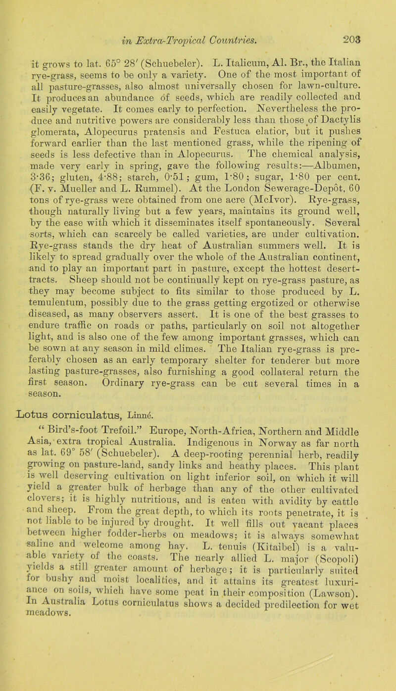 it grows to lat. 65° 28' (Schuebeler). L. Italicum, Al. Br., the Italian rye-grass, seems to be only a variety. One of the most important of all pasture-grasses, also almost universally chosen for lawn-culture. It produces an abundance of seeds, which are readily collected and easily vegetate. It comes early to perfection. Nevertheless the pro- duce and nutritive powers are considerably less than those of Dactylis glomerata, Alopecurus pratensis and Festuca elatior, but it pushes forward earlier than the last mentioned grass, while the ripening of seeds is less defective than in Alopecurus. The chemical analysis, made very early in spring, gave the following results:—Albumen, 3-36; gluten, 4-88; starch, 051; gum, T80; sugar, 1-80 per cent. (F. v. Mueller and L. Rummel). At the London Sewerage-Depot. 60 tons of rye-grass were obtained from one acre (Mclvor). Rye-grass, though naturally living but a few years, maintains its ground well, by the ease with which it disseminates itself spontaneously. Several sorts, which can scarcely be called varieties, are under cultivation. Rye-grass stands the dry heat of Australian summers well. It is likely to spread gradually over the whole of the Australian continent, and to play an important part in pasture, except the hottest desert- tracts. Sheep should not be continually kept on rye-grass pasture, as they may become subject to fits similar to those produced by L. temulentum, possibly due to the grass getting ergotized or otherwise diseased, as many observers assert. It is one of the best grasses to endure traffic on roads or paths, particularly on soil not altogether light, and is also one of the few among important grasses, which can be sown at any season in mild climes. The Italian rye-grass is pre- ferably chosen as an early temporary shelter for tenderer but more lasting pasture-grasses, also furnishing a good collateral return the first season. Ordinary rye-grass can be cut several times in a season. Lotus corniculatus, Linne. Bird’s-foot Trefoil.” Europe, North-Africa, Northern and Middle Asia, extra tropical Australia. Indigenous in Norway as far north as lat. 69° 58' (Schuebeler). A deep-rooting perennial herb, readily growing on pasture-land, sandy links and heathy places. This plant is well deserving cultivation on light inferior soil, on which it will yield a greater bulk of herbage than any of the other cultivated clovers; it is highly nutritious, and is eateQ with avidity by cattle and sheep. From the great depth, to which its roots penetrate, it is not liable to be injured by drought. It well fills out vacant places between higher fodder-herbs on meadows; it is always somewhat saline and welcome among hay. L. tenuis (Kitaibel) is a valu- able variety ol the coasts. The nearly allied L. major (Scopoli) yields a still greater amount of herbage; it is particularly suited for bushy and moist localities, and it attains its greatest luxuri- ance on soils, which have some peat in their composition (Lawson). In Australia Lotus corniculatus shows a decided predilection for wet meadows.
