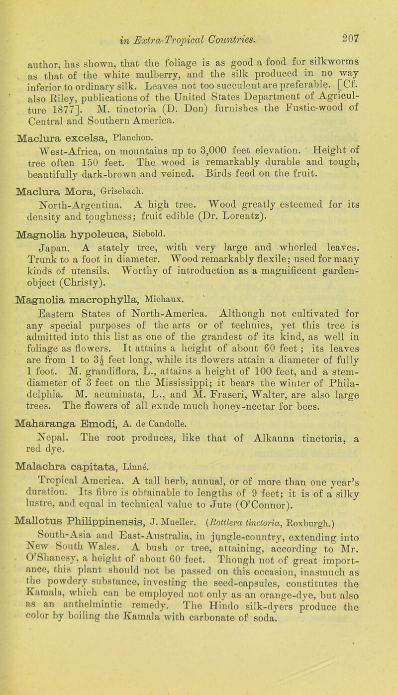 author, has shown, that the foliage is as good a food for silkworms as that of the white mulberry, and the silk produced in no wray inferior to ordinary silk. Leaves not too succulent are preferable. [Cf. also Riley, publications of the United States Department of Agricul- ture 1877]. M. tinctoria (D. Don) furnishes the Fustic-wood of Central and Southern America. Maclura excelsa, Planchon. West-Africa, on mountains up to 3,000 feet elevation. Height of tree often 150 feet. The wood is remarkably durable and tough, beautifully dark-brown and veined. Birds feed on the fruit. Maclura Mora, Grisebach. North-Argentina. A high tree. Wood greatly esteemed for its density and toughness; fruit edible (Dr. Lorentz). Magnolia hypoleuca, Siebold. Japan. A stately tree, with very large and whorled leaves. Trunk to a foot in diameter. Wood remarkably flexile; used for many kinds of utensils. Worthy of introduction as a magnificent garden- object (Christy). Magnolia macrophylla, Michaux. Eastern States of North-America. Although not cultivated for any special purposes of the arts or of technics, yet this tree is admitted into this list as one of the grandest of its kind, as well in foliage as flowers. It attains a height of about 60 feet; its leaves are from 1 to 3| feet long, while its flowers attain a diameter of fully 1 foot. M. grandiflora, L., attains a height of 100 feet, and a stem- diameter of 3 feet on the Mississippi; it bears the winter of Phila- delphia. M. acuminata, L., and M. Fraseri, Walter, are also large trees. The flowers of all exude much honev-nectar for bees. Maharanga Emodi, A. de Candolle. Nepal. The root produces, like that of Alkanna tinctoria, a red dye. Malachra capitata, Linne. Tropical America. A tall herb, annual, or of more than one year’s duration. Its fibre is obtainable to lengths of 9 feet; it is of a silky lustre, and equal in technical value to Jute (O’Connor). Mallotus Philippinensis, J. Mueller. (Rottlera tinctoria, Roxburgh.) South-Asia and East-Australia, in jqngle-country, extending into New South Wales. A bush or tree, attaining, according to Mr. O Shanesy, a height of about 60 feet. Though not of great import- ance, this plant should not be passed on this occasion, inasmuch as the powdery substance, investing the seed-capsules, constitutes the Kamala, which can be employed not only as an orange-dye, but also as an anthelmintic remedy. The Ilindo silk-dyers produce the color by boiling the Kamala with carbonate of soda.