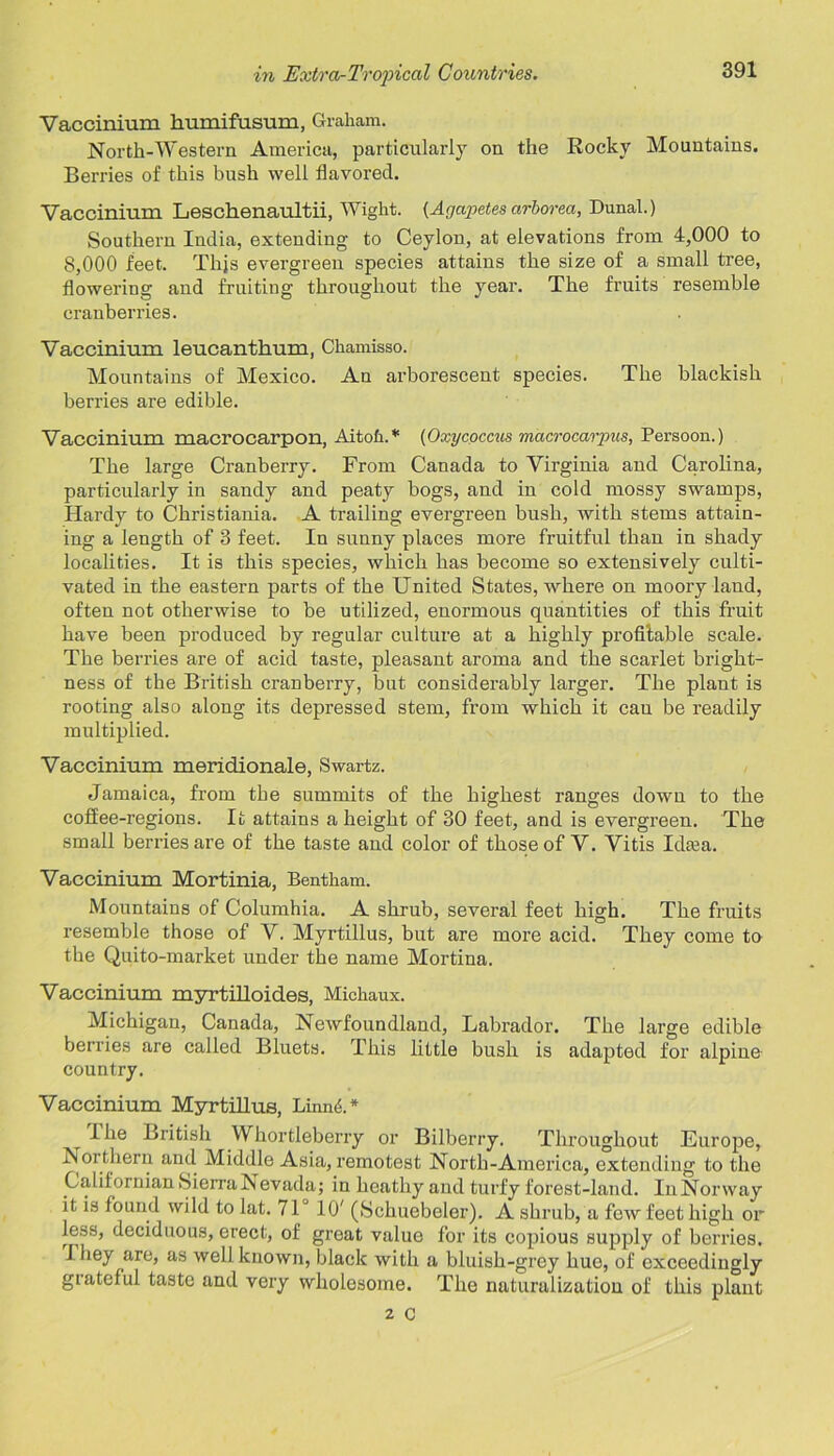 Vaccinium humifusum, Graham. North-Western America, particularly on the Rocky Mountains. Berries of this bush well flavored. Vaccinium Leschenaultii, Wight. {Agapetes arborea, Dunal.) Southern India, extending to Ceylon, at elevations from 4,000 to 8,000 feet. This evergreen species attains the size of a small tree, flowering and fruiting throughout the year. The fruits resemble cranberries. Vaccinium leucanthum, Chamisso. Mountains of Mexico. An arborescent species. The blackish berries are edible. Vaccinium macrocarpon, Aitoh.* (Oxycpccus macrocarpus, Persoon.) The large Cranberry. From Canada to Virginia and Carolina, particularly in sandy and peaty bogs, and in cold mossy swamps, Hardy to Christiania. A trailing evergreen bush, with stems attain- ing a length of 3 feet. In sunny places more fruitful than in shady localities. It is this species, which has become so extensively culti- vated in the eastern parts of the United States, where on moory land, often not otherwise to be utilized, enormous quantities of this fruit have been produced by regular culture at a highly profitable scale. The berries are of acid taste, pleasant aroma and the scarlet bright- ness of the British cranberry, but considerably larger. The plant is rooting also along its depressed stem, from which it cau be readily multiplied. Vaccinium meridionale, Swartz. Jamaica, from the summits of the highest ranges down to the coffee-regions. It attains a height of 30 feet, and is evergreen. The small berries are of the taste and color of those of V. Vitis Idaaa. Vaccinium Mortinia, Bentham. Mountains of Columhia. A shrub, several feet high. The fruits resemble those of V. Myrtillus, but are more acid. They come to the Quito-market under the name Mortina. Vaccinium myrtilloides, Michaux. Michigan, Canada, Newfoundland, Labrador. The large edible berries are called Bluets. This little bush is adapted for alpine country. Vaccinium Myrtillus, LinnC* I he British Whortleberry or Bilberry. Throughout Europe, Northern and Middle Asia, remotest North-America, extending to the Californian Sierra Nevada; in heathy and turfy forest-land. In Norway it is found wild to lat. 71 10' (Schuebeler). A shrub, a few feet high or less, deciduous, erect, of great value for its copious supply of berries. 1 liey are, as well known, black with a bluish-grey hue, of exceedingly grateful taste and very wholesome. The naturalization of this plant