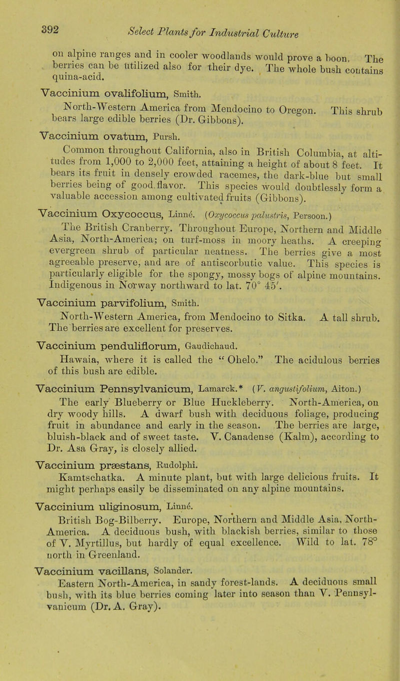on alpine ranges and in cooler woodlands would prove a boon, The benies can be utilized also for their dye. The whole bush contains quma-acid. Vaccinium ovalifolium, Smith. North-Western America from Mendocino to Oregon. This shrub bears large edible berries (Dr. Gibbons). Vaccinium ovatum, Pursh. Common throughout California, also in British Columbia, at alti- tudes from 1,000 to 2,000 feet, attaining a height of about 8 feet. It bears its fruit in densely crowded racemes, the dark-blue but small berries being of good .flavor. This species would doubtlessly form a valuable accession among cultivated fruits (Gibbons). Vaccinium Oxycoccus, Linne. (Oxycoccus pdlustris, Persoon.) The British Cranberry. Throughout Europe, Northern and Middle Asia, North-America; on turf-moss in moory heaths. A creeping evergreen shrub of particular neatness. The berries give a most agreeable preserve, and are of antiscorbutic value. This species is particularly eligible for the spongy, mossy bogs of alpine mountains. Indigenous in Norway northward to lat. 70° 45'. . • Vaccinium parvifolium, Smith. North-Western America, from Mendocino to Sitka. A tall shrub. The berries are excellent for preserves. Vaccinium penduliflorum, Gaudichaud. Hawaia, where it is called the “ Ohelo.” The acidulous berries of this bush are edible. Vaccinium Pennsylvanicum, Lamarck.* (V. angustifolium, Aiton.) The early Blueberry or Blue Huckleberry. North-America, on dry woody hills. A dwarf bush with deciduous foliage, producing fruit in abimdance and early in the season. The berries are large, bluish-black and of sweet taste. V. Canadense (Kalm), according to Dr. Asa Gray, is closely allied. Vaccinium prsestans, Rudolphi. Kamtschatka. A minute plant, but with large delicious fruits. It might perhaps easily be disseminated on any alpine mountains. Vaccinium uliginosum, Linmh British Bog-Bilberry. Europe, Northern and Middle Asia, North- America. A deciduous bush, with blackish berries, similar to those of V. MyrtUlus, but hardly of equal excellence. Wild to lat. 78° north in Greenland. Vaccinium vacillans, Solander. Eastern North-America, in sandy forest-lands. A deciduous small bush, with its blue berries coming later into season than V. Penusyl- vanicum (Dr. A. Gray).