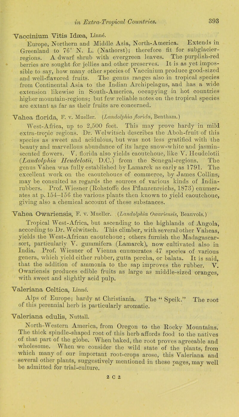 Vaccinium Vitis Idsea, Lmn4. Europe, Northern and Middle Asia, Nortk-America. Extends in Greenland to 76° N. L. (Nathorst); therefore fit for subglacier- regions. A dwarf shrub with evergreen leaves. The purplish-red berries are sought for jellies and other preserves. It is as yet impos- sible to say, how many other species of Vaccinium produce good-sized and well-flavored fruits. The genus ranges also in tropical species from Continental Asia to the Indian Archipelagus, and has a wide extension likewise in Soutk-America, occupying in hot countries higher mountain-regions; but few reliable notes on the tropical species are extant as far as their fruits are concerned. Vahea florida, F. v. Mueller. (Landolphia florida, Bentham.) West-Africa, up to 2,500 feet. This may prove hardy in mild extra-tropic regions. Dr. Welwitsck describes the Abok-fruit of this species as sweet and acidulous, but was not less gratified with the beauty and marvellous abundance of its large snow-white and jasmin- scented flowers. V. florida also yields caoutchouc, like V. Heudelotii (Landolphia Heudelotii, D.C.) from the Senegal-regions. The genus Vahea was fully established by Lamarck as early as 1791. The excellent work on the caoutchoucs of commerce, by James Collins, may be consulted as regards the sources of various kinds of India- rubbers. Prof. Wiesner (RokstofFe des Pflanzenreichs, 1873) enumer- ates at p. 154-156 the various plants then known to yield caoutchouc, giving also a chemical account of these substances. Vahea Owariensis, F. v. Mueller. [Landolphia Owariensis, Beauvois.) Tropical West-Africa, but ascending to the highlands of Angola, according to Dr. Welwitsck. This climber, with several other Vaheas, yields the West-African caoutchouc; others furnish the Madagascar- sort, particularly V. gummifera (Lamarck), now cultivated also iu India. Prof. Wiesner of Vienna enumerates 47 species of various genera, which yield either rubber, gutta p.ercka, or balata. It is said, that the addition of ammonia to the sap improves the rubber. V. Owariensis produces edible fruits as large as middle-sized oranges, with sweet and slightly acid pulp. Valeriana Celtica, Linne. Alps of Europe; hardy at Christiania. The “ Speik.” The root of this perennial herb is particularly aromatic. Valeriana edulis, Nuttall. North-Western America, from Oregon to the Rocky Mountains. The thick spindle-shaped root of this herb affords food to the natives of that part of the globe. When baked, the root proves agreeable and wholesome. When we consider the wild state of the plants, from which many of our important root-crops arose, this Valeriana and several other plants, suggestively mentioned in these pages, may well be admitted for trial-culture. 2 c 2