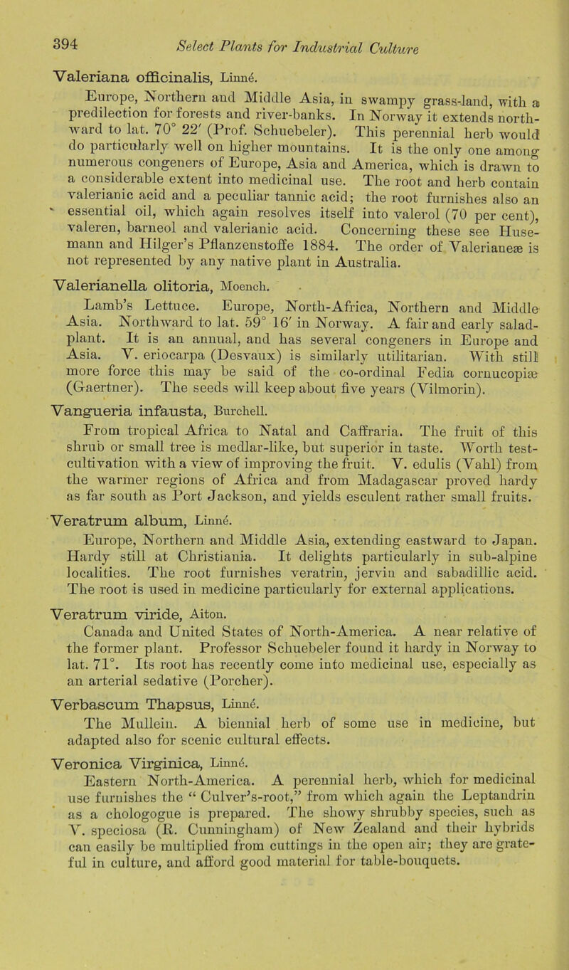 Valeriana officinalis, Linne. Europe, Northern and Middle Asia, in swampy grass-land, with a predilection for forests and river-banks. In Norway it extends north- ward to lat. 70 22 (Prof. Schuebeler). This perennial herb would do particularly well on higher mountains. It is the only one among numerous congeners of Europe, Asia and America, which is drawn to a considerable extent into medicinal use. The root and herb contain valerianic acid and a peculiar tannic acid; the root furnishes also an ' essential oil, which again resolves itself into valerol (70 per cent), valeren, barneol and valerianic acid. Concerning these see Huse- mann and Ililger’s Pflanzenstoffe 1884. The order of Valerianeaj is not represented by any native plant in Australia. Valerianella olitoria, Moench. Lamb’s Lettuce. Europe, North-Africa, Northern and Middle Asia. Northward to lat. 59° 16' in Norway. A fair and early salad- plant. It is an annual, and has several congeners in Europe and Asia. V. eriocarpa (Desvaux) is similarly utilitarian. With still! more force this may be said of the co-ordinal Fedia cornucopias (Gaertner). The seeds will keep about five years (Vilmorin). Vangueria infausta, Burchell. From tropical Africa to Natal and Caffraria. The fruit of this shrub or small tree is medlar-like, but superior in taste. Worth test- cultivation -with a view of improving the fruit. V. edulis (Vahl) from the warmer regions of Africa and from Madagascar proved hardy as far south as Port Jackson, and yields esculent rather small fruits. Veratrum album, Linne. Europe, Northern and Middle Asia, extending eastward to Japan. Hardy still at Christiania. It delights particularly in sub-alpine localities. The root furnishes veratrin, jervin and sabadillic acid. The root is used in medicine particularly for external applications. Veratrum viride, Aiton. Canada and United States of North-America. A near relative of the former plant. Professor Schuebeler found it hardy in Norway to lat. 71°. Its root has recently come into medicinal use, especially as an arterial sedative (Porcher). Verbascum Thapsus, Linne. The Mullein. A biennial herb of some use in medicine, but adapted also for scenic cultural effects. Veronica Virginica, Linne. Eastern North-America. A perennial herb, -which for medicinal use furnishes the “ Culver’s-root,” from which again the Leptandrin as a chologogue is prepared. The showy shrubby species, such as V. speciosa (JR. Cunningham) of New Zealand and their hybrids can easily be multiplied from cuttings in the open air; they are grate- ful in culture, and afford good material for table-bouquets.